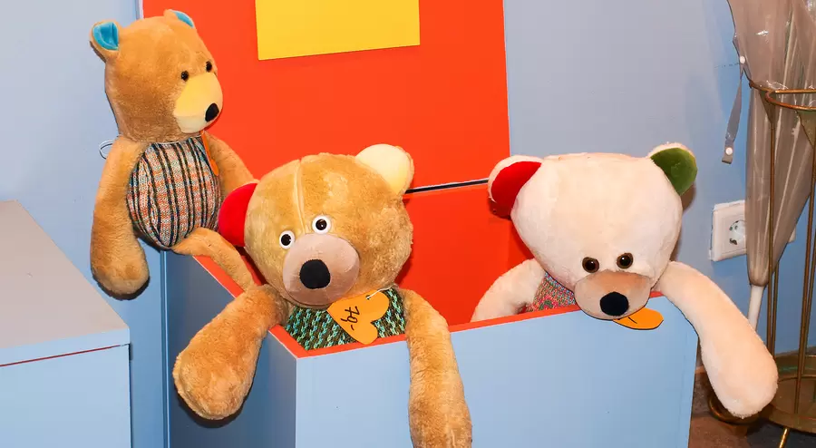 Teddy