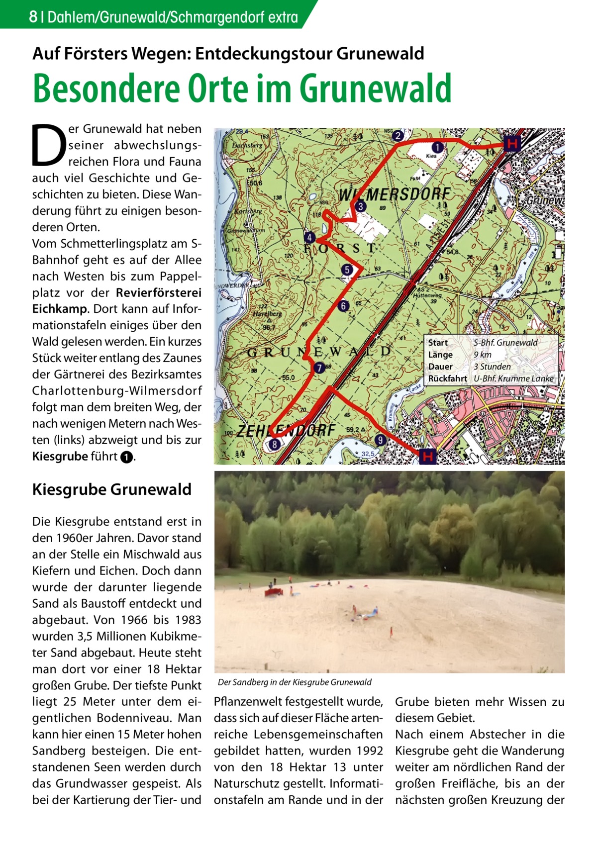 8 Dahlem/Grunewald/Schmargendorf extra  Auf Försters Wegen: Entdeckungstour Grunewald  Besondere Orte im Grunewald  D  er Grunewald hat neben seiner abwechslungsreichen Flora und Fauna auch viel Geschichte und Geschichten zu bieten. Diese Wanderung führt zu einigen besonderen Orten. Vom Schmetterlingsplatz am SBahnhof geht es auf der Allee nach Westen bis zum Pappelplatz vor der Revierförsterei Eichkamp. Dort kann auf Informationstafeln einiges über den Wald gelesen werden. Ein kurzes Stück weiter entlang des Zaunes der Gärtnerei des Bezirksamtes Charlottenburg-Wilmersdorf folgt man dem breiten Weg, der nach wenigen Metern nach Westen (links) abzweigt und bis zur Kiesgrube führt ➊.  Start Länge Dauer Rückfahrt  S-Bhf. Grunewald 9 km 3 Stunden U-Bhf. Krumme Lanke  Kiesgrube Grunewald Die Kiesgrube entstand erst in den 1960er Jahren. Davor stand an der Stelle ein Mischwald aus Kiefern und Eichen. Doch dann wurde der darunter liegende Sand als Baustoff entdeckt und abgebaut. Von 1966 bis 1983 wurden 3,5 Millionen Kubikmeter Sand abgebaut. Heute steht man dort vor einer 18 Hektar großen Grube. Der tiefste Punkt liegt 25 Meter unter dem eigentlichen Bodenniveau. Man kann hier einen 15 Meter hohen Sandberg besteigen. Die entstandenen Seen werden durch das Grundwasser gespeist. Als bei der Kartierung der Tier- und  Der Sandberg in der Kiesgrube Grunewald  Pflanzenwelt festgestellt wurde, dass sich auf dieser Fläche artenreiche Lebensgemeinschaften gebildet hatten, wurden 1992 von den 18 Hektar 13 unter Naturschutz gestellt. Informationstafeln am Rande und in der  Grube bieten mehr Wissen zu diesem Gebiet. Nach einem Abstecher in die Kiesgrube geht die Wanderung weiter am nördlichen Rand der großen Freifläche, bis an der nächsten großen Kreuzung der