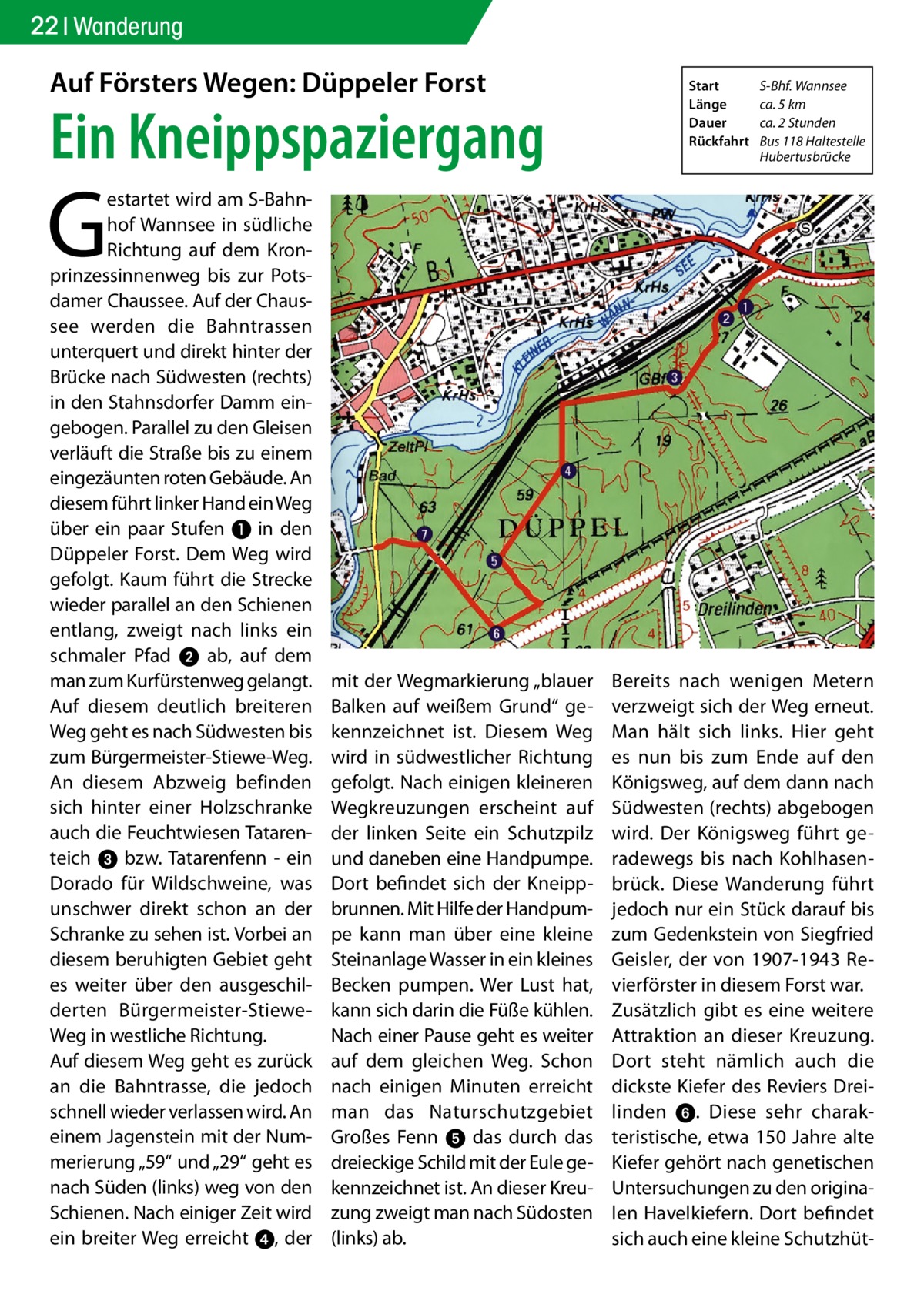 22 Wanderung  Auf Försters Wegen: Düppeler Forst  Ein Kneippspaziergang  Start	 S-Bhf. Wannsee Länge	 ca. 5 km Dauer	 ca. 2 Stunden Rückfahrt	 Bus 118 Haltestelle 	Hubertusbrücke  G  estartet wird am S-Bahnhof Wannsee in südliche Richtung auf dem Kronprinzessinnenweg bis zur Potsdamer Chaussee. Auf der Chaussee werden die Bahntrassen unterquert und direkt hinter der Brücke nach Südwesten (rechts) in den Stahnsdorfer Damm eingebogen. Parallel zu den Gleisen verläuft die Straße bis zu einem eingezäunten roten Gebäude. An diesem führt linker Hand ein Weg über ein paar Stufen ❶ in den Düppeler Forst. Dem Weg wird gefolgt. Kaum führt die Strecke wieder parallel an den Schienen entlang, zweigt nach links ein schmaler Pfad 2 ab, auf dem man zum Kurfürstenweg gelangt. Auf diesem deutlich breiteren Weg geht es nach Südwesten bis zum Bürgermeister-Stiewe-Weg. An diesem Abzweig befinden sich hinter einer Holzschranke auch die Feuchtwiesen Tatarenteich 3 bzw. Tatarenfenn - ein Dorado für Wildschweine, was unschwer direkt schon an der Schranke zu sehen ist. Vorbei an diesem beruhigten Gebiet geht es weiter über den ausgeschilderten Bürgermeister-StieweWeg in westliche Richtung. Auf diesem Weg geht es zurück an die Bahntrasse, die jedoch schnell wieder verlassen wird. An einem Jagenstein mit der Nummerierung „59“ und „29“ geht es nach Süden (links) weg von den Schienen. Nach einiger Zeit wird ein breiter Weg erreicht 4, der  mit der Wegmarkierung „blauer Balken auf weißem Grund“ gekennzeichnet ist. Diesem Weg wird in südwestlicher Richtung gefolgt. Nach einigen kleineren Wegkreuzungen erscheint auf der linken Seite ein Schutzpilz und daneben eine Handpumpe. Dort befindet sich der Kneippbrunnen. Mit Hilfe der Handpumpe kann man über eine kleine Steinanlage Wasser in ein kleines Becken pumpen. Wer Lust hat, kann sich darin die Füße kühlen. Nach einer Pause geht es weiter auf dem gleichen Weg. Schon nach einigen Minuten erreicht man das Naturschutzgebiet Großes Fenn 5 das durch das dreieckige Schild mit der Eule gekennzeichnet ist. An dieser Kreuzung zweigt man nach Südosten (links) ab.  Bereits nach wenigen Metern verzweigt sich der Weg erneut. Man hält sich links. Hier geht es nun bis zum Ende auf den Königsweg, auf dem dann nach Südwesten (rechts) abgebogen wird. Der Königsweg führt geradewegs bis nach Kohlhasenbrück. Diese Wanderung führt jedoch nur ein Stück darauf bis zum Gedenkstein von Siegfried Geisler, der von 1907-1943 Revierförster in diesem Forst war. Zusätzlich gibt es eine weitere Attraktion an dieser Kreuzung. Dort steht nämlich auch die dickste Kiefer des Reviers Dreilinden 6. Diese sehr charakteristische, etwa 150 Jahre alte Kiefer gehört nach genetischen Untersuchungen zu den originalen Havelkiefern. Dort befindet sich auch eine kleine Schutzhü