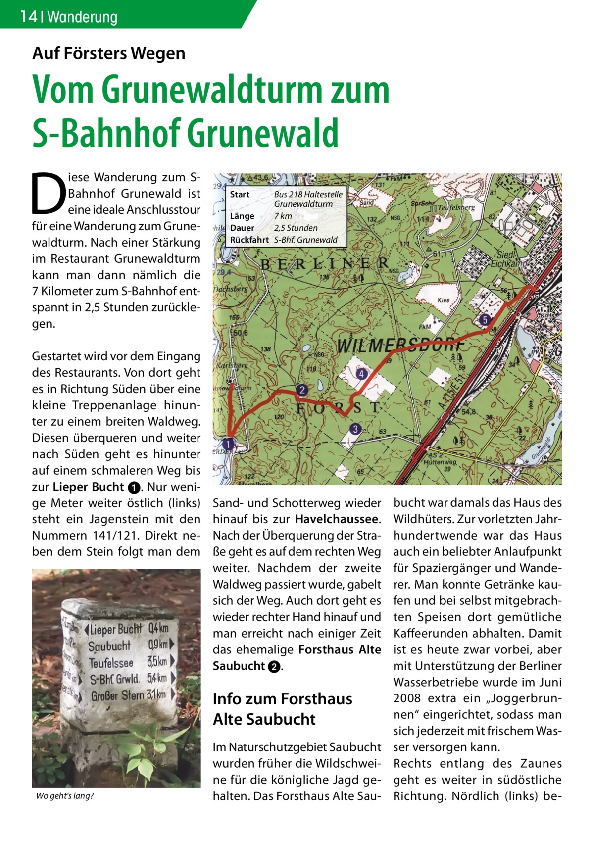 14 Wanderung  Auf Försters Wegen  Vom Grunewaldturm zum S-Bahnhof Grunewald  D  iese Wanderung zum SBahnhof Grunewald ist eine ideale Anschlusstour für eine Wanderung zum Grunewaldturm. Nach einer Stärkung im Restaurant Grunewaldturm kann man dann nämlich die 7 Kilometer zum S-Bahnhof entspannt in 2,5 Stunden zurücklegen.  Gestartet wird vor dem Eingang des Restaurants. Von dort geht es in Richtung Süden über eine kleine Treppenanlage hinunter zu einem breiten Waldweg. Diesen überqueren und weiter nach Süden geht es hinunter auf einem schmaleren Weg bis zur Lieper Bucht ➊. Nur wenige Meter weiter östlich (links) steht ein Jagenstein mit den Nummern 141/121. Direkt neben dem Stein folgt man dem  Start  Bus 218 Haltestelle Grunewaldturm Länge 7 km Dauer 2,5 Stunden Rückfahrt S-Bhf. Grunewald  Sand- und Schotterweg wieder hinauf bis zur Havelchaussee. Nach der Überquerung der Straße geht es auf dem rechten Weg weiter. Nachdem der zweite Waldweg passiert wurde, gabelt sich der Weg. Auch dort geht es wieder rechter Hand hinauf und man erreicht nach einiger Zeit das ehemalige Forsthaus Alte Saubucht ➋.  Info zum Forsthaus Alte Saubucht  Wo geht‘s lang?  Im Naturschutzgebiet Saubucht wurden früher die Wildschweine für die königliche Jagd gehalten. Das Forsthaus Alte Sau bucht war damals das Haus des Wildhüters. Zur vorletzten Jahrhundertwende war das Haus auch ein beliebter Anlaufpunkt für Spaziergänger und Wanderer. Man konnte Getränke kaufen und bei selbst mitgebrachten Speisen dort gemütliche Kaffeerunden abhalten. Damit ist es heute zwar vorbei, aber mit Unterstützung der Berliner Wasserbetriebe wurde im Juni 2008 extra ein „Joggerbrunnen“ eingerichtet, sodass man sich jederzeit mit frischem Wasser versorgen kann. Rechts entlang des Zaunes geht es weiter in südöstliche Richtung. Nördlich (links) b