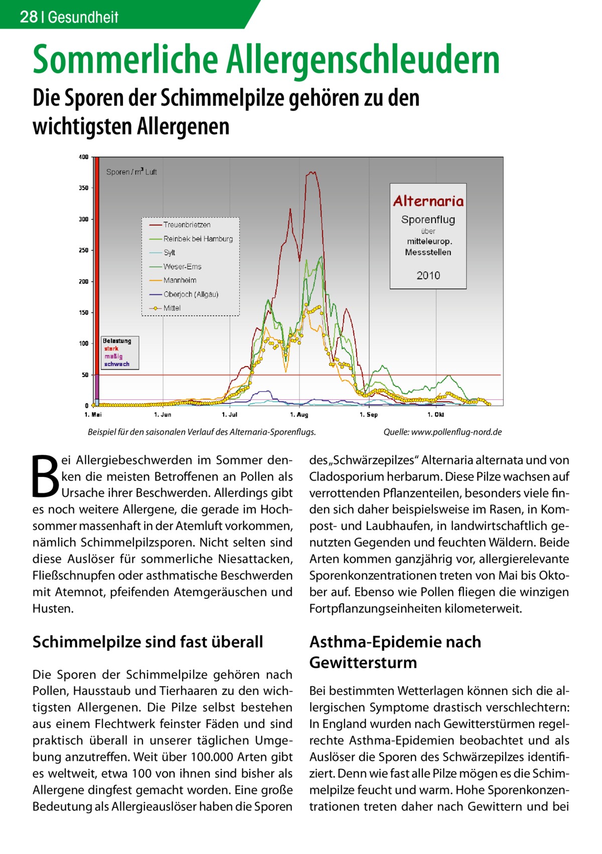 28 Gesundheit  Sommerliche Allergenschleudern Die Sporen der Schimmelpilze gehören zu den wichtigsten Allergenen  Beispiel für den saisonalen Verlauf des Alternaria-Sporenflugs.  B  Quelle: www.pollenflug-nord.de  ei Allergiebeschwerden im Sommer denken die meisten Betroffenen an Pollen als Ursache ihrer Beschwerden. Allerdings gibt es noch weitere Allergene, die gerade im Hochsommer massenhaft in der Atemluft vorkommen, nämlich Schimmelpilzsporen. Nicht selten sind diese Auslöser für sommerliche Niesattacken, Fließschnupfen oder asthmatische Beschwerden mit Atemnot, pfeifenden Atemgeräuschen und Husten.  des „Schwärzepilzes“ Alternaria alternata und von Cladosporium herbarum. Diese Pilze wachsen auf verrottenden Pflanzenteilen, besonders viele finden sich daher beispielsweise im Rasen, in Kompost- und Laubhaufen, in landwirtschaftlich genutzten Gegenden und feuchten Wäldern. Beide Arten kommen ganzjährig vor, allergierelevante Sporenkonzentrationen treten von Mai bis Oktober auf. Ebenso wie Pollen fliegen die winzigen Fortpflanzungseinheiten kilometerweit.  Schimmelpilze sind fast überall  Asthma-Epidemie nach Gewittersturm  Die Sporen der Schimmelpilze gehören nach Pollen, Hausstaub und Tierhaaren zu den wichtigsten Allergenen. Die Pilze selbst bestehen aus einem Flechtwerk feinster Fäden und sind praktisch überall in unserer täglichen Umgebung anzutreffen. Weit über 100.000 Arten gibt es weltweit, etwa 100 von ihnen sind bisher als Allergene dingfest gemacht worden. Eine große Bedeutung als Allergieauslöser haben die Sporen  Bei bestimmten Wetterlagen können sich die allergischen Symptome drastisch verschlechtern: In England wurden nach Gewitterstürmen regelrechte Asthma-Epidemien beobachtet und als Auslöser die Sporen des Schwärzepilzes identifiziert. Denn wie fast alle Pilze mögen es die Schimmelpilze feucht und warm. Hohe Sporenkonzentrationen treten daher nach Gewittern und bei