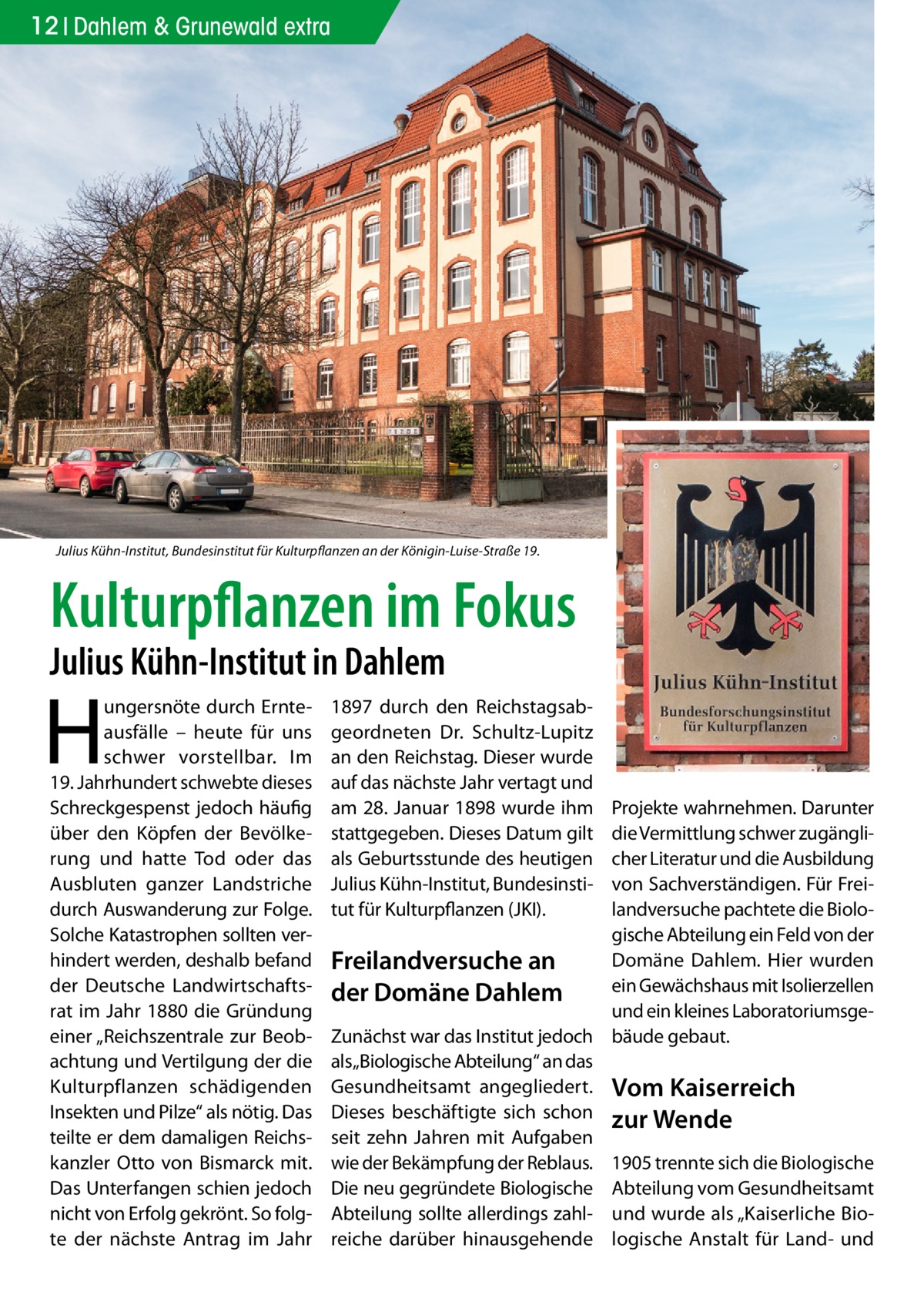 12 Dahlem & Grunewald extra  Julius Kühn-Institut, Bundesinstitut für Kulturpflanzen an der Königin-Luise-Straße 19.  Kulturpflanzen im Fokus Julius Kühn-Institut in Dahlem  H  ungersnöte durch Ernteausfälle – heute für uns schwer vorstellbar. Im 19. Jahrhundert schwebte dieses Schreckgespenst jedoch häufig über den Köpfen der Bevölkerung und hatte Tod oder das Ausbluten ganzer Landstriche durch Auswanderung zur Folge. Solche Katastrophen sollten verhindert werden, deshalb befand der Deutsche Landwirtschaftsrat im Jahr 1880 die Gründung einer „Reichszentrale zur Beobachtung und Vertilgung der die Kulturpflanzen schädigenden Insekten und Pilze“ als nötig. Das teilte er dem damaligen Reichskanzler Otto von Bismarck mit. Das Unterfangen schien jedoch nicht von Erfolg gekrönt. So folgte der nächste Antrag im Jahr  1897 durch den Reichstagsabgeordneten Dr. Schultz-Lupitz an den Reichstag. Dieser wurde auf das nächste Jahr vertagt und am 28. Januar 1898 wurde ihm stattgegeben. Dieses Datum gilt als Geburtsstunde des heutigen Julius Kühn-Institut, Bundesinstitut für Kulturpflanzen (JKI).  Projekte wahrnehmen. Darunter die Vermittlung schwer zugänglicher Literatur und die Ausbildung von Sachverständigen. Für Freilandversuche pachtete die Biologische Abteilung ein Feld von der Domäne Dahlem. Hier wurden Freilandversuche an ein Gewächshaus mit Isolierzellen der Domäne Dahlem und ein kleines LaboratoriumsgeZunächst war das Institut jedoch bäude gebaut. als„Biologische Abteilung“ an das Gesundheitsamt angegliedert. Vom Kaiserreich Dieses beschäftigte sich schon zur Wende seit zehn Jahren mit Aufgaben wie der Bekämpfung der Reblaus. 1905 trennte sich die Biologische Die neu gegründete Biologische Abteilung vom Gesundheitsamt Abteilung sollte allerdings zahl- und wurde als „Kaiserliche Bioreiche darüber hinausgehende logische Anstalt für Land- und