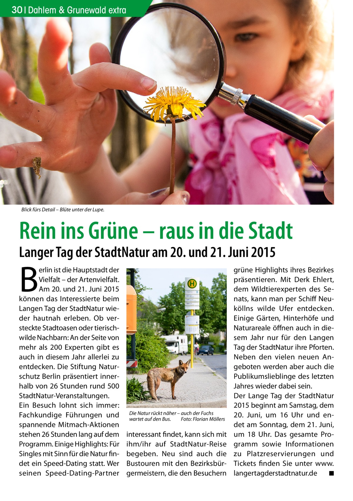 30 Dahlem & Grunewald extra  Blick fürs Detail – Blüte unter der Lupe.  Rein ins Grüne – raus in die Stadt Langer Tag der StadtNatur am 20. und 21. Juni 2015  B  erlin ist die Hauptstadt der Vielfalt – der Artenvielfalt. Am 20. und 21. Juni 2015 können das Interessierte beim Langen Tag der StadtNatur wieder hautnah erleben. Ob versteckte Stadtoasen oder tierischwilde Nachbarn: An der Seite von mehr als 200 Experten gibt es auch in diesem Jahr allerlei zu entdecken. Die Stiftung Naturschutz Berlin präsentiert innerhalb von 26 Stunden rund 500 StadtNatur-Veranstaltungen. Ein Besuch lohnt sich immer: Fachkundige Führungen und spannende Mitmach-Aktionen stehen 26 Stunden lang auf dem Programm. Einige Highlights: Für Singles mit Sinn für die Natur findet ein Speed-Dating statt. Wer seinen Speed-Dating-Partner  Die Natur rückt näher – auch der Fuchs wartet auf den Bus.� Foto: Florian Möllers  interessant findet, kann sich mit ihm/ihr auf StadtNatur-Reise begeben. Neu sind auch die Bustouren mit den Bezirksbürgermeistern, die den Besuchern  grüne Highlights ihres Bezirkes präsentieren. Mit Derk Ehlert, dem Wildtierexperten des Senats, kann man per Schiff Neuköllns wilde Ufer entdecken. Einige Gärten, Hinterhöfe und Naturareale öffnen auch in diesem Jahr nur für den Langen Tag der StadtNatur ihre Pforten. Neben den vielen neuen Angeboten werden aber auch die Publikumslieblinge des letzten Jahres wieder dabei sein. Der Lange Tag der StadtNatur 2015 beginnt am Samstag, dem 20.  Juni, um 16  Uhr und endet am Sonntag, dem 21. Juni, um 18  Uhr. Das gesamte Programm sowie Informationen zu Platzreservierungen und Tickets finden Sie unter www.­ langertagderstadtnatur.de � ◾