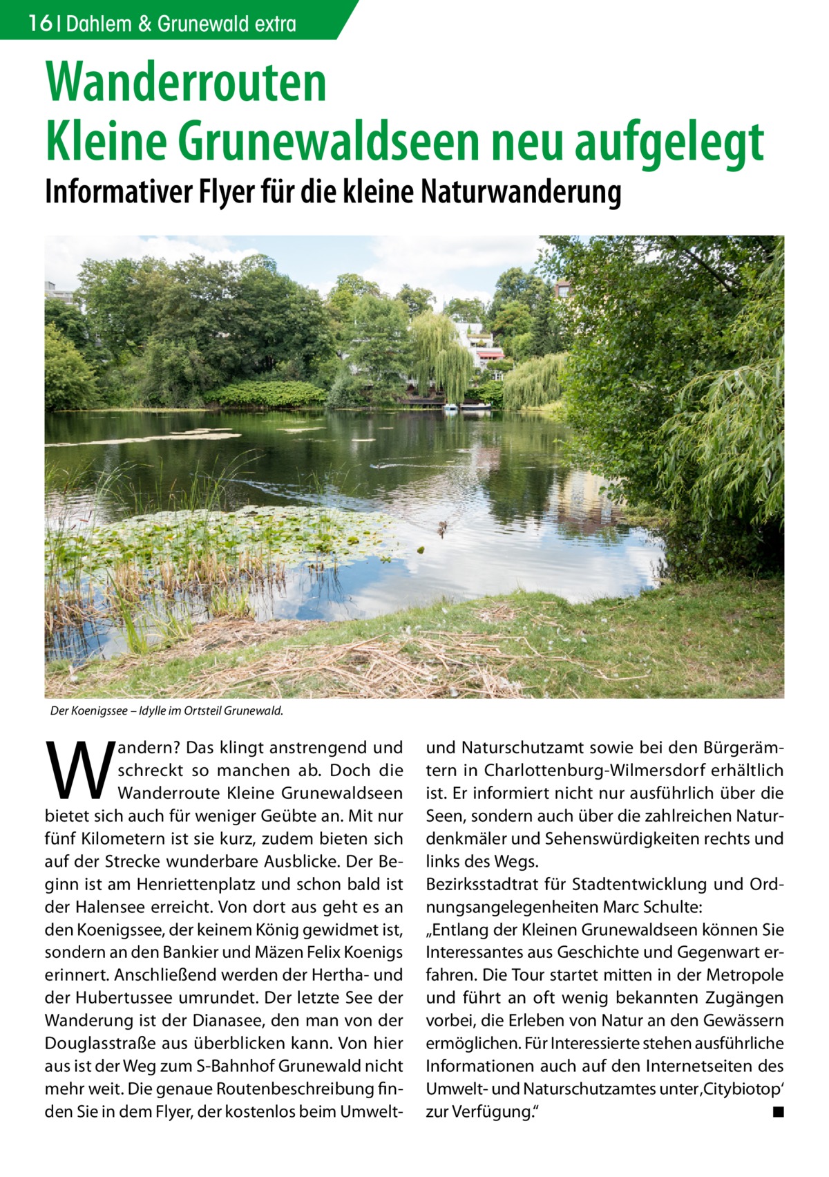 16 Dahlem & Grunewald extra  Wanderrouten Kleine Grunewaldseen neu aufgelegt Informativer Flyer für die kleine Naturwanderung  Der Koenigssee – Idylle im Ortsteil Grunewald.  W  andern? Das klingt anstrengend und schreckt so manchen ab. Doch die Wanderroute Kleine Grunewaldseen bietet sich auch für weniger Geübte an. Mit nur fünf Kilometern ist sie kurz, zudem bieten sich auf der Strecke wunderbare Ausblicke. Der Beginn ist am Henriettenplatz und schon bald ist der Halensee erreicht. Von dort aus geht es an den Koenigssee, der keinem König gewidmet ist, sondern an den Bankier und Mäzen Felix Koenigs erinnert. Anschließend werden der Hertha- und der Hubertussee umrundet. Der letzte See der Wanderung ist der Dianasee, den man von der Douglasstraße aus überblicken kann. Von hier aus ist der Weg zum S-Bahnhof Grunewald nicht mehr weit. Die genaue Routenbeschreibung finden Sie in dem Flyer, der kostenlos beim Umwelt und Naturschutzamt sowie bei den Bürgerämtern in Charlottenburg-Wilmersdorf erhältlich ist. Er informiert nicht nur ausführlich über die Seen, sondern auch über die zahlreichen Naturdenkmäler und Sehenswürdigkeiten rechts und links des Wegs. Bezirksstadtrat für Stadtentwicklung und Ordnungsangelegenheiten Marc Schulte: „Entlang der Kleinen Grunewaldseen können Sie Interessantes aus Geschichte und Gegenwart erfahren. Die Tour startet mitten in der Metropole und führt an oft wenig bekannten Zugängen vorbei, die Erleben von Natur an den Gewässern ermöglichen. Für Interessierte stehen ausführliche Informationen auch auf den Internetseiten des Umwelt- und Naturschutzamtes unter ‚Citybiotop‘ zur Verfügung.“ � ◾