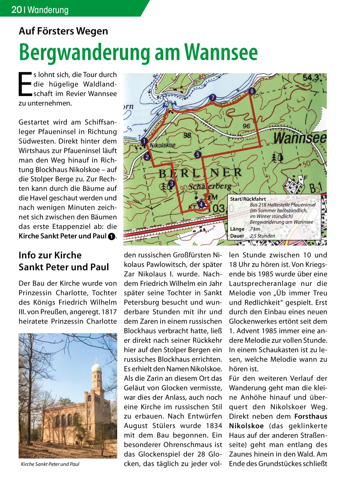 20 Wanderung  Auf Försters Wegen  Bergwanderung am Wannsee  E  s lohnt sich, die Tour durch die hügelige Waldlandschaft im Revier Wannsee zu unternehmen. Gestartet wird am Schiffsanleger Pfaueninsel in Richtung Südwesten. Direkt hinter dem Wirtshaus zur Pfaueninsel läuft man den Weg hinauf in Richtung Blockhaus Nikolskoe – auf die Stolper Berge zu. Zur Rechten kann durch die Bäume auf die Havel geschaut werden und nach wenigen Minuten zeichnet sich zwischen den Bäumen das erste Etappenziel ab: die Kirche Sankt Peter und Paul ➊.  Info zur Kirche Sankt Peter und Paul Der Bau der Kirche wurde von Prinzessin Charlotte, Tochter des Königs Friedrich Wilhelm III. von Preußen, angeregt. 1817 heiratete Prinzessin Charlotte  Kirche Sankt Peter und Paul  Start/Rückfahrt Bus 218 Haltestelle Pfaueninsel (im Sommer halbstündlich, im Winter stündlich) Bergwanderung am Wannsee Länge 7 km Dauer 2,5 Stunden  den russischen Großfürsten Nikolaus Pawlowitsch, der später Zar Nikolaus I. wurde. Nachdem Friedrich Wilhelm ein Jahr später seine Tochter in Sankt Petersburg besucht und wunderbare Stunden mit ihr und dem Zaren in einem russischen Blockhaus verbracht hatte, ließ er direkt nach seiner Rückkehr hier auf den Stolper Bergen ein russisches Blockhaus errichten. Es erhielt den Namen Nikolskoe. Als die Zarin an diesem Ort das Geläut von Glocken vermisste, war dies der Anlass, auch noch eine Kirche im russischen Stil zu erbauen. Nach Entwürfen August Stülers wurde 1834 mit dem Bau begonnen. Ein besonderer Ohrenschmaus ist das Glockenspiel der 28 Glocken, das täglich zu jeder vol len Stunde zwischen 10 und 18 Uhr zu hören ist. Von Kriegsende bis 1985 wurde über eine Lautsprecheranlage nur die Melodie von „Üb immer Treu und Redlichkeit“ gespielt. Erst durch den Einbau eines neuen Glockenwerkes ertönt seit dem 1. Advent 1985 immer eine andere Melodie zur vollen Stunde. In einem Schaukasten ist zu lesen, welche Melodie wann zu hören ist. Für den weiteren Verlauf der Wanderung geht man die kleine Anhöhe hinauf und überquert den Nikolskoer Weg. Direkt neben dem Forsthaus Nikolskoe (das geklinkerte Haus auf der anderen Straßenseite) geht man entlang des Zaunes hinein in den Wald. Am Ende des Grundstückes schließt