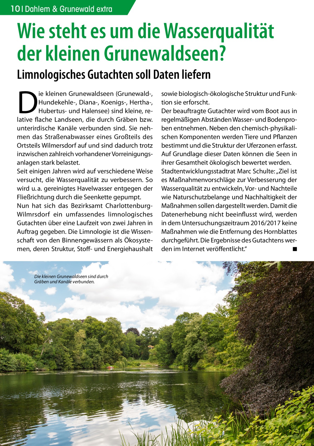 10 Dahlem & Grunewald extra  Wie steht es um die Wasserqualität der kleinen Grunewaldseen? Limnologisches Gutachten soll Daten liefern  D  ie kleinen Grunewaldseen (Grunewald-, Hundekehle-, Diana-, Koenigs-, Hertha-, Hubertus- und Halensee) sind kleine, relative flache Landseen, die durch Gräben bzw. unterirdische Kanäle verbunden sind. Sie nehmen das Straßenabwasser eines Großteils des Ortsteils Wilmersdorf auf und sind dadurch trotz inzwischen zahlreich vorhandener Vorreinigungsanlagen stark belastet. Seit einigen Jahren wird auf verschiedene Weise versucht, die Wasserqualität zu verbessern. So wird u. a. gereinigtes Havelwasser entgegen der Fließrichtung durch die Seenkette gepumpt. Nun hat sich das Bezirksamt CharlottenburgWilmrsdorf ein umfassendes limnologisches Gutachten über eine Laufzeit von zwei Jahren in Auftrag gegeben. Die Limnologie ist die Wissenschaft von den Binnengewässern als Ökosystemen, deren Struktur, Stoff- und Energiehaushalt  Die kleinen Grunewaldseen sind durch Gräben und Kanäle verbunden.  sowie biologisch-ökologische Struktur und Funktion sie erforscht. Der beauftragte Gutachter wird vom Boot aus in regelmäßigen Abständen Wasser- und Bodenproben entnehmen. Neben den chemisch-physikalischen Komponenten werden Tiere und Pflanzen bestimmt und die Struktur der Uferzonen erfasst. Auf Grundlage dieser Daten können die Seen in ihrer Gesamtheit ökologisch bewertet werden. Stadtentwicklungsstadtrat Marc Schulte: „Ziel ist es Maßnahmenvorschläge zur Verbesserung der Wasserqualität zu entwickeln, Vor- und Nachteile wie Naturschutzbelange und Nachhaltigkeit der Maßnahmen sollen dargestellt werden. Damit die Datenerhebung nicht beeinflusst wird, werden in dem Untersuchungszeitraum 2016/2017 keine Maßnahmen wie die Entfernung des Hornblattes durchgeführt. Die Ergebnisse des Gutachtens werden im Internet veröffentlicht.“ � ◾