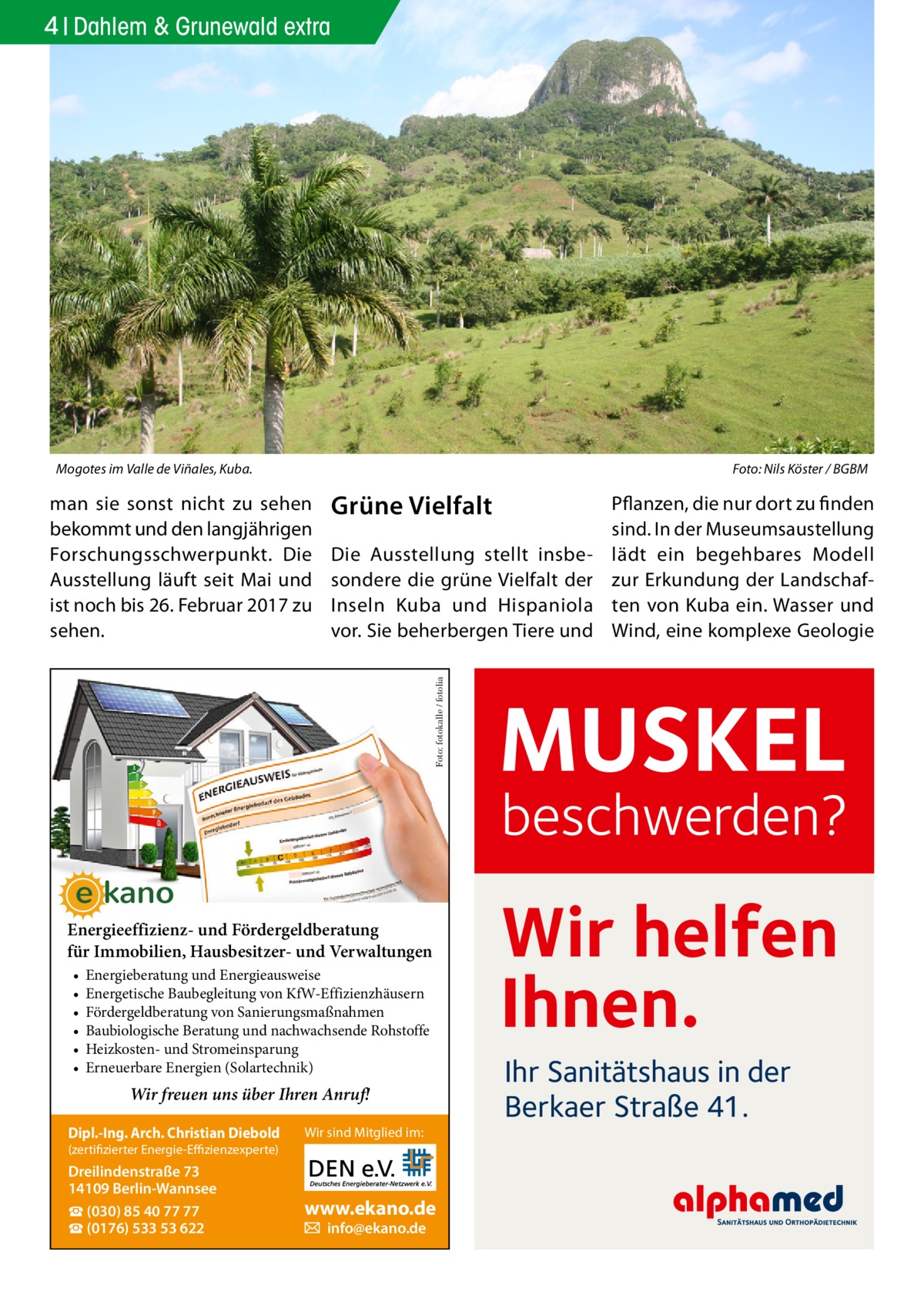 no  4 Dahlem & Grunewald extra  Mogotes im Valle de Viñales, Kuba. �  Foto: Nils Köster / BGBM  Grüne Vielfalt Die Ausstellung stellt insbesondere die grüne Vielfalt der Inseln Kuba und Hispaniola vor. Sie beherbergen Tiere und Foto: fotokalle / fotolia  man sie sonst nicht zu sehen bekommt und den langjährigen Forschungsschwerpunkt. Die Ausstellung läuft seit Mai und ist noch bis 26. Februar 2017 zu sehen.  Pflanzen, die nur dort zu finden sind. In der Museumsaustellung lädt ein begehbares Modell zur Erkundung der Landschaften von Kuba ein. Wasser und Wind, eine komplexe Geologie  MUSKEL  beschwerden?  Energieeffizienz- und Fördergeldberatung für Immobilien, Hausbesitzer- und Verwaltungen • • • • • •  Energieberatung und Energieausweise Energetische Baubegleitung von KfW-Effizienzhäusern Fördergeldberatung von Sanierungsmaßnahmen Baubiologische Beratung und nachwachsende Rohstoffe Heizkosten- und Stromeinsparung Erneuerbare Energien (Solartechnik)  Wir freuen uns über Ihren Anruf! Dipl.-Ing. Arch. Christian Diebold  Wir sind Mitglied im:  (zertifizierter Energie-Effizienzexperte)  Dreilindenstraße 73 14109 Berlin-Wannsee ☎ (030) 85 40 77 77 ☎ (0176) 533 53 622  www.ekano.de � info@ekano.de  Wir helfen Ihnen. Ihr Sanitätshaus in der Berkaer Straße 41.