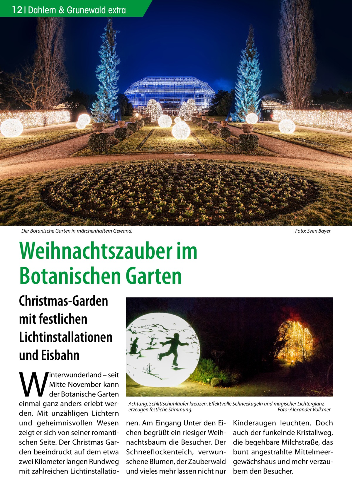 12 Dahlem & Grunewald extra  Der Botanische Garten in märchenhaftem Gewand. �  Foto: Sven Bayer  Weihnachtszauber im Botanischen Garten Christmas-Garden mit festlichen Lichtinstallationen und Eisbahn  W  interwunderland – seit Mitte November kann der Botanische Garten einmal ganz anders erlebt werden. Mit unzähligen Lichtern und geheimnisvollen Wesen zeigt er sich von seiner romantischen Seite. Der Christmas Garden beeindruckt auf dem etwa zwei Kilometer langen Rundweg mit zahlreichen Lichtinstallatio Achtung, Schlittschuhläufer kreuzen. Effektvolle Schneekugeln und magischer Lichterglanz erzeugen festliche Stimmung.� Foto: Alexander Volkmer  nen. Am Eingang Unter den Eichen begrüßt ein riesiger Weihnachtsbaum die Besucher. Der Schneeflockenteich, verwunschene Blumen, der Zauberwald und vieles mehr lassen nicht nur  Kinderaugen leuchten. Doch auch der funkelnde Kristallweg, die begehbare Milchstraße, das bunt angestrahlte Mittelmeergewächshaus und mehr verzaubern den Besucher.