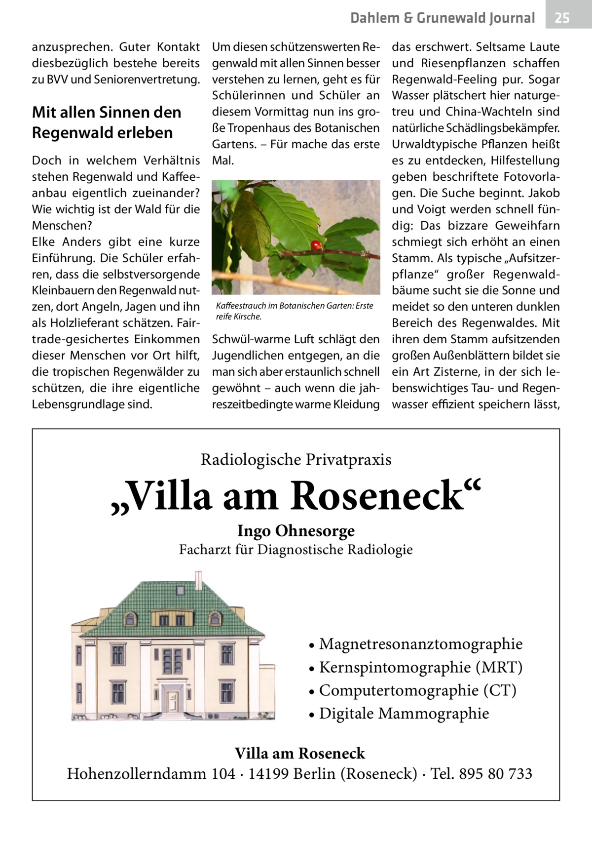 Dahlem & Grunewald Journal anzusprechen. Guter Kontakt Um diesen schützenswerten Rediesbezüglich bestehe bereits genwald mit allen Sinnen besser zu BVV und Seniorenvertretung. verstehen zu lernen, geht es für Schülerinnen und Schüler an diesem Vormittag nun ins groMit allen Sinnen den ße Tropenhaus des Botanischen Regenwald erleben Gartens. – Für mache das erste Doch in welchem Verhältnis Mal. stehen Regenwald und Kaffeeanbau eigentlich zueinander? Wie wichtig ist der Wald für die Menschen? Elke Anders gibt eine kurze Einführung. Die Schüler erfahren, dass die selbstversorgende Kleinbauern den Regenwald nutzen, dort Angeln, Jagen und ihn Kaffeestrauch im Botanischen Garten: Erste reife Kirsche. als Holzlieferant schätzen. Fairtrade-gesichertes Einkommen Schwül-warme Luft schlägt den dieser Menschen vor Ort hilft, Jugendlichen entgegen, an die die tropischen Regenwälder zu man sich aber erstaunlich schnell schützen, die ihre eigentliche gewöhnt – auch wenn die jahLebensgrundlage sind. reszeitbedingte warme Kleidung  25 25  das erschwert. Seltsame Laute und Riesenpflanzen schaffen Regenwald-Feeling pur. Sogar Wasser plätschert hier naturgetreu und China-Wachteln sind natürliche Schädlingsbekämpfer. Urwaldtypische Pflanzen heißt es zu entdecken, Hilfestellung geben beschriftete Fotovorlagen. Die Suche beginnt. Jakob und Voigt werden schnell fündig: Das bizzare Geweihfarn schmiegt sich erhöht an einen Stamm. Als typische „Aufsitzerpflanze“ großer Regenwaldbäume sucht sie die Sonne und meidet so den unteren dunklen Bereich des Regenwaldes. Mit ihren dem Stamm aufsitzenden großen Außenblättern bildet sie ein Art Zisterne, in der sich lebenswichtiges Tau- und Regenwasser effizient speichern lässt,  Radiologische Privatpraxis  „Villa am Roseneck“ Ingo Ohnesorge  Facharzt für Diagnostische Radiologie  • Magnetresonanztomographie • Kernspintomographie (MRT) • Computertomographie (CT) • Digitale Mammographie Villa am Roseneck Hohenzollerndamm 104 · 14199 Berlin (Roseneck) · Tel. 895 80 733