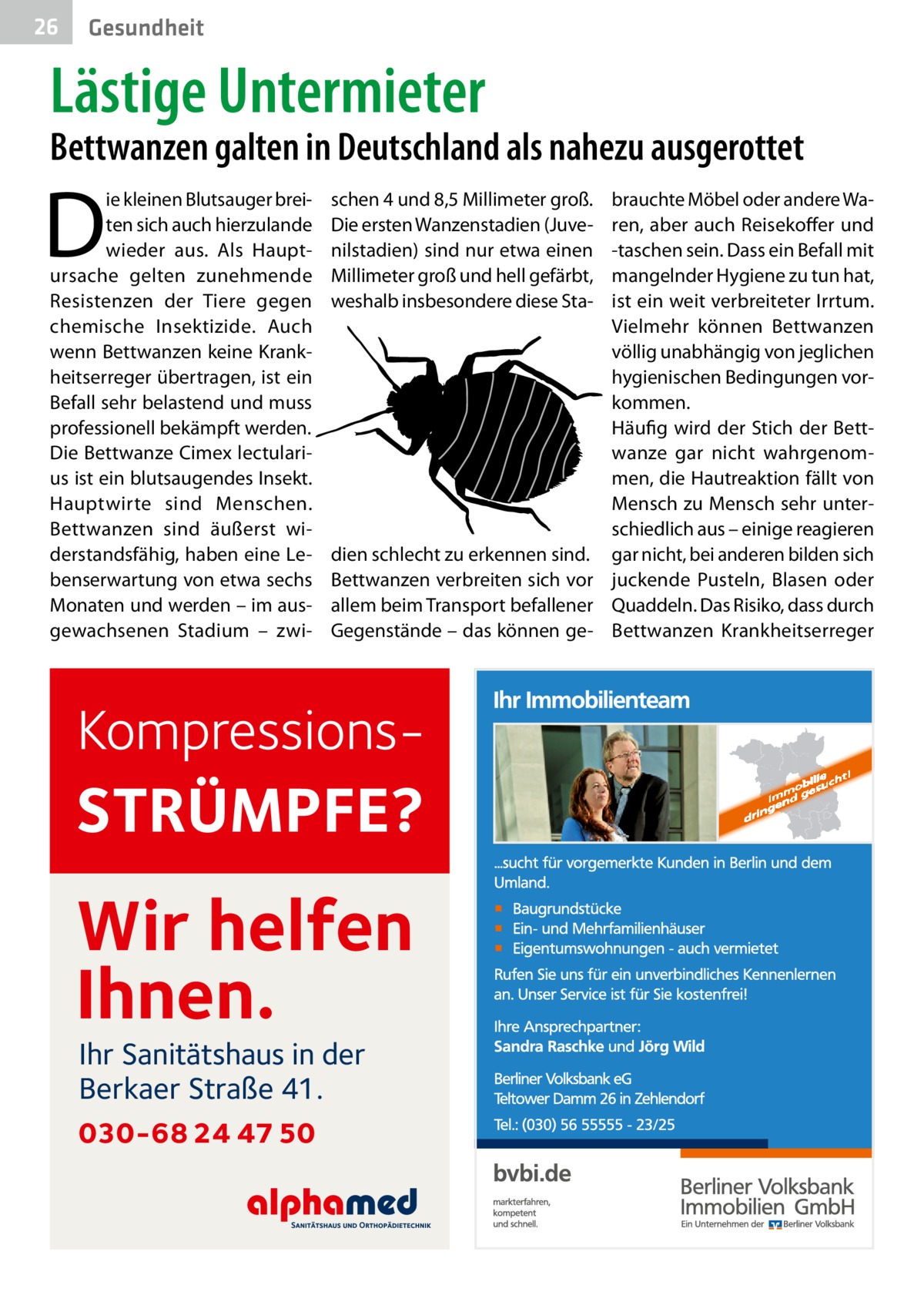 26  Gesundheit  Lästige Untermieter  Bettwanzen galten in Deutschland als nahezu ausgerottet  D  ie kleinen Blutsauger breiten sich auch hierzulande wieder aus. Als Hauptursache gelten zunehmende Resistenzen der Tiere gegen chemische Insektizide. Auch wenn Bettwanzen keine Krankheitserreger übertragen, ist ein Befall sehr belastend und muss professionell bekämpft werden. Die Bettwanze Cimex lectularius ist ein blutsaugendes Insekt. Hauptwirte sind Menschen. Bettwanzen sind äußerst widerstandsfähig, haben eine Lebenserwartung von etwa sechs Monaten und werden – im ausgewachsenen Stadium – zwi schen 4 und 8,5 Millimeter groß. Die ersten Wanzenstadien (Juvenilstadien) sind nur etwa einen Millimeter groß und hell gefärbt, weshalb insbesondere diese Sta brauchte Möbel oder andere Waren, aber auch Reisekoffer und -taschen sein. Dass ein Befall mit mangelnder Hygiene zu tun hat, ist ein weit verbreiteter Irrtum. Vielmehr können Bettwanzen völlig unabhängig von jeglichen hygienischen Bedingungen vorkommen. Häufig wird der Stich der Bettwanze gar nicht wahrgenommen, die Hautreaktion fällt von Mensch zu Mensch sehr unterschiedlich aus – einige reagieren dien schlecht zu erkennen sind. gar nicht, bei anderen bilden sich Bettwanzen verbreiten sich vor juckende Pusteln, Blasen oder allem beim Transport befallener Quaddeln. Das Risiko, dass durch Gegenstände – das können ge- Bettwanzen Krankheitserreger  Kompressions STRÜMPFE?  Wir helfen Ihnen. Ihr Sanitätshaus in der Berkaer Straße 41.  030-68 24 47 50