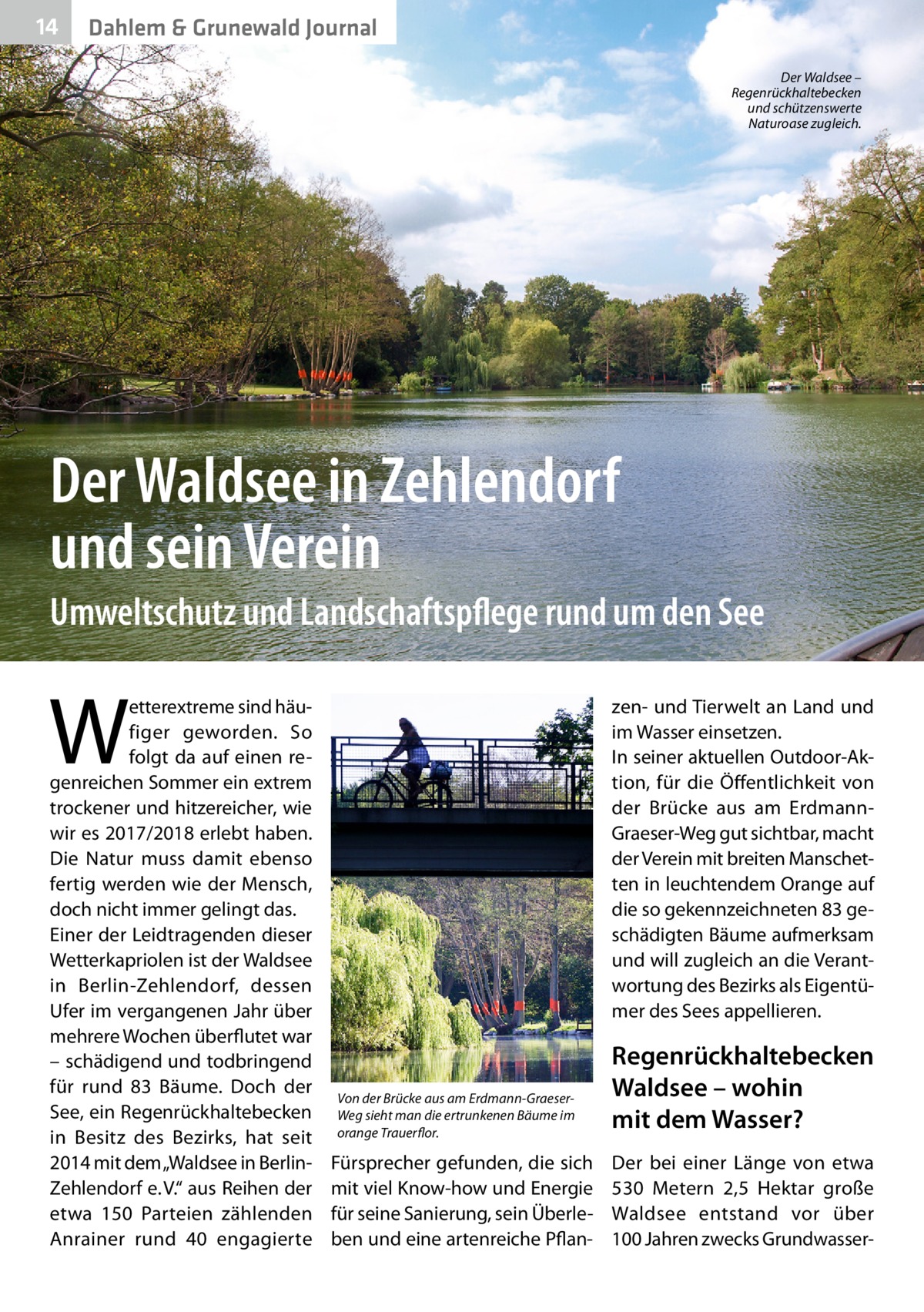 14  Dahlem & Grunewald Journal Der Waldsee – Regenrückhaltebecken und schützenswerte Naturoase zugleich.  Der Waldsee in Zehlendorf und sein Verein Umweltschutz und Landschaftspflege rund um den See  W  etterextreme sind häufiger geworden. So folgt da auf einen regenreichen Sommer ein extrem trockener und hitzereicher, wie wir es 2017/2018 erlebt haben. Die Natur muss damit ebenso fertig werden wie der Mensch, doch nicht immer gelingt das. Einer der Leidtragenden dieser Wetterkapriolen ist der Waldsee in Berlin-Zehlendorf, dessen Ufer im vergangenen Jahr über mehrere Wochen überflutet war – schädigend und todbringend für rund 83  Bäume. Doch der See, ein Regenrückhaltebecken in Besitz des Bezirks, hat seit 2014 mit dem „Waldsee in BerlinZehlendorf e. V.“ aus Reihen der etwa 150  Parteien zählenden Anrainer rund 40 engagierte  zen- und Tierwelt an Land und im Wasser einsetzen. In seiner aktuellen Outdoor-Aktion, für die Öffentlichkeit von der Brücke aus am Erdmann-­ Graeser-Weg gut sichtbar, macht der Verein mit breiten Manschetten in leuchtendem Orange auf die so gekennzeichneten 83 geschädigten Bäume aufmerksam und will zugleich an die Verantwortung des Bezirks als Eigentümer des Sees appellieren.  Von der Brücke aus am Erdmann-GraeserWeg sieht man die ertrunkenen Bäume im orange Trauerflor.  Fürsprecher gefunden, die sich mit viel Know-how und Energie für seine Sanierung, sein Überleben und eine artenreiche Pflan Regenrückhalte­becken Waldsee – wohin mit dem Wasser? Der bei einer Länge von etwa 530  Metern 2,5  Hektar große Waldsee entstand vor über 100 Jahren zwecks Grundwasser­