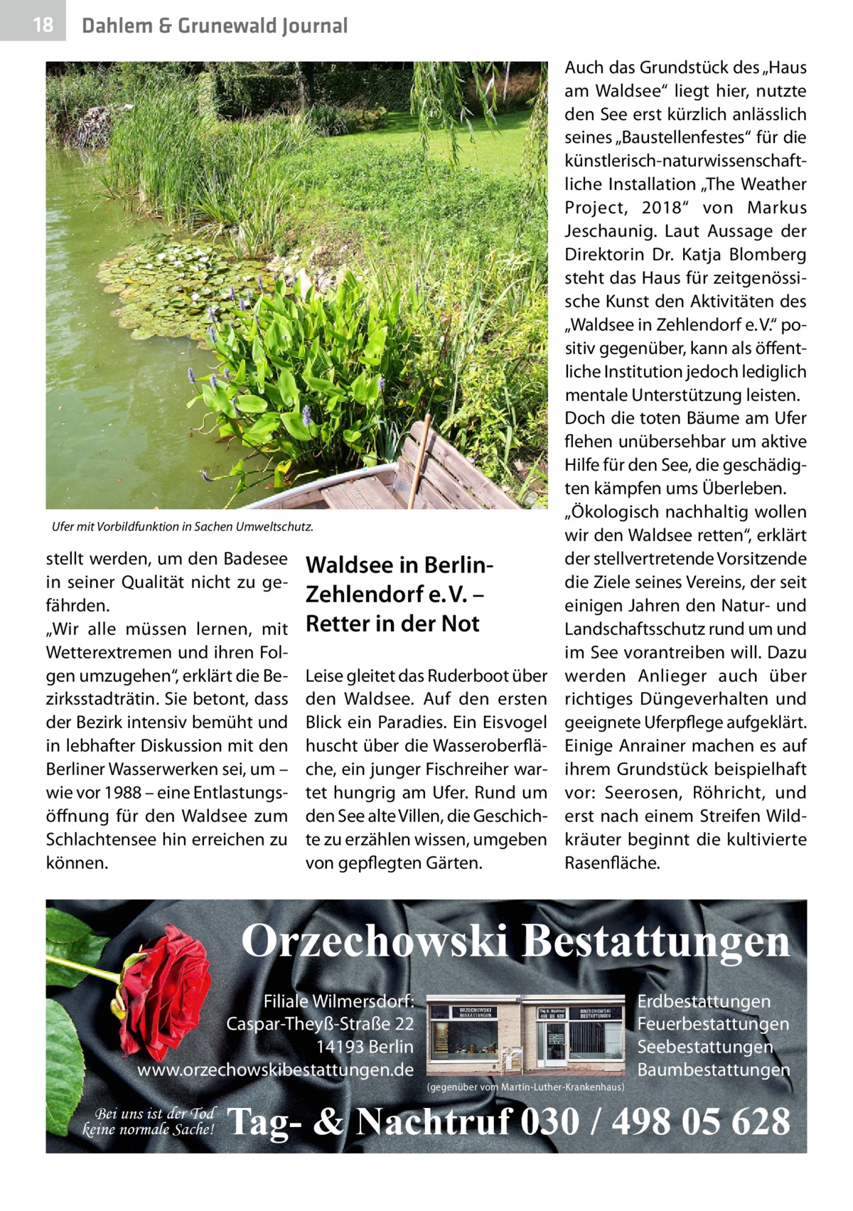 18  Dahlem & Grunewald Journal  Ufer mit Vorbildfunktion in Sachen Umweltschutz.  stellt werden, um den Badesee in seiner Qualität nicht zu gefährden. „Wir alle müssen lernen, mit Wetterextremen und ihren Folgen umzugehen“, erklärt die Bezirksstadträtin. Sie betont, dass der Bezirk intensiv bemüht und in lebhafter Diskussion mit den Berliner Wasserwerken sei, um – wie vor 1988 – eine Entlastungsöffnung für den Waldsee zum Schlachtensee hin erreichen zu können.  Waldsee in BerlinZehlendorf e. V. – Retter in der Not Leise gleitet das Ruderboot über den Waldsee. Auf den ersten Blick ein Paradies. Ein Eisvogel huscht über die Wasseroberfläche, ein junger Fischreiher wartet hungrig am Ufer. Rund um den See alte Villen, die Geschichte zu erzählen wissen, umgeben von gepflegten Gärten.  Auch das Grundstück des „Haus am Waldsee“ liegt hier, nutzte den See erst kürzlich anlässlich seines „Baustellenfestes“ für die künstlerisch-naturwissenschaftliche Installation „The Weather Project, 2018“ von Markus ­Jeschaunig. Laut Aussage der Direktorin Dr.  Katja Blomberg steht das Haus für zeitgenössische Kunst den Aktivitäten des „Waldsee in Zehlendorf e. V.“ positiv gegenüber, kann als öffentliche Institution jedoch lediglich mentale Unterstützung leisten. Doch die toten Bäume am Ufer flehen unübersehbar um aktive Hilfe für den See, die geschädigten kämpfen ums Überleben. „Ökologisch nachhaltig wollen wir den Waldsee retten“, erklärt der stellvertretende Vorsitzende die Ziele seines Vereins, der seit einigen Jahren den Natur- und Landschaftsschutz rund um und im See vorantreiben will. Dazu werden Anlieger auch über richtiges Düngeverhalten und geeignete Uferpflege aufgeklärt. Einige Anrainer machen es auf ihrem Grundstück beispielhaft vor: Seerosen, Röhricht, und erst nach einem Streifen Wildkräuter beginnt die kultivierte Rasenfläche.  Orzechowski Bestattungen Filiale Wilmersdorf: Caspar-Theyß-Straße 22 14193 Berlin www.orzechowskibestattungen.de Bei uns ist der Tod keine normale Sache!  (gegenüber vom Martin-Luther-Krankenhaus)  Erdbestattungen Feuerbestattungen Seebestattungen Baumbestattungen  Tag- & Nachtruf 030 / 498 05 628