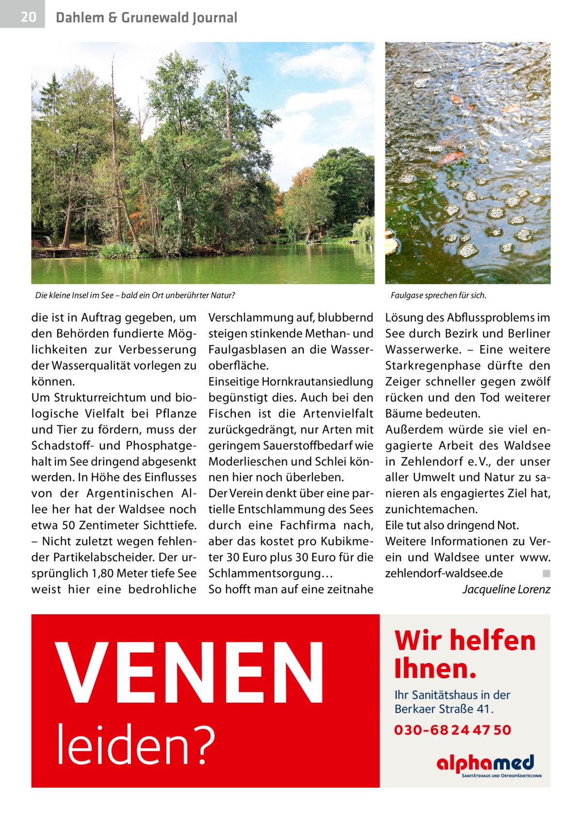 20  Dahlem & Grunewald Journal  Die kleine Insel im See – bald ein Ort unberührter Natur?  die ist in Auftrag gegeben, um den Behörden fundierte Möglichkeiten zur Verbesserung der Wasserqualität vorlegen zu können. Um Strukturreichtum und biologische Vielfalt bei Pflanze und Tier zu fördern, muss der Schadstoff- und Phosphatgehalt im See dringend abgesenkt werden. In Höhe des Einflusses von der Argentinischen Allee her hat der Waldsee noch etwa 50 Zentimeter Sichttiefe. – Nicht zuletzt wegen fehlender Partikelabscheider. Der ursprünglich 1,80 Meter tiefe See weist hier eine bedrohliche  Verschlammung auf, blubbernd steigen stinkende Methan- und Faulgasblasen an die Wasseroberfläche. Einseitige Hornkrautansiedlung begünstigt dies. Auch bei den Fischen ist die Artenvielfalt zurückgedrängt, nur Arten mit geringem Sauerstoffbedarf wie Moderlieschen und Schlei können hier noch überleben. Der Verein denkt über eine partielle Entschlammung des Sees durch eine Fachfirma nach, aber das kostet pro Kubikmeter 30 Euro plus 30 Euro für die Schlammentsorgung… So hofft man auf eine zeitnahe  VENEN leiden?  Faulgase sprechen für sich.  Lösung des Abflussproblems im See durch Bezirk und Berliner Wasserwerke. – Eine weitere Stark­regenphase dürfte den Zeiger schneller gegen zwölf rücken und den Tod weiterer Bäume bedeuten. Außerdem würde sie viel engagierte Arbeit des Waldsee in Zehlendorf e. V., der unser aller Umwelt und Natur zu sanieren als engagiertes Ziel hat, zunichte­machen. Eile tut also dringend Not. Weitere Informationen zu Verein und Waldsee unter www. zehlendorf-waldsee.de� ◾ � Jacqueline Lorenz  Wir helfen Ihnen. Ihr Sanitätshaus in der Berkaer Straße 41.  030-68 24 47 50