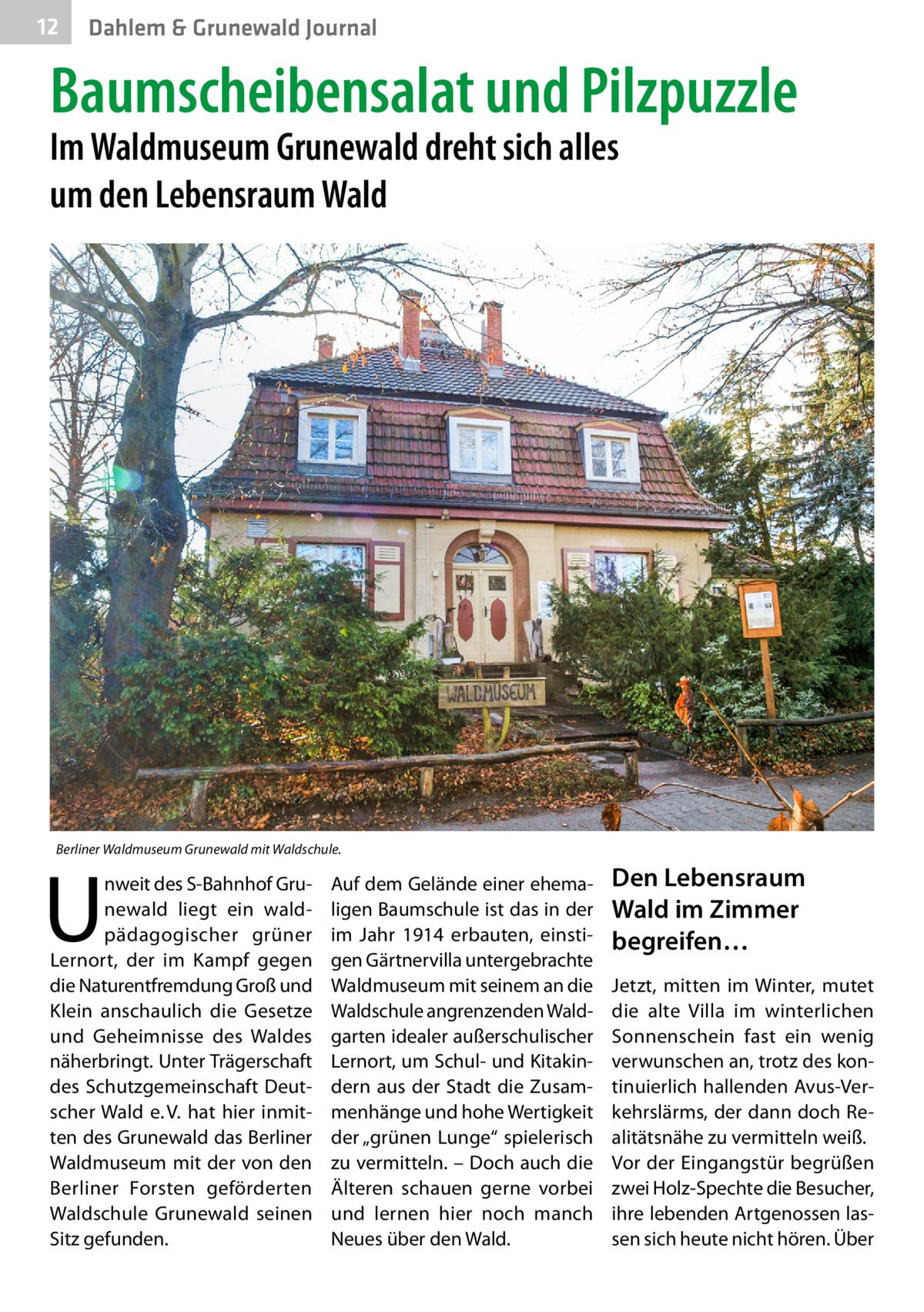 12  Dahlem & Grunewald Journal  Baumscheibensalat und Pilzpuzzle Im Waldmuseum Grunewald dreht sich alles um den Lebensraum Wald  Berliner Waldmuseum Grunewald mit Waldschule.  U  nweit des S-Bahnhof Grunewald liegt ein waldpädagogischer grüner Lernort, der im Kampf gegen die Naturentfremdung Groß und Klein anschaulich die Gesetze und Geheimnisse des Waldes näherbringt. Unter Trägerschaft des Schutzgemeinschaft Deutscher Wald e. V. hat hier inmitten des Grunewald das Berliner Waldmuseum mit der von den Berliner Forsten geförderten Waldschule Grunewald seinen Sitz gefunden.  Auf dem Gelände einer ehemaligen Baumschule ist das in der im Jahr 1914 erbauten, einstigen Gärtnervilla untergebrachte Waldmuseum mit seinem an die Waldschule angrenzenden Waldgarten idealer außerschulischer Lernort, um Schul- und Kitakindern aus der Stadt die Zusammenhänge und hohe Wertigkeit der „grünen Lunge“ spielerisch zu vermitteln. – Doch auch die Älteren schauen gerne vorbei und lernen hier noch manch Neues über den Wald.  Den Lebensraum Wald im Zimmer begreifen… Jetzt, mitten im Winter, mutet die alte Villa im winterlichen Sonnenschein fast ein wenig verwunschen an, trotz des kontinuierlich hallenden Avus-Verkehrslärms, der dann doch Realitätsnähe zu vermitteln weiß. Vor der Eingangstür begrüßen zwei Holz-Spechte die Besucher, ihre lebenden Artgenossen lassen sich heute nicht hören. Über