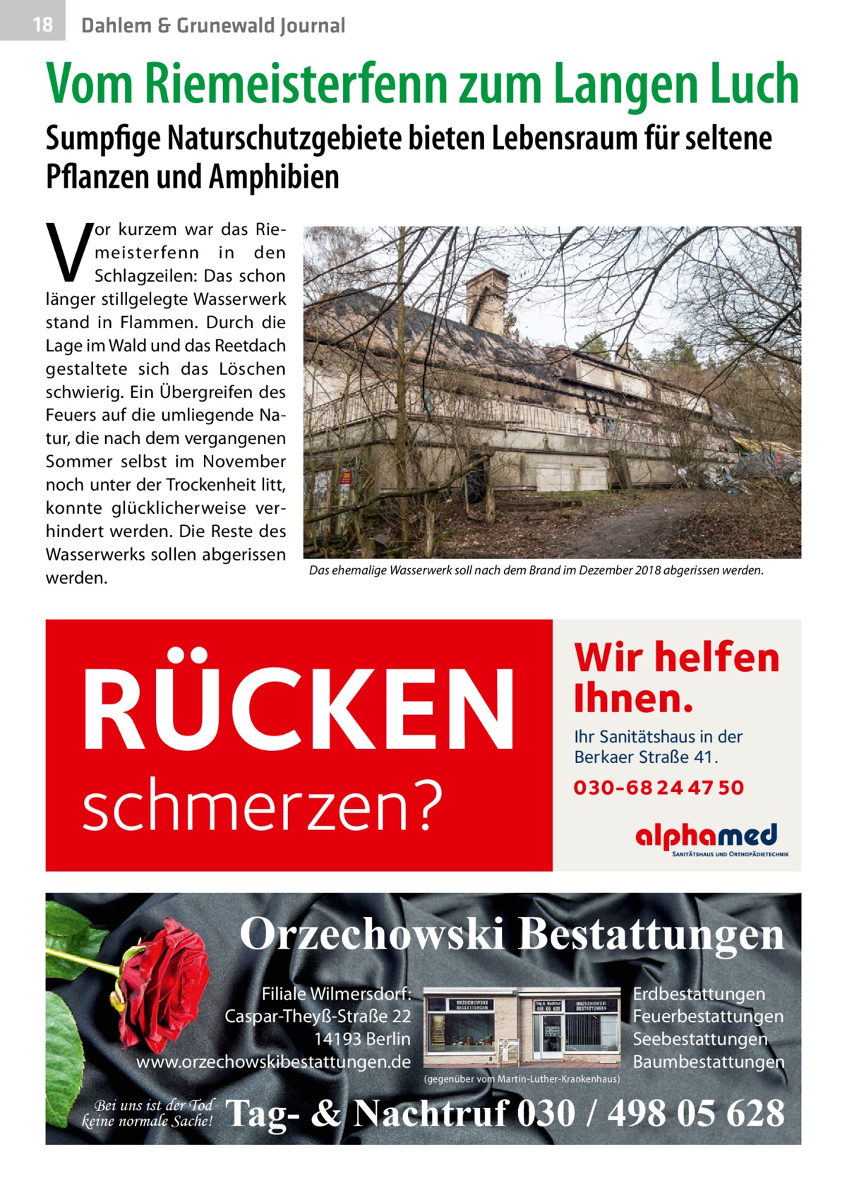 18  Dahlem & Grunewald Journal  Vom Riemeisterfenn zum Langen Luch Sumpfige Naturschutzgebiete bieten Lebensraum für seltene Pflanzen und Amphibien  V  or kurzem war das Riemeisterfenn in den Schlagzeilen: Das schon länger stillgelegte Wasserwerk stand in Flammen. Durch die Lage im Wald und das Reetdach gestaltete sich das Löschen schwierig. Ein Übergreifen des Feuers auf die umliegende Natur, die nach dem vergangenen Sommer selbst im November noch unter der Trockenheit litt, konnte glücklicherweise verhindert werden. Die Reste des Wasserwerks sollen abgerissen werden.  Das ehemalige Wasserwerk soll nach dem Brand im Dezember 2018 abgerissen werden.  RÜCKEN schmerzen?  Wir helfen Ihnen. Ihr Sanitätshaus in der Berkaer Straße 41.  030-68 24 47 50  Orzechowski Bestattungen Filiale Wilmersdorf: Caspar-Theyß-Straße 22 14193 Berlin www.orzechowskibestattungen.de Bei uns ist der Tod keine normale Sache!  (gegenüber vom Martin-Luther-Krankenhaus)  Erdbestattungen Feuerbestattungen Seebestattungen Baumbestattungen  Tag- & Nachtruf 030 / 498 05 628