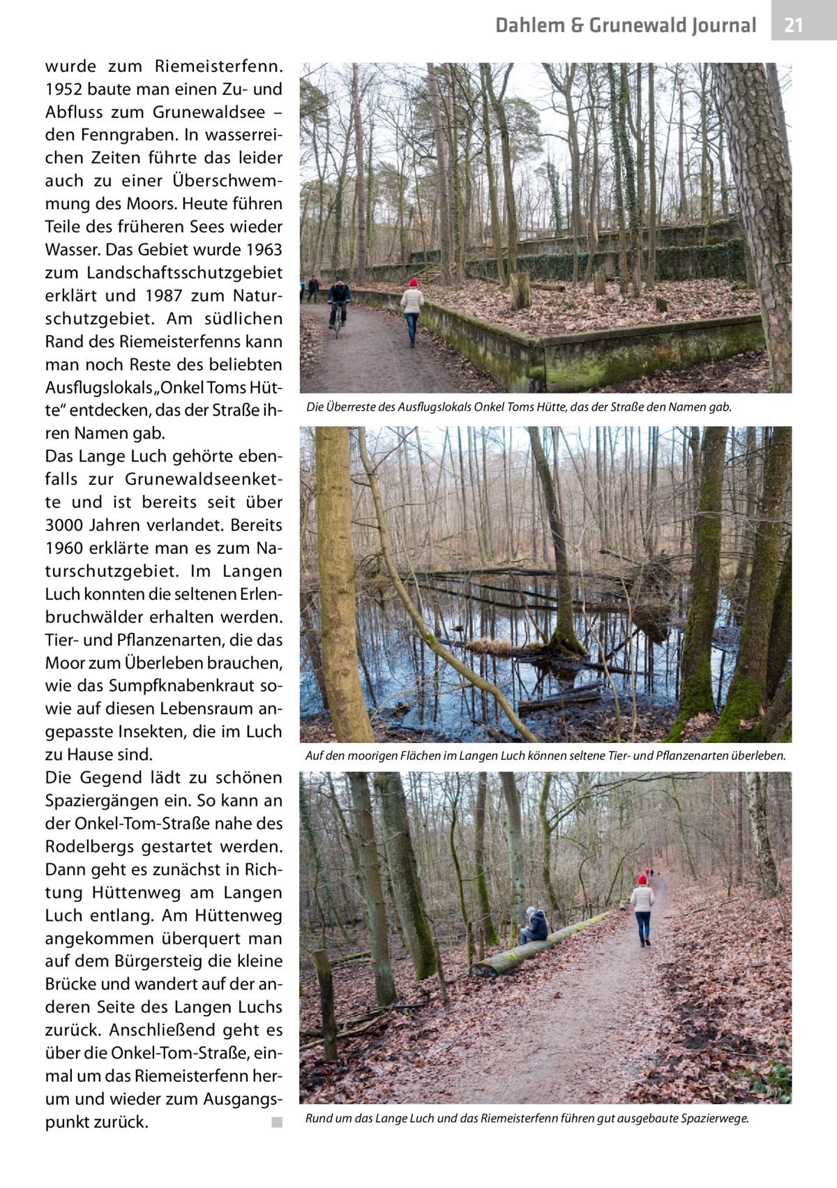 Dahlem & Grunewald Gesundheit Journal wurde zum Riemeisterfenn. 1952 baute man einen Zu- und Abfluss zum Grunewaldsee – den Fenngraben. In wasserreichen Zeiten führte das leider auch zu einer Überschwemmung des Moors. Heute führen Teile des früheren Sees wieder Wasser. Das Gebiet wurde 1963 zum Landschaftsschutzgebiet erklärt und 1987 zum Naturschutzgebiet. Am südlichen Rand des Riemeisterfenns kann man noch Reste des beliebten Ausflugslokals „Onkel Toms Hütte“ entdecken, das der Straße ihren Namen gab. Das Lange Luch gehörte ebenfalls zur Grunewaldseenkette und ist bereits seit über 3000  Jahren verlandet. Bereits 1960 erklärte man es zum Naturschutzgebiet. Im Langen Luch konnten die seltenen Erlenbruchwälder erhalten werden. Tier- und Pflanzenarten, die das Moor zum Überleben brauchen, wie das Sumpfknabenkraut sowie auf diesen Lebensraum angepasste Insekten, die im Luch zu Hause sind. Die Gegend lädt zu schönen Spaziergängen ein. So kann an der Onkel-Tom-Straße nahe des Rodelbergs gestartet werden. Dann geht es zunächst in Richtung Hüttenweg am Langen Luch entlang. Am Hüttenweg angekommen überquert man auf dem Bürgersteig die kleine Brücke und wandert auf der anderen Seite des Langen Luchs zurück. Anschließend geht es über die Onkel-Tom-Straße, einmal um das Riemeisterfenn herum und wieder zum Ausgangspunkt zurück.� ◾  21 21  Die Überreste des Ausflugslokals Onkel Toms Hütte, das der Straße den Namen gab.  Auf den moorigen Flächen im Langen Luch können seltene Tier- und Pflanzenarten überleben.  Rund um das Lange Luch und das Riemeisterfenn führen gut ausgebaute Spazierwege.