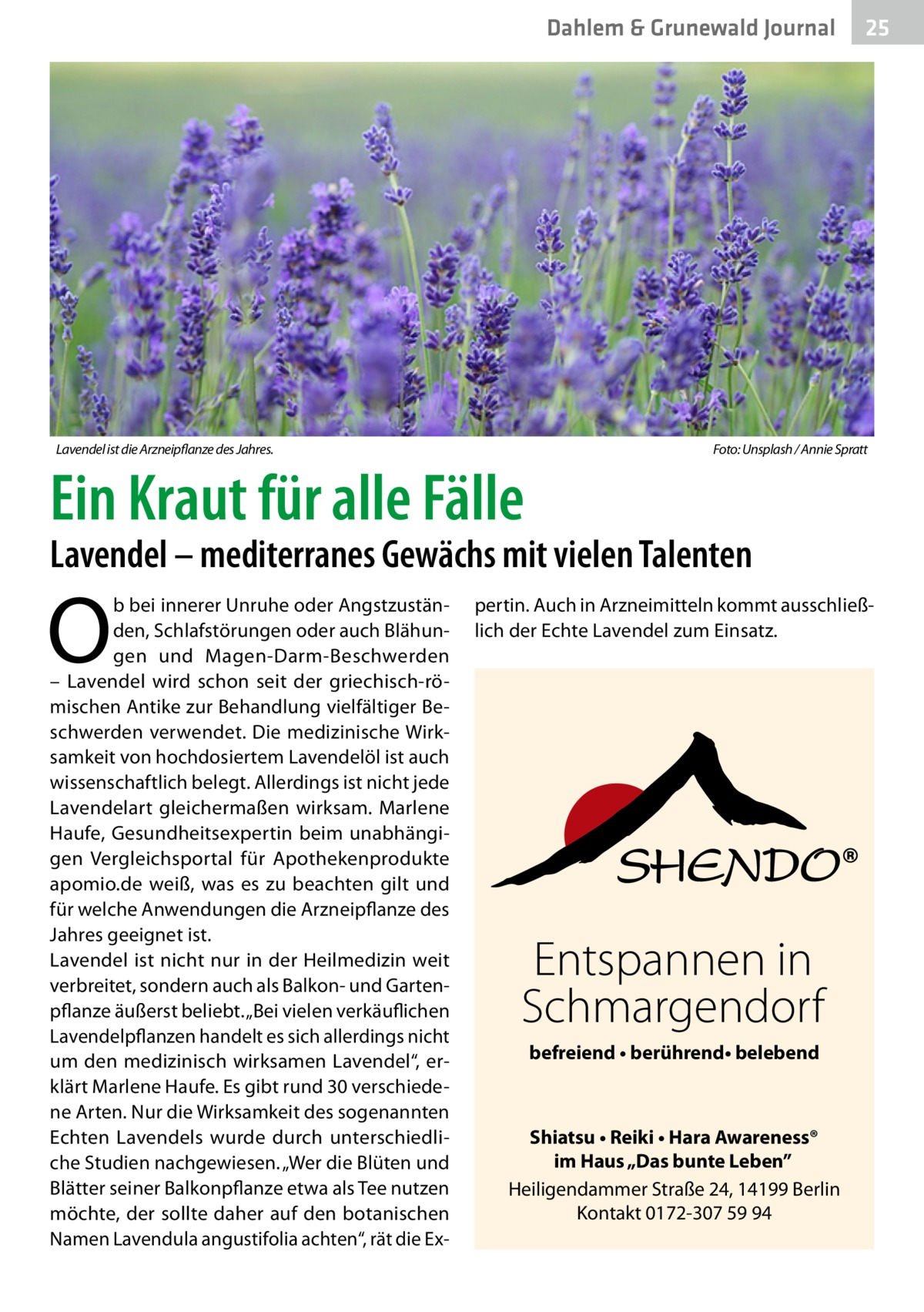 Dahlem & Grunewald Journal  Lavendel ist die Arzneipflanze des Jahres. �  Ein Kraut für alle Fälle  25 25  Foto: Unsplash / Annie Spratt  Lavendel – mediterranes Gewächs mit vielen Talenten  O  b bei innerer Unruhe oder Angstzuständen, Schlafstörungen oder auch Blähungen und Magen-Darm-Beschwerden – Lavendel wird schon seit der griechisch-römischen Antike zur Behandlung vielfältiger Beschwerden verwendet. Die medizinische Wirksamkeit von hochdosiertem Lavendelöl ist auch wissenschaftlich belegt. Allerdings ist nicht jede Lavendelart gleichermaßen wirksam. Marlene Haufe, Gesundheitsexpertin beim unabhängigen Vergleichsportal für Apothekenprodukte apomio.de weiß, was es zu beachten gilt und für welche Anwendungen die Arzneipflanze des Jahres geeignet ist. Lavendel ist nicht nur in der Heilmedizin weit verbreitet, sondern auch als Balkon- und Gartenpflanze äußerst beliebt. „Bei vielen verkäuflichen Lavendelpflanzen handelt es sich allerdings nicht um den medizinisch wirksamen Lavendel“, erklärt Marlene Haufe. Es gibt rund 30 verschiedene Arten. Nur die Wirksamkeit des sogenannten Echten Lavendels wurde durch unterschiedliche Studien nachgewiesen. „Wer die Blüten und Blätter seiner Balkonpflanze etwa als Tee nutzen möchte, der sollte daher auf den botanischen Namen Lavendula angustifolia achten“, rät die Ex pertin. Auch in Arzneimitteln kommt ausschließlich der Echte Lavendel zum Einsatz.  Entspannen in Schmargendorf befreiend • berührend• belebend  Shiatsu • Reiki • Hara Awareness® im Haus „Das bunte Leben” Heiligendammer Straße 24, 14199 Berlin Kontakt 0172-307 59 94