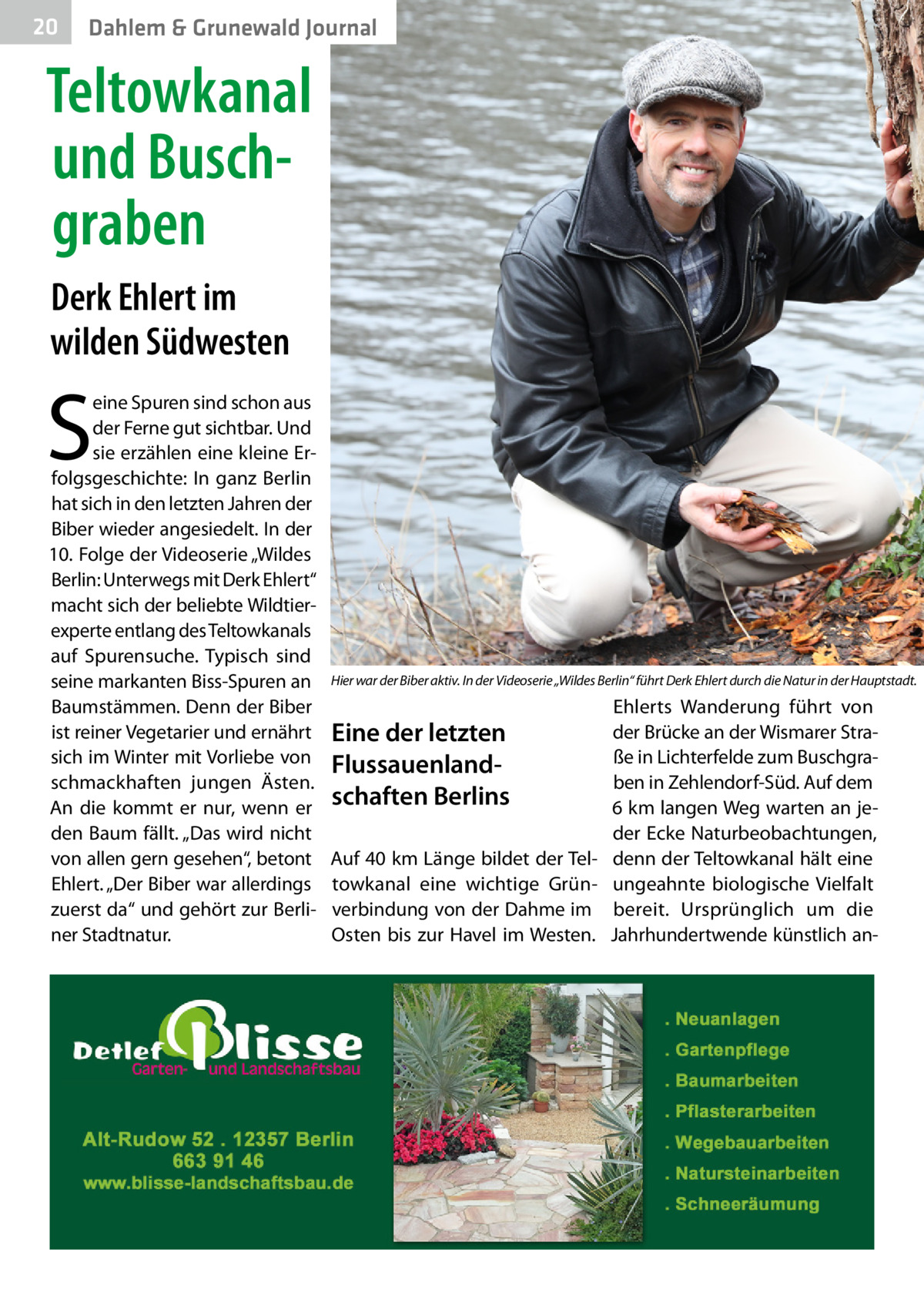 20  Dahlem & Grunewald Journal  Teltowkanal und Buschgraben Derk Ehlert im wilden Südwesten  S  eine Spuren sind schon aus der Ferne gut sichtbar. Und sie erzählen eine kleine Erfolgsgeschichte: In ganz Berlin hat sich in den letzten Jahren der Biber wieder angesiedelt. In der 10. Folge der Videoserie „Wildes Berlin: Unterwegs mit Derk Ehlert“ macht sich der beliebte Wildtierexperte entlang des Teltowkanals auf Spurensuche. Typisch sind seine markanten Biss-Spuren an Baumstämmen. Denn der Biber ist reiner Vegetarier und ernährt sich im Winter mit Vorliebe von schmackhaften jungen Ästen. An die kommt er nur, wenn er den Baum fällt. „Das wird nicht von allen gern gesehen“, betont Ehlert. „Der Biber war allerdings zuerst da“ und gehört zur Berliner Stadtnatur.  Hier war der Biber aktiv. In der Videoserie „Wildes Berlin“ führt Derk Ehlert durch die Natur in der Hauptstadt.�  Eine der letzten Flussauenlandschaften Berlins Auf 40 km Länge bildet der Teltowkanal eine wichtige Grünverbindung von der Dahme im Osten bis zur Havel im Westen.  Ehlerts Wanderung führt von der Brücke an der Wismarer Straße in Lichterfelde zum Buschgraben in Zehlendorf-Süd. Auf dem 6 km langen Weg warten an jeder Ecke Naturbeobachtungen, denn der Teltowkanal hält eine ungeahnte biologische Vielfalt bereit. Ursprünglich um die Jahrhundertwende künstlich a