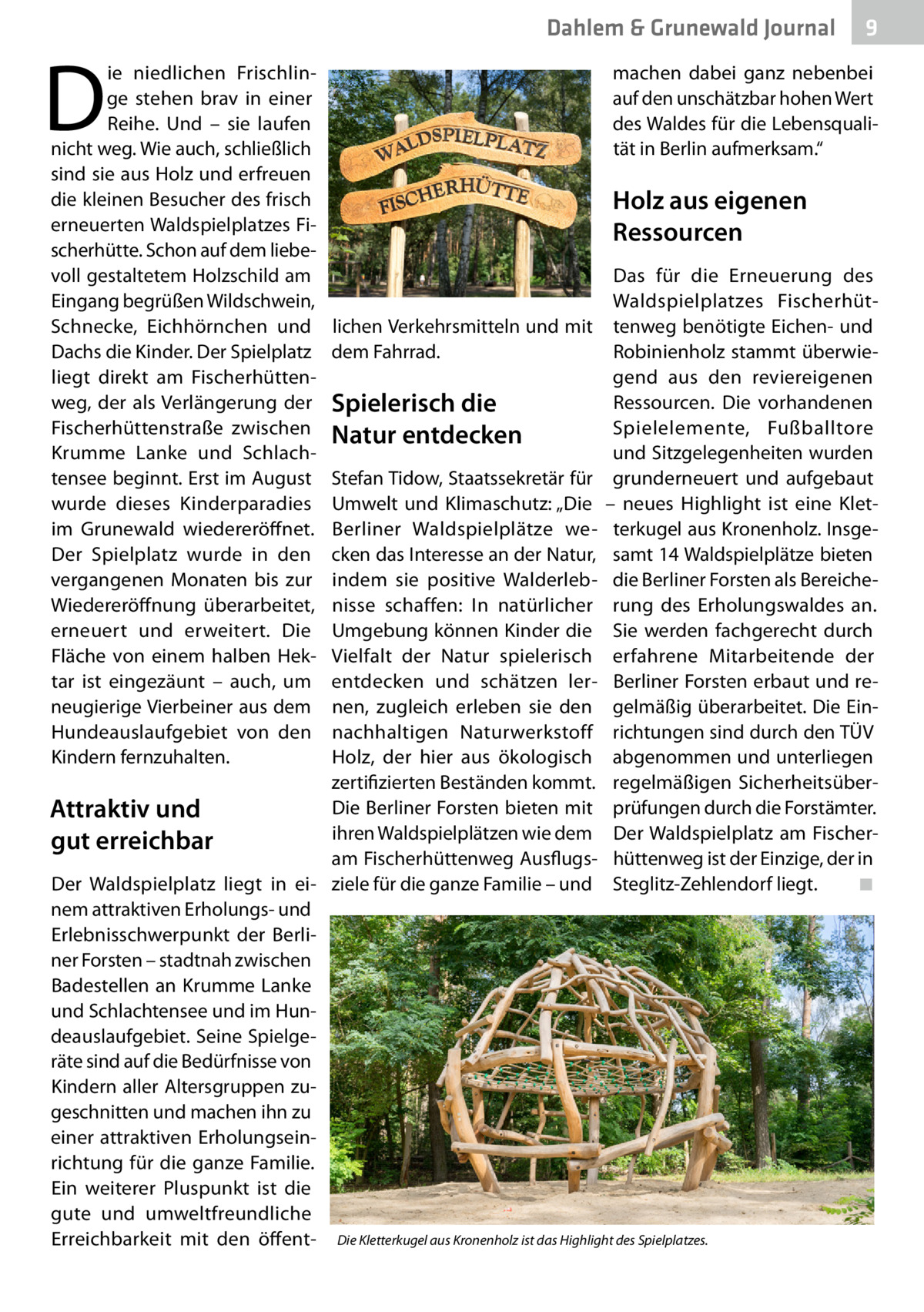 Dahlem & Grunewald Journal  D  ie niedlichen Frischlinge stehen brav in einer Reihe. Und – sie laufen nicht weg. Wie auch, schließlich sind sie aus Holz und erfreuen die kleinen Besucher des frisch erneuerten Waldspielplatzes Fischerhütte. Schon auf dem liebevoll gestaltetem Holzschild am Eingang begrüßen Wildschwein, Schnecke, Eichhörnchen und Dachs die Kinder. Der Spielplatz liegt direkt am Fischerhüttenweg, der als Verlängerung der Fischerhüttenstraße zwischen Krumme Lanke und Schlachtensee beginnt. Erst im August wurde dieses Kinderparadies im Grunewald wiedereröffnet. Der Spielplatz wurde in den vergangenen Monaten bis zur Wiedereröffnung überarbeitet, erneuert und erweitert. Die Fläche von einem halben Hektar ist eingezäunt – auch, um neugierige Vierbeiner aus dem Hundeauslaufgebiet von den Kindern fernzuhalten.  9  machen dabei ganz nebenbei auf den unschätzbar hohen Wert des Waldes für die Lebensqualität in Berlin aufmerksam.“  Holz aus eigenen Ressourcen  lichen Verkehrsmitteln und mit dem Fahrrad.  Spielerisch die Natur entdecken  Das für die Erneuerung des Waldspielplatzes Fischerhüttenweg benötigte Eichen- und Robinienholz stammt überwiegend aus den reviereigenen Ressourcen. Die vorhandenen Spielelemente, Fußballtore und Sitzgelegenheiten wurden grunderneuert und aufgebaut – neues Highlight ist eine Kletterkugel aus Kronenholz. Insgesamt 14 Waldspielplätze bieten die Berliner Forsten als Bereicherung des Erholungswaldes an. Sie werden fachgerecht durch erfahrene Mitarbeitende der Berliner Forsten erbaut und regelmäßig überarbeitet. Die Einrichtungen sind durch den TÜV abgenommen und unterliegen regelmäßigen Sicherheitsüberprüfungen durch die Forstämter. Der Waldspielplatz am Fischerhüttenweg ist der Einzige, der in Steglitz-Zehlendorf liegt. � ◾  Stefan Tidow, Staatssekretär für Umwelt und Klimaschutz: „Die Berliner Waldspielplätze wecken das Interesse an der Natur, indem sie positive Walderlebnisse schaffen: In natürlicher Umgebung können Kinder die Vielfalt der Natur spielerisch entdecken und schätzen lernen, zugleich erleben sie den nachhaltigen Naturwerkstoff Holz, der hier aus ökologisch zertifizierten Beständen kommt. Die Berliner Forsten bieten mit Attraktiv und ihren Waldspielplätzen wie dem gut erreichbar am Fischerhüttenweg AusflugsDer Waldspielplatz liegt in ei- ziele für die ganze Familie – und nem attraktiven Erholungs- und Erlebnisschwerpunkt der Berliner Forsten – stadtnah zwischen Badestellen an Krumme Lanke und Schlachtensee und im Hundeauslaufgebiet. Seine Spielgeräte sind auf die Bedürfnisse von Kindern aller Altersgruppen zugeschnitten und machen ihn zu einer attraktiven Erholungseinrichtung für die ganze Familie. Ein weiterer Pluspunkt ist die gute und umweltfreundliche Erreichbarkeit mit den öffent- Die Kletterkugel aus Kronenholz ist das Highlight des Spielplatzes.