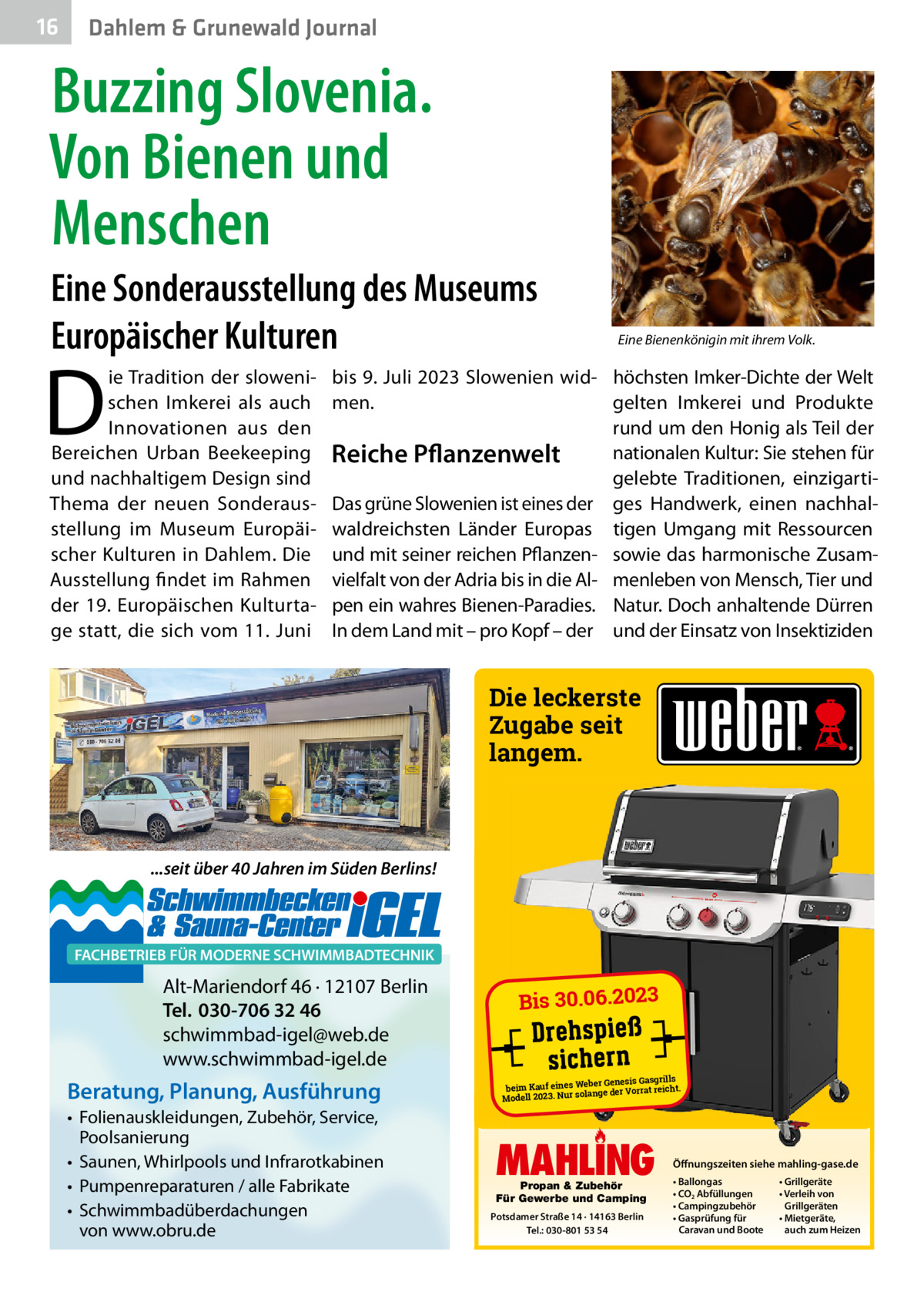 16  Gesundheit Dahlem & Grunewald Journal  Buzzing Slovenia. Von Bienen und Menschen Eine Sonderausstellung des Museums Europäischer Kulturen  D  ie Tradition der slowenischen Imkerei als auch Innovationen aus den Bereichen Urban Beekeeping und nachhaltigem Design sind Thema der neuen Sonderausstellung im Museum Europäischer Kulturen in Dahlem. Die Ausstellung findet im Rahmen der 19. Europäischen Kulturtage statt, die sich vom 11. Juni  Eine Bienenkönigin mit ihrem Volk.  bis 9. Juli 2023 Slowenien wid- höchsten Imker-Dichte der Welt men. gelten Imkerei und Produkte rund um den Honig als Teil der nationalen Kultur: Sie stehen für Reiche Pflanzenwelt gelebte Traditionen, einzigartiDas grüne Slowenien ist eines der ges Handwerk, einen nachhalwaldreichsten Länder Europas tigen Umgang mit Ressourcen und mit seiner reichen Pflanzen- sowie das harmonische Zusamvielfalt von der Adria bis in die Al- menleben von Mensch, Tier und pen ein wahres Bienen-Paradies. Natur. Doch anhaltende Dürren In dem Land mit – pro Kopf – der und der Einsatz von Insektiziden  Die leckerste Zugabe seit langem.  ...seit über 40 Jahren im Süden Berlins!  FACHBETRIEB FÜR MODERNE SCHWIMMBADTECHNIK  Alt-Mariendorf 46 · 12107 Berlin Tel. 030-706 32 46 schwimmbad-igel@web.de www.schwimmbad-igel.de  Beratung, Planung, Ausführung • Folienauskleidungen, Zubehör, Service, Poolsanierung • Saunen, Whirlpools und Infrarotkabinen • Pumpenreparaturen / alle Fabrikate • Schwimmbadüberdachungen von www.obru.de  Bis 30.06.2023  er Genesis Gasgrills beim Kauf eines Web ge der Vorrat reicht. solan Modell 2023. Nur  MAHLING Propan & Zubehör Für Gewerbe und Camping  Potsdamer Straße 14 · 14163 Berlin Tel.: 030-801 53 54  Öffnungszeiten siehe mahling-gase.de • Ballongas • CO2 Abfüllungen • Campingzubehör • Gasprüfung für Caravan und Boote  • Grillgeräte • Verleih von Grillgeräten • Mietgeräte, auch zum Heizen