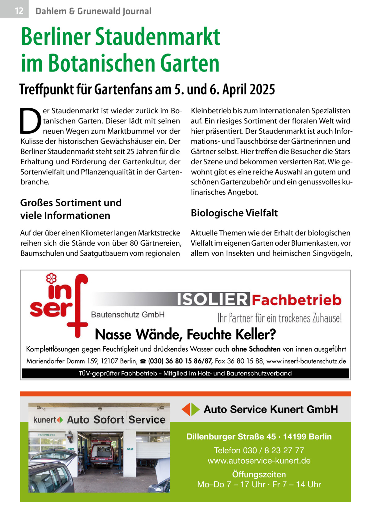 12  Dahlem & Grunewald Journal  Berliner Staudenmarkt im Botanischen Garten Treffpunkt für Gartenfans am 5. und 6. April 2025  D  er Staudenmarkt ist wieder zurück im Botanischen Garten. Dieser lädt mit seinen neuen Wegen zum Marktbummel vor der Kulisse der historischen Gewächshäuser ein. Der Berliner Staudenmarkt steht seit 25 Jahren für die Erhaltung und Förderung der Gartenkultur, der Sortenvielfalt und Pflanzenqualität in der Gartenbranche.  Großes Sortiment und viele Informationen  Kleinbetrieb bis zum internationalen Spezialisten auf. Ein riesiges Sortiment der floralen Welt wird hier präsentiert. Der Staudenmarkt ist auch Informations- und Tauschbörse der Gärtnerinnen und Gärtner selbst. Hier treffen die Besucher die Stars der Szene und bekommen versierten Rat. Wie gewohnt gibt es eine reiche Auswahl an gutem und schönen Gartenzubehör und ein genussvolles kulinarisches Angebot.  Biologische Vielfalt  Auf der über einen Kilometer langen Marktstrecke reihen sich die Stände von über 80 Gärtnereien, Baumschulen und Saatgutbauern vom regionalen  Aktuelle Themen wie der Erhalt der biologischen Vielfalt im eigenen Garten oder Blumenkasten, vor allem von Insekten und heimischen Singvögeln,  Nasse Wände, Feuchte Keller? Komplettlösungen gegen Feuchtigkeit und drückendes Wasser auch ohne Schachten von innen ausgeführt Mariendorfer Damm 159, 12107 Berlin, ☎ (030) 36 80 15 86/87, Fax 36 80 15 88, www.inserf-bautenschutz.de TÜV-geprüfter Fachbetrieb – Mitglied im Holz- und Bautenschutzverband  ◀▶ Auto Service Kunert GmbH Dillenburger Straße 45 · 14199 Berlin Telefon 030 / 8 23 27 77 www.autoservice-kunert.de Öffungszeiten Mo–Do 7 – 17 Uhr · Fr 7 – 14 Uhr