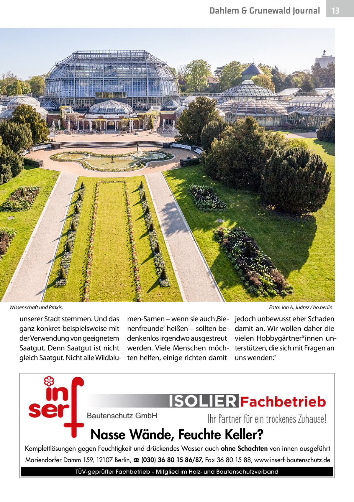 Dahlem & Grunewald Journal  Wissenschaft und Praxis.�  13 13  Foto: Jon A. Juárez / bo.berlin  unserer Stadt stemmen. Und das ganz konkret beispielsweise mit der Verwendung von geeignetem Saatgut. Denn Saatgut ist nicht gleich Saatgut. Nicht alle Wildblu men-Samen – wenn sie auch ‚Bienenfreunde‘ heißen – sollten bedenkenlos irgendwo ausgestreut werden. Viele Menschen möchten helfen, einige richten damit  jedoch unbewusst eher Schaden damit an. Wir wollen daher die vielen Hobbygärtner*innen unterstützen, die sich mit Fragen an uns wenden.“  Nasse Wände, Feuchte Keller? Komplettlösungen gegen Feuchtigkeit und drückendes Wasser auch ohne Schachten von innen ausgeführt Mariendorfer Damm 159, 12107 Berlin, ☎ (030) 36 80 15 86/87, Fax 36 80 15 88, www.inserf-bautenschutz.de TÜV-geprüfter Fachbetrieb – Mitglied im Holz- und Bautenschutzverband
