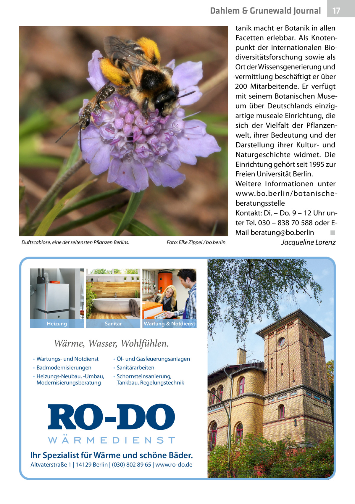 Dahlem & Grunewald Journal  Duftscabiose, eine der seltensten Pflanzen Berlins.�  Heizung  • Wartungs- und Notdienst • Badmodernisierungen • Heizungs-Neubau, -Umbau, Modernisierungsberatung  Sanitär  Foto: Elke Zippel / bo.berlin  Wartung & Notdienst  • Öl- und Gasfeuerungsanlagen • Sanitärarbeiten • Schornsteinsanierung, Tankbau, Regelungstechnik  Ihr Spezialist für Wärme und schöne Bäder. Altvaterstraße 1 | 14129 Berlin | (030) 802 89 65 | www.ro-do.de  17 17  tanik macht er Botanik in allen Facetten erlebbar. Als Knotenpunkt der internationalen Biodiversitätsforschung sowie als Ort der Wissensgenerierung und -vermittlung beschäftigt er über 200 Mitarbeitende. Er verfügt mit seinem Botanischen Museum über Deutschlands einzigartige museale Einrichtung, die sich der Vielfalt der Pflanzenwelt, ihrer Bedeutung und der Darstellung ihrer Kultur- und Naturgeschichte widmet. Die Einrichtung gehört seit 1995 zur Freien Universität Berlin. Weitere Informationen unter www.bo.berlin/botanische beratungsstelle Kontakt: Di. – Do. 9 – 12 Uhr unter Tel. 030 – 838 70 588 oder EMail beratung@bo.berlin� ◾ � Jacqueline Lorenz