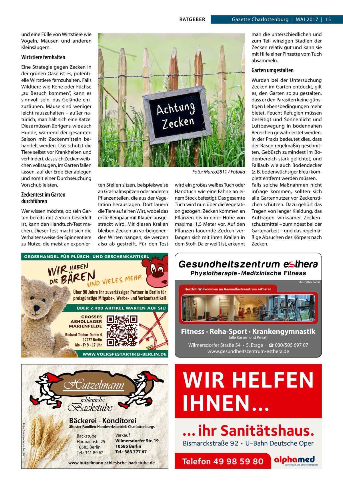 RATGEBER  Gazette Charlottenburg  |  Mai 2017  |  15  und eine Fülle von Wirtstiere wie Vögeln, Mäusen und anderen Kleinsäugern.  man die unterschiedlichen und zum Teil winzigen Stadien der Zecken relativ gut und kann sie mit Hilfe einer Pinzette vom Tuch absammeln.  Wirtstiere fernhalten Eine Strategie gegen Zecken in der grünen Oase ist es, potentielle Wirtstiere fernzuhalten. Falls Wildtiere wie Rehe oder Füchse „zu Besuch kommen“, kann es sinnvoll sein, das Gelände einzuzäunen. Mäuse sind weniger leicht rauszuhalten – außer natürlich, man hält sich eine Katze. Diese müssen übrigens, wie auch Hunde, während der gesamten Saison mit Zeckenmitteln behandelt werden. Das schützt die Tiere selbst vor Krankheiten und verhindert, dass sich Zeckenweibchen vollsaugen, im Garten fallen lassen, auf der Erde Eier ablegen und somit einer Durchseuchung Vorschub leisten.  Zeckentest im Garten durchführen Wer wissen möchte, ob sein Garten bereits mit Zecken besiedelt ist, kann den Handtuch-Test machen. Dieser Test macht sich die Verhaltensweise der Spinnentiere zu Nutze, die meist an exponier Garten umgestalten  �  Foto: Marco2811 / Fotolia  ten Stellen sitzen, beispielsweise an Grashalmspitzen oder anderen Pflanzenteilen, die aus der Vegetation herausragen. Dort lauern die Tiere auf einen Wirt, wobei das erste Beinpaar mit Klauen ausgestreckt wird. Mit diesen Krallen bleiben Zecken an vorbeigehenden Wirten hängen, sie werden also ab gestreift. Für den Test  wird ein großes weißes Tuch oder Handtuch wie eine Fahne an einem Stock befestigt. Das gesamte Tuch wird nun über die Vegetation gezogen. Zecken kommen an Pflanzen bis in einer Höhe von maximal 1,5 Meter vor. Auf den Pflanzen lauernde Zecken verfangen sich mit ihren Krallen in dem Stoff. Da er weiß ist, erkennt  Wurden bei der Untersuchung Zecken im Garten entdeckt, gilt es, den Garten so zu gestalten, dass er den Parasiten keine günstigen Lebensbedingungen mehr bietet. Feucht Refugien müssen beseitigt und Sonnenlicht und Luftbewegung in bodennahen Bereichen gewährleistet werden. In der Praxis bedeutet dies, dass der Rasen regelmäßig geschnitten, Gebüsch zumindest im Bodenbereich stark gelichtet, und Falllaub wie auch Bodendecker (z. B. bodenwüchsiger Efeu) komplett entfernt werden müssen. Falls solche Maßnahmen nicht infrage kommen, sollten sich alle Gartennutzer vor Zeckenstichen schützen. Dazu gehört das Tragen von langer Kleidung, das Auftragen wirksamer Zeckenschutzmittel – zumindest bei der Gartenarbeit – und das regelmäßige Absuchen des Körpers nach Zecken.  Ihn. Esther Kocsis  Fitness · Reha-Sport · Krankengymnastik (alle Kassen und Privat)  Wilmersdorfer Straße 54 · 5. Etage · ☎ 030/505 697 07 www.gesundheitszentrum-esthera.de  Foto: Constantinos / Fotolia  Bäckerei - Konditorei  ältester Familien-Handwerksbetrieb Charlottenburgs  Backstube Haubachstr. 25 10585 Berlin Tel.: 341 89 62  Verkauf Wilmersdorfer Str. 19 10585 Berlin Tel.: 383 777 67  www.hutzelmann-schlesische-backstube.de  WIR HELFEN IHNEN… … ihr Sanitätshaus. Bismarckstraße 92 • U-Bahn Deutsche Oper  Telefon 49 98 59 80