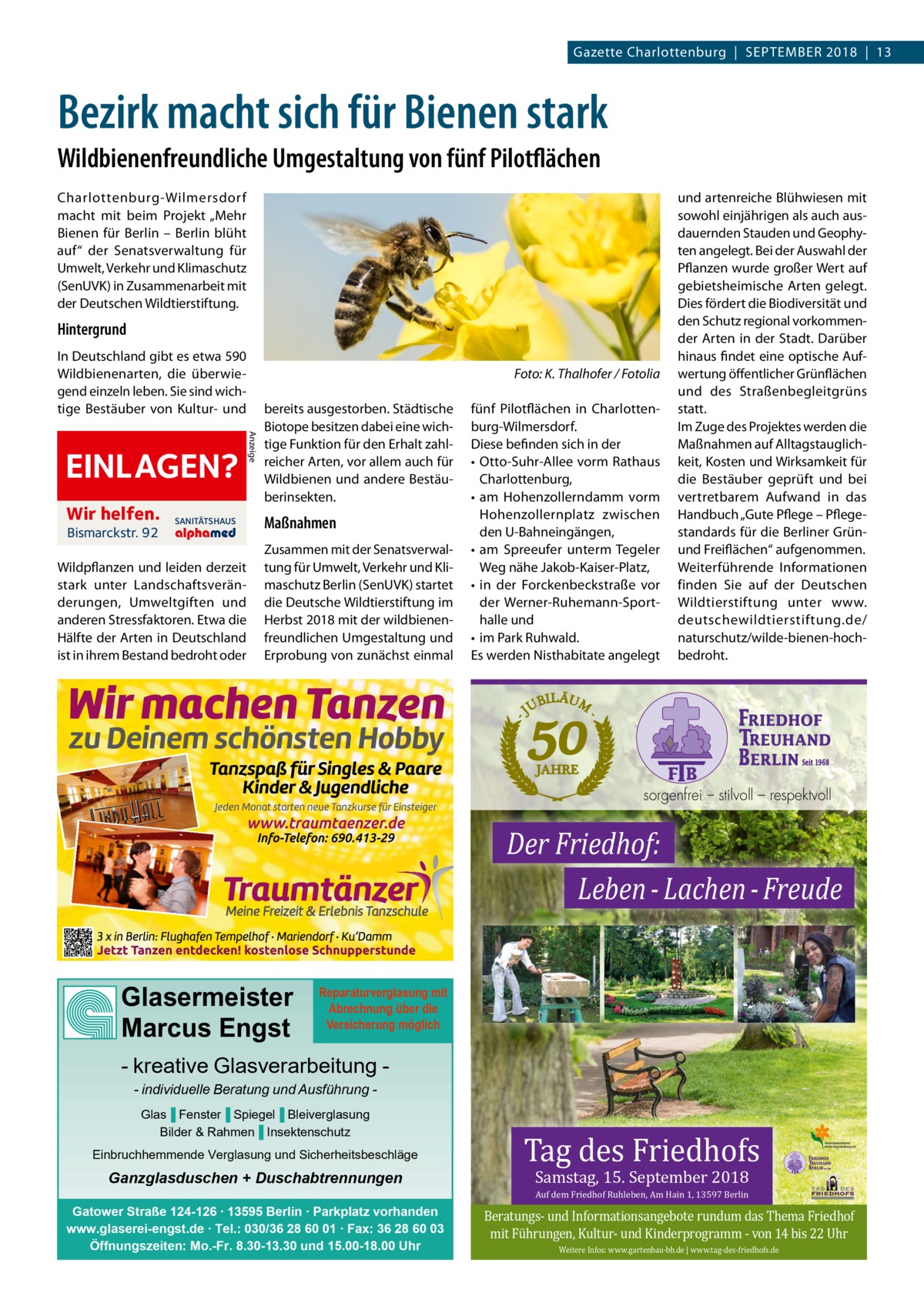 Gazette Charlottenburg  |  September 2018  |  13  Bezirk macht sich für Bienen stark Wildbienenfreundliche Umgestaltung von fünf Pilotflächen Charlottenburg-Wilmersdorf macht mit beim Projekt „Mehr Bienen für Berlin – Berlin blüht auf“ der Senatsverwaltung für Umwelt, Verkehr und Klimaschutz (SenUVK) in Zusammenarbeit mit der Deutschen Wildtierstiftung.  Hintergrund In Deutschland gibt es etwa 590 Wildbienenarten, die überwiegend einzeln leben. Sie sind wichtige Bestäuber von Kultur- und  Wir helfen. Bismarckstr. 92  SANITÄTSHAUS  Wildpflanzen und leiden derzeit stark unter Landschaftsveränderungen, Umweltgiften und anderen Stressfaktoren. Etwa die Hälfte der Arten in Deutschland ist in ihrem Bestand bedroht oder  Anzeige  EINLAGEN?  �  Foto: K. Thalhofer / Fotolia  bereits ausgestorben. Städtische Biotope besitzen dabei eine wichtige Funktion für den Erhalt zahlreicher Arten, vor allem auch für Wildbienen und andere Bestäuberinsekten.  Maßnahmen Zusammen mit der Senatsverwaltung für Umwelt, Verkehr und Klimaschutz Berlin (SenUVK) startet die Deutsche Wildtierstiftung im Herbst 2018 mit der wildbienenfreundlichen Umgestaltung und Erprobung von zunächst einmal  fünf Pilotflächen in Charlottenburg-Wilmersdorf. Diese befinden sich in der •	 Otto-Suhr-Allee vorm Rathaus Charlottenburg, •	 am Hohenzollerndamm vorm Hohenzollernplatz zwischen den U-Bahneingängen, •	 am Spreeufer unterm Tegeler Weg nähe Jakob-Kaiser-Platz, •	 in der Forckenbeckstraße vor der Werner-Ruhemann-Sporthalle und •	 im Park Ruhwald. Es werden Nisthabitate angelegt  und artenreiche Blühwiesen mit sowohl einjährigen als auch ausdauernden Stauden und Geophyten angelegt. Bei der Auswahl der Pflanzen wurde großer Wert auf gebietsheimische Arten gelegt. Dies fördert die Biodiversität und den Schutz regional vorkommender Arten in der Stadt. Darüber hinaus findet eine optische Aufwertung öffentlicher Grünflächen und des Straßenbegleitgrüns statt. Im Zuge des Projektes werden die Maßnahmen auf Alltagstauglichkeit, Kosten und Wirksamkeit für die Bestäuber geprüft und bei vertretbarem Aufwand in das Handbuch „Gute Pflege – Pflegestandards für die Berliner Grünund Freiflächen“ aufgenommen. Weiterführende Informationen finden Sie auf der Deutschen Wildtierstiftung unter www. deutschewildtierstiftung.de/ naturschutz/wilde-bienen-hochbedroht.  sorgenfrei – stilvoll – respektvoll  Der Friedhof: Leben - Lachen - Freude Glasermeister Marcus Engst  Reparaturverglasung mit Abrechnung über die Versicherung möglich  - kreative Glasverarbeitung - individuelle Beratung und Ausführung Glas▐ Fenster▐ Spiegel▐ Bleiverglasung Bilder & Rahmen▐ Insektenschutz Einbruchhemmende Verglasung und Sicherheitsbeschläge  Ganzglasduschen + Duschabtrennungen Gatower Straße 124-126 ∙ 13595 Berlin ∙ Parkplatz vorhanden www.glaserei-engst.de ∙ Tel.: 030/36 28 60 01 ∙ Fax: 36 28 60 03 Öffnungszeiten: Mo.-Fr. 8.30-13.30 und 15.00-18.00 Uhr  Tag des Friedhofs Samstag, 15. September 2018 Auf dem Friedhof Ruhleben, Am Hain 1, 13597 Berlin  Beratungs- und Informationsangebote rundum das Thema Friedhof mit Führungen, Kultur- und Kinderprogramm - von 14 bis 22 Uhr Weitere Infos: www.gartenbau-bb.de | www.tag-des-friedhofs.de