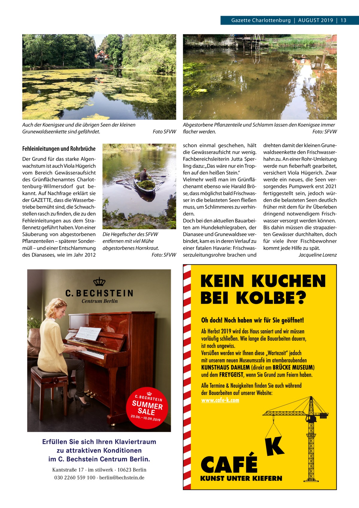 Gazette Charlottenburg  |  August 2019  |  13  Auch der Koenigsee und die übrigen Seen der kleinen Grunewaldseenkette sind gefährdet.�  Foto SFVW  Fehleinleitungen und Rohrbrüche Der Grund für das starke Algenwachstum ist auch Viola Hügerich vom Bereich Gewässeraufsicht des Grünflächenamtes Charlottenburg-Wilmersdorf gut bekannt. Auf Nachfrage erklärt sie der GAZETTE, dass die Wasserbetriebe bemüht sind, die Schwachstellen rasch zu finden, die zu den Fehleinleitungen aus dem Straßennetz geführt haben. Von einer Säuberung von abgestorbenen Pflanzenteilen – späterer Sondermüll – und einer Entschlammung des Dianasees, wie im Jahr 2012  Die Hegefischer des SFVW entfernen mit viel Mühe abgestorbenes Hornkraut. � Foto: SFVW  Centrum Berlin  SUMME SALE R 20.06.– 10.09.201 9  Erfüllen Sie sich Ihren Klaviertraum zu attraktiven Konditionen im C. Bechstein Centrum Berlin. Kantstraße 17 · im stilwerk · 10623 Berlin 030 2260 559 100 · berlin@bechstein.de  Abgestorbene Pflanzenteile und Schlamm lassen den Koenigsee immer flacher werden.� Foto: SFVW schon einmal geschehen, hält die Gewässeraufsicht nur wenig. Fachbereichsleiterin Jutta Sperling dazu: „Das wäre nur ein Tropfen auf den heißen Stein.“ Vielmehr weiß man im Grünflächenamt ebenso wie Harald Bröse, dass möglichst bald Frischwasser in die belasteten Seen fließen muss, um Schlimmeres zu verhindern. Doch bei den aktuellen Bauarbeiten am Hundekehlegraben, der Dianasee und Grunewaldsee verbindet, kam es in deren Verlauf zu einer fatalen Havarie: Frischwasserzuleitungsrohre brachen und  drehten damit der kleinen Grunewaldseenkette den Frischwasserhahn zu. An einer Rohr-Umleitung werde nun fieberhaft gearbeitet, versichert Viola Hügerich. Zwar werde ein neues, die Seen versorgendes Pumpwerk erst 2021 fertiggestellt sein, jedoch würden die belasteten Seen deutlich früher mit dem für ihr Überleben dringend notwendigem Frischwasser versorgt werden können. Bis dahin müssen die strapazierten Gewässer durchhalten, doch für viele ihrer Fischbewohner kommt jede Hilfe zu spät. � Jacqueline Lorenz