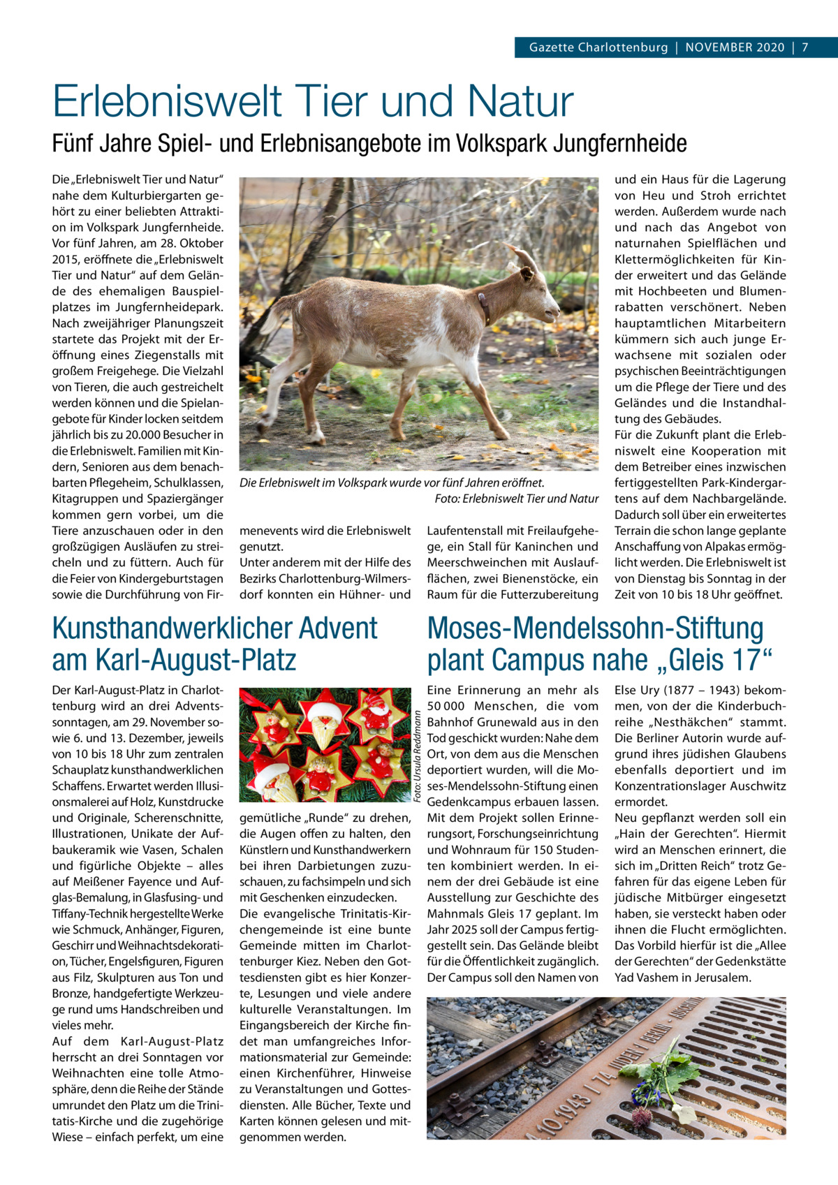 Gazette Charlottenburg  |  November 2020  |  7  Erlebniswelt Tier und Natur Fünf Jahre Spiel- und Erlebnisangebote im Volkspark Jungfernheide Die „Erlebniswelt Tier und Natur“ nahe dem Kulturbiergarten gehört zu einer beliebten Attraktion im Volkspark Jungfernheide. Vor fünf Jahren, am 28. Oktober 2015, eröffnete die „Erlebniswelt Tier und Natur“ auf dem Gelände des ehemaligen Bauspielplatzes im Jungfernheidepark. Nach zweijähriger Planungszeit startete das Projekt mit der Eröffnung eines Ziegenstalls mit großem Freigehege. Die Vielzahl von Tieren, die auch gestreichelt werden können und die Spielangebote für Kinder locken seitdem jährlich bis zu 20.000 Besucher in die Erlebniswelt. Familien mit Kindern, Senioren aus dem benachbarten Pflegeheim, Schulklassen, Kitagruppen und Spaziergänger kommen gern vorbei, um die Tiere anzuschauen oder in den großzügigen Ausläufen zu streicheln und zu füttern. Auch für die Feier von Kindergeburtstagen sowie die Durchführung von Fir Die Erlebniswelt im Volkspark wurde vor fünf Jahren eröffnet. � Foto: Erlebniswelt Tier und Natur menevents wird die Erlebniswelt genutzt. Unter anderem mit der Hilfe des Bezirks Charlottenburg-Wilmersdorf konnten ein Hühner- und  Laufentenstall mit Freilaufgehege, ein Stall für Kaninchen und Meerschweinchen mit Auslaufflächen, zwei Bienenstöcke, ein Raum für die Futterzubereitung  und ein Haus für die Lagerung von Heu und Stroh errichtet werden. Außerdem wurde nach und nach das Angebot von naturnahen Spielflächen und Klettermöglichkeiten für Kinder erweitert und das Gelände mit Hochbeeten und Blumenrabatten verschönert. Neben hauptamtlichen Mitarbeitern kümmern sich auch junge Erwachsene mit sozialen oder psychischen Beeinträchtigungen um die Pflege der Tiere und des Geländes und die Instandhaltung des Gebäudes. Für die Zukunft plant die Erlebniswelt eine Kooperation mit dem Betreiber eines inzwischen fertiggestellten Park-Kindergartens auf dem Nachbargelände. Dadurch soll über ein erweitertes Terrain die schon lange geplante Anschaffung von Alpakas ermöglicht werden. Die Erlebniswelt ist von Dienstag bis Sonntag in der Zeit von 10 bis 18 Uhr geöffnet.  Moses-Mendelssohn-Stiftung plant Campus nahe „Gleis 17“  Der Karl-August-Platz in Charlottenburg wird an drei Adventssonntagen, am 29. November sowie 6. und 13. Dezember, jeweils von 10 bis 18 Uhr zum zentralen Schauplatz kunsthandwerklichen Schaffens. Erwartet werden Illusionsmalerei auf Holz, Kunstdrucke und Originale, Scherenschnitte, Illustrationen, Unikate der Aufbaukeramik wie Vasen, Schalen und figürliche Objekte – alles auf Meißener Fayence und Aufglas-Bemalung, in Glasfusing- und Tiffany-Technik hergestellte Werke wie Schmuck, Anhänger, Figuren, Geschirr und Weihnachtsdekoration, Tücher, Engelsfiguren, Figuren aus Filz, Skulpturen aus Ton und Bronze, handgefertigte Werkzeuge rund ums Handschreiben und vieles mehr. Auf dem Karl-August-Platz herrscht an drei Sonntagen vor Weihnachten eine tolle Atmosphäre, denn die Reihe der Stände umrundet den Platz um die Trinitatis-Kirche und die zugehörige Wiese – einfach perfekt, um eine  Eine Erinnerung an mehr als 50 000 Menschen, die vom Bahnhof Grunewald aus in den Tod geschickt wurden: Nahe dem Ort, von dem aus die Menschen deportiert wurden, will die Moses-Mendelssohn-Stiftung einen Gedenkcampus erbauen lassen. Mit dem Projekt sollen Erinnerungsort, Forschungseinrichtung und Wohnraum für 150 Studenten kombiniert werden. In einem der drei Gebäude ist eine Ausstellung zur Geschichte des Mahnmals Gleis 17 geplant. Im Jahr 2025 soll der Campus fertiggestellt sein. Das Gelände bleibt für die Öffentlichkeit zugänglich. Der Campus soll den Namen von  Foto: Ursula Reddmann  Kunsthandwerklicher Advent am Karl-August-Platz  gemütliche „Runde“ zu drehen, die Augen offen zu halten, den Künstlern und Kunsthandwerkern bei ihren Darbietungen zuzuschauen, zu fachsimpeln und sich mit Geschenken einzudecken. Die evangelische Trinitatis-Kirchengemeinde ist eine bunte Gemeinde mitten im Charlottenburger Kiez. Neben den Gottesdiensten gibt es hier Konzerte, Lesungen und viele andere kulturelle Veranstaltungen. Im Eingangsbereich der Kirche findet man umfangreiches Informationsmaterial zur Gemeinde: einen Kirchenführer, Hinweise zu Veranstaltungen und Gottesdiensten. Alle Bücher, Texte und Karten können gelesen und mitgenommen werden.  Else Ury (1877 – 1943) bekommen, von der die Kinderbuchreihe „Nesthäkchen“ stammt. Die Berliner Autorin wurde aufgrund ihres jüdishen Glaubens ebenfalls deportiert und im Konzentrationslager Auschwitz ermordet. Neu gepflanzt werden soll ein „Hain der Gerechten“. Hiermit wird an Menschen erinnert, die sich im „Dritten Reich“ trotz Gefahren für das eigene Leben für jüdische Mitbürger eingesetzt haben, sie versteckt haben oder ihnen die Flucht ermöglichten. Das Vorbild hierfür ist die „Allee der Gerechten“ der Gedenkstätte Yad Vashem in Jerusalem.