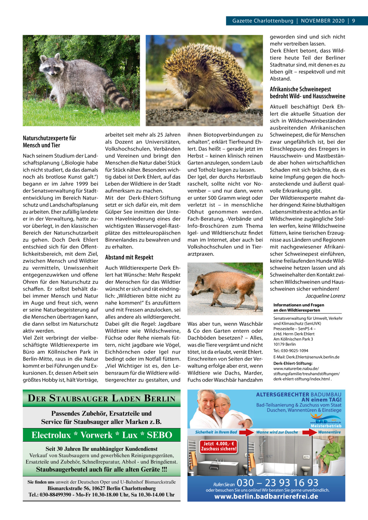 Gazette Charlottenburg  |  NOvEMbER 2020  |  9 geworden sind und sich nicht mehr vertreiben lassen. Derk Ehlert betont, dass Wildtiere heute Teil der berliner Stadtnatur sind, mit denen es zu leben gilt – respektvoll und mit Abstand.  Afrikanische Schweinepest bedroht Wild- und Hausschweine  Naturschutzexperte für Mensch und Tier Nach seinem Studium der Landschaftsplanung („biologie habe ich nicht studiert, da das damals noch als brotlose Kunst galt.“) begann er im Jahre 1999 bei der Senatsverwaltung für Stadtentwicklung im bereich Naturschutz und Landschaftsplanung zu arbeiten. Eher zufällig landete er in der verwaltung, hatte zuvor überlegt, in den klassischen bereich der Naturschutzarbeit zu gehen. Doch Derk Ehlert entschied sich für den Öffentlichkeitsbereich, mit dem Ziel, zwischen Mensch und Wildtier zu vermitteln, Unwissenheit entgegenzuwirken und offene Ohren für den Naturschutz zu schaffen. Er selbst behält dabei immer Mensch und Natur im Auge und freut sich, wenn er seine Naturbegeisterung auf die Menschen übertragen kann, die dann selbst im Naturschutz aktiv werden. viel Zeit verbringt der vielbeschäftigte Wildtierexperte im büro am Köllnischen Park in berlin-Mitte, raus in die Natur kommt er bei Führungen und Exkursionen. Er, dessen Arbeit sein größtes Hobby ist, hält vorträge,  arbeitet seit mehr als 25 Jahren als Dozent an Universitäten, volkshochschulen, verbänden und vereinen und bringt den Menschen die Natur dabei Stück für Stück näher. besonders wichtig dabei ist Derk Ehlert, auf das Leben der Wildtiere in der Stadt aufmerksam zu machen. Mit der Derk-Ehlert-Stiftung setzt er sich dafür ein, mit dem Gülper See inmitten der Unteren Havelniederung eines der wichtigsten Wasservogel-Rastplätze des mitteleuropäischen binnenlandes zu bewahren und zu erhalten.  Abstand mit Respekt Auch Wildtierexperte Derk Ehlert hat Wünsche: Mehr Respekt der Menschen für das Wildtier wünscht er sich und rät eindringlich: „Wildtieren bitte nicht zu nahe kommen!“ Es anzufüttern und mit Fressen anzulocken, sei alles andere als wildtiergerecht. Dabei gilt die Regel: Jagdbare Wildtiere wie Wildschweine, Füchse oder Rehe niemals füttern, nicht jagdbare wie vögel, Eichhörnchen oder Igel nur bedingt oder im Notfall füttern. „viel Wichtiger ist es, den Lebensraum für die Wildtiere wildtiergerechter zu gestalten, und  D ER S TAUBSAUGER L ADEN B ERLIN Passendes Zubehör, Ersatzteile und Service für Staubsauger aller Marken z.B.  Electrolux * Vorwerk * Lux * SEBO Seit 30 Jahren Ihr unabhängiger Kundendienst Verkauf von Staubsaugern und gewerblichen Reinigungsgeräten, Ersatzteile und Zubehör, Schnellreparatur, Abhol - und Bringdienst.  Staubsaugerbeutel auch für alle alten Geräte !!! Sie finden uns unweit der Deutschen Oper und U-Bahnhof Bismarckstraße  Bismarckstraße 56, 10627 Berlin Charlottenburg Tel.: 030-88499390 - Mo-Fr 10.30-18.00 Uhr, Sa 10.30-14.00 Uhr  ihnen biotopverbindungen zu erhalten“, erklärt Tierfreund Ehlert. Das heißt – gerade jetzt im Herbst – keinen klinisch reinen Garten anzulegen, sondern Laub und Totholz liegen zu lassen. Der Igel, der durchs Herbstlaub raschelt, sollte nicht vor November – und nur dann, wenn er unter 500 Gramm wiegt oder verletzt ist – in menschliche Obhut genommen werden. Fach-beratung, -verbände und Info-broschüren zum Thema Igel- und Wildtierschutz findet man im Internet, aber auch bei volkshochschulen und in Tierarztpraxen.  Aktuell beschäftigt Derk Ehlert die aktuelle Situation der sich in Wildschweinbeständen ausbreitenden Afrikanischen Schweinepest, die für Menschen zwar ungefährlich ist, bei der Einschleppung des Erregers in Hausschwein- und Mastbestände aber hohen wirtschaftlichen Schaden mit sich brächte, da es keine Impfung gegen die hochansteckende und äußerst qualvolle Erkrankung gibt. Der Wildtierexperte mahnt daher dringend: Keine bluthaltigen Lebensmittelreste achtlos an für Wildschweine zugängliche Stellen werfen, keine Wildschweine füttern, keine tierischen Erzeugnisse aus Ländern und Regionen mit nachgewiesener Afrikanischer Schweinepest einführen, keine freilaufenden Hunde Wildschweine hetzen lassen und als Schweinehalter den Kontakt zwischen Wildschweinen und Hausschweinen sicher verhindern! Jacqueline Lorenz Informationen und Fragen an den Wildtierexperten  Was aber tun, wenn Waschbär & Co den Garten entern oder Dachböden besetzen? – Alles, was die Tiere vergrämt und nicht tötet, ist da erlaubt, verrät Ehlert. Einschreiten von Seiten der verwaltung erfolge aber erst, wenn Wildtiere wie Dachs, Marder, Fuchs oder Waschbär handzahm  Senatsverwaltung für Umwelt, verkehr und Klimaschutz (SenUvK) Pressestelle – SenPS 4 – z.Hd. Herrn Derk Ehlert Am Köllnischen Park 3 10179 berlin Tel.: 030-9025-1094 E-Mail: Derk.Ehlert@senuvk.berlin.de Derk-Ehlert-Stiftung: www.naturerbe.nabu.de/ stiftungsfamilie/treuhandstiftungen/ derk-ehlert-stiftung/index.html .