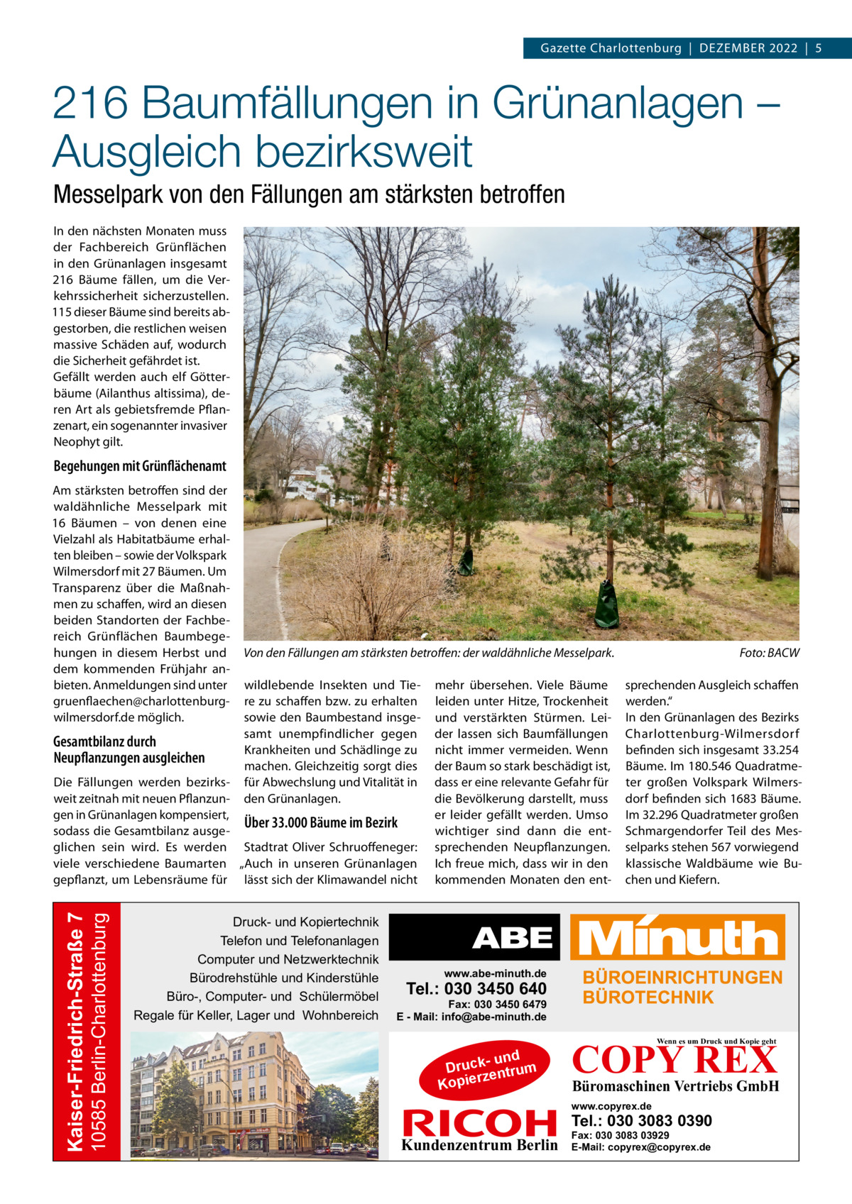 Gazette Charlottenburg  |  Dezember 2022  |  5  216 Baumfällungen in Grünanlagen – Ausgleich bezirksweit Messelpark von den Fällungen am stärksten betroffen In den nächsten Monaten muss der Fachbereich Grünflächen in den Grünanlagen insgesamt 216  Bäume fällen, um die Verkehrssicherheit sicherzustellen. 115 dieser Bäume sind bereits abgestorben, die restlichen weisen massive Schäden auf, wodurch die Sicherheit gefährdet ist. Gefällt werden auch elf Götterbäume (Ailanthus altissima), deren Art als gebietsfremde Pflanzenart, ein sogenannter invasiver Neophyt gilt.  Begehungen mit Grünflächenamt Am stärksten betroffen sind der waldähnliche Messelpark mit 16  Bäumen – von denen eine Vielzahl als Habitatbäume erhalten bleiben – sowie der Volkspark Wilmersdorf mit 27 Bäumen. Um Transparenz über die Maßnahmen zu schaffen, wird an diesen beiden Standorten der Fachbereich Grünflächen Baumbegehungen in diesem Herbst und dem kommenden Frühjahr anbieten. Anmeldungen sind unter gruenflaechen@charlottenburgwilmersdorf.de möglich.  Gesamtbilanz durch Neupflanzungen ausgleichen  Von den Fällungen am stärksten betroffen: der waldähnliche Messelpark.� wildlebende Insekten und Tiere zu schaffen bzw. zu erhalten sowie den Baumbestand insgesamt unempfindlicher gegen Krankheiten und Schädlinge zu machen. Gleichzeitig sorgt dies für Abwechslung und Vitalität in den Grünanlagen.  10585 Berlin-Charlottenburg  Kaiser-Friedrich-Straße 7  Die Fällungen werden bezirksweit zeitnah mit neuen Pflanzungen in Grünanlagen kompensiert, Über 33.000 Bäume im Bezirk sodass die Gesamtbilanz ausgeglichen sein wird. Es werden Stadtrat Oliver Schruoffeneger: viele verschiedene Baumarten „Auch in unseren Grünanlagen gepflanzt, um Lebensräume für lässt sich der Klimawandel nicht  Druck- und Kopiertechnik Telefon und Telefonanlagen Computer und Netzwerktechnik Bürodrehstühle und Kinderstühle Büro-, Computer- und Schülermöbel Regale für Keller, Lager und Wohnbereich  mehr übersehen. Viele Bäume leiden unter Hitze, Trockenheit und verstärkten Stürmen. Leider lassen sich Baumfällungen nicht immer vermeiden. Wenn der Baum so stark beschädigt ist, dass er eine relevante Gefahr für die Bevölkerung darstellt, muss er leider gefällt werden. Umso wichtiger sind dann die entsprechenden Neupflanzungen. Ich freue mich, dass wir in den kommenden Monaten den ent Foto: BACW sprechenden Ausgleich schaffen werden.“ In den Grünanlagen des Bezirks Charlottenburg-Wilmersdorf befinden sich insgesamt 33.254 Bäume. Im 180.546 Quadratmeter großen Volkspark Wilmersdorf befinden sich 1683 Bäume. Im 32.296 Quadratmeter großen Schmargendorfer Teil des Messelparks stehen 567 vorwiegend klassische Waldbäume wie Buchen und Kiefern.  www.abe-minuth.de  Tel.: 030 3450 640  Fax: 030 3450 6479 E - Mail: info@abe-minuth.de  COPY REX Wenn es um Druck und Kopie geht  - und Druck entrum rz Kopie  Büromaschinen Vertriebs GmbH  www.copyrex.de  Tel.: 030 3083 0390  Kundenzentrum Berlin  Fax: 030 3083 03929 E-Mail: copyrex@copyrex.de