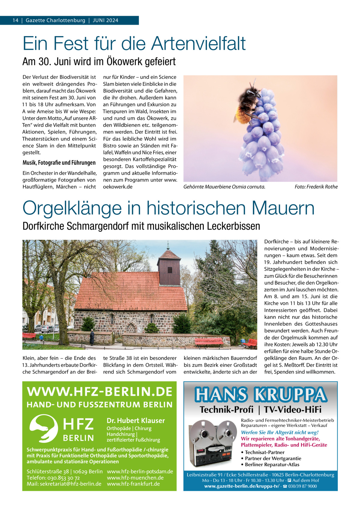 14  |  Gazette Charlottenburg  |  Juni 2024  Ein Fest für die Artenvielfalt Am 30. Juni wird im Ökowerk gefeiert Der Verlust der Biodiversität ist ein weltweit drängendes Problem, darauf macht das Ökowerk mit seinem Fest am 30. Juni von 11 bis 18 Uhr aufmerksam. Von A wie Ameise bis W wie Wespe: Unter dem Motto „Auf unsere ARTen“ wird die Vielfalt mit bunten Aktionen, Spielen, Führungen, Theaterstücken und einem Science Slam in den Mittelpunkt gestellt.  Musik, Fotografie und Führungen Ein Orchester in der Wandelhalle, großformatige Fotografien von Hautflüglern, Märchen – nicht  nur für Kinder – und ein Science Slam bieten viele Einblicke in die Biodiversität und die Gefahren, die ihr drohen. Außerdem kann an Führungen und Exkursion zu Tierspuren im Wald, Insekten im und rund um das Ökowerk, zu den Wildbienen etc. teilgenommen werden. Der Eintritt ist frei. Für das leibliche Wohl wird im Bistro sowie an Ständen mit Falafel, Waffeln und Nice Fries, einer besonderen Kartoffelspezialität gesorgt. Das vollständige Programm und aktuelle Informationen zum Programm unter www. oekowerk.de  Gehörnte Mauerbiene Osmia cornuta.�  Foto: Frederik Rothe  Orgelklänge in historischen Mauern Dorfkirche Schmargendorf mit musikalischen Leckerbissen  Klein, aber fein – die Ende des 13. Jahrhunderts erbaute Dorfkirche Schmargendorf an der Brei te Straße 38 ist ein besonderer Blickfang in dem Ortsteil. Während sich Schmargendorf vom  kleinen märkischen Bauerndorf bis zum Bezirk einer Großstadt entwickelte, änderte sich an der  Dorfkirche – bis auf kleinere Renovierungen und Modernisierungen – kaum etwas. Seit dem 19.  Jahrhundert befinden sich Sitzgelegenheiten in der Kirche – zum Glück für die Besucherinnen und Besucher, die den Orgelkonzerten im Juni lauschen möchten. Am 8. und am 15.  Juni ist die Kirche von 11 bis 13 Uhr für alle Interessierten geöffnet. Dabei kann nicht nur das historische Innenleben des Gotteshauses bewundert werden. Auch Freunde der Orgelmusik kommen auf ihre Kosten: Jeweils ab 12.30 Uhr erfüllen für eine halbe Stunde Orgelklänge den Raum. An der Orgel ist S. Meßtorff. Der Eintritt ist frei, Spenden sind willkommen.  HANS KRUPPA Dr. Hubert Klauser Orthopäde | Chirurg Handchirurg | zertifizierter Fußchirurg  Schwerpunktpraxis für Hand- und Fußorthopädie /-chirurgie mit Praxis für Funktionelle Orthopädie und Sportorthopädie, ambulante und stationäre Operationen  Schlüterstraße 38 | 10629 Berlin www.hfz-berlin-potsdam.de Telefon: 030.853 30 72 www.hfz-muenchen.de Mail: sekretariat@hfz-berlin.de www.hfz-frankfurt.de  Technik-Profi | TV-Video-HiFi  Radio- und Fernsehtechniker-Meisterbetrieb Reparaturen – eigene Werkstatt – Verkauf  Werfen Sie Ihr Altgerät nicht weg! Wir reparieren alte Tonbandgeräte, Plattenspieler, Radio- und HiFi-Geräte • Technisat-Partner • Partner der Wertgarantie • Berliner Reparatur-Atlas Leibnizstraße 91 / Ecke Schillerstraße · 10625 Berlin-Charlottenburg Mo - Do 13 - 18 Uhr · Fr 10.30 - 13.30 Uhr · � Auf dem Hof www.gazette-berlin.de/kruppa-tv/ · ☎ 030/39 87 9000