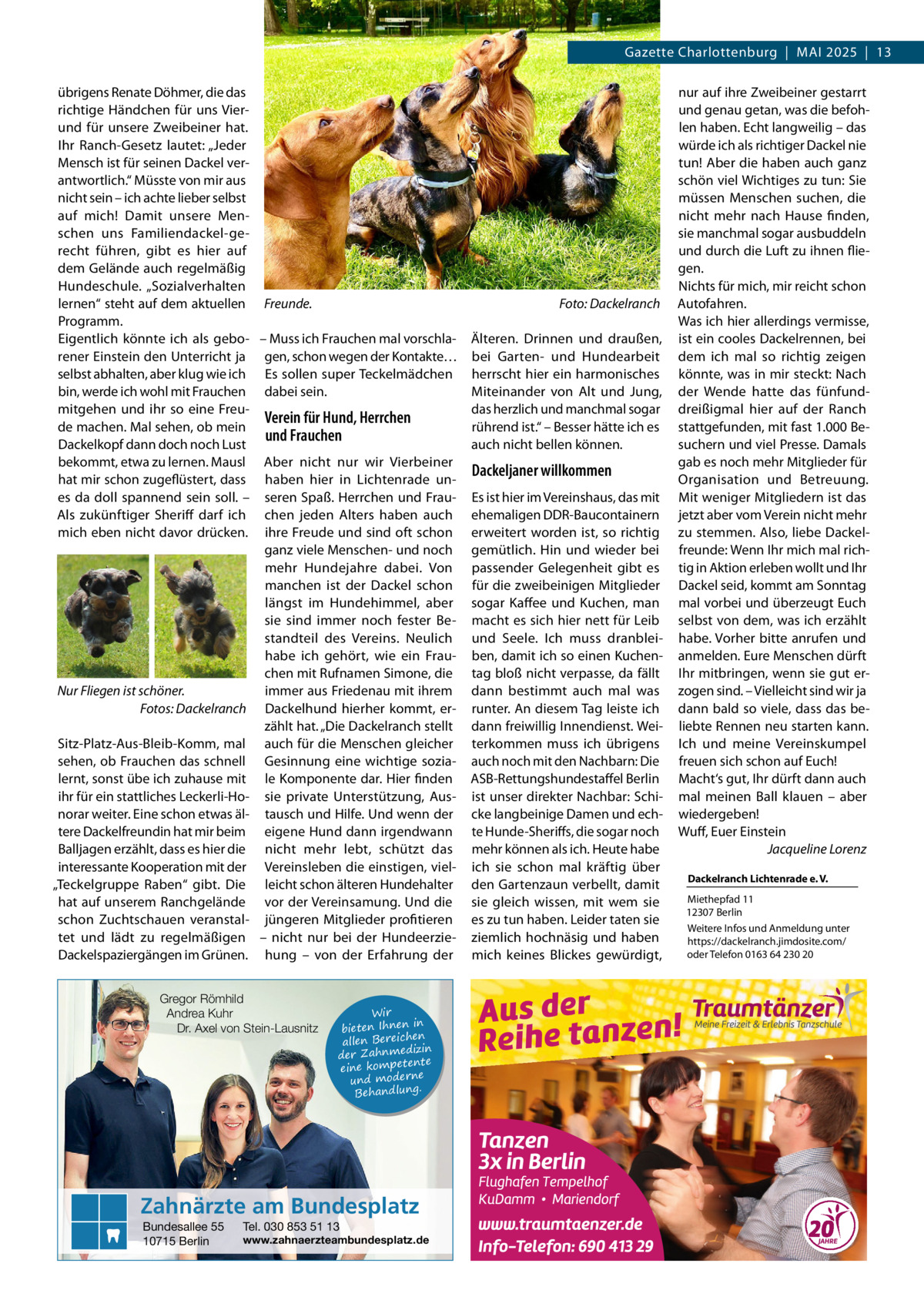 Gazette Charlottenburg  |  Mai 2025  |  13 übrigens Renate Döhmer, die das richtige Händchen für uns Vierund für unsere Zweibeiner hat. Ihr Ranch-Gesetz lautet: „Jeder Mensch ist für seinen Dackel verantwortlich.“ Müsste von mir aus nicht sein – ich achte lieber selbst auf mich! Damit unsere Menschen uns Familiendackel-gerecht führen, gibt es hier auf dem Gelände auch regelmäßig Hundeschule. „Sozialverhalten lernen“ steht auf dem aktuellen Freunde. � Foto: Dackelranch Programm. Eigentlich könnte ich als gebo- – Muss ich Frauchen mal vorschla- Älteren. Drinnen und draußen, rener Einstein den Unterricht ja gen, schon wegen der Kontakte… bei Garten- und Hundearbeit selbst abhalten, aber klug wie ich Es sollen super Teckelmädchen herrscht hier ein harmonisches bin, werde ich wohl mit Frauchen dabei sein. Miteinander von Alt und Jung, mitgehen und ihr so eine Freudas herzlich und manchmal sogar Verein für Hund, Herrchen de machen. Mal sehen, ob mein rührend ist.“ – Besser hätte ich es und Frauchen Dackelkopf dann doch noch Lust auch nicht bellen können. bekommt, etwa zu lernen. Mausl Aber nicht nur wir Vierbeiner Dackeljaner willkommen hat mir schon zugeflüstert, dass haben hier in Lichtenrade unes da doll spannend sein soll. – seren Spaß. Herrchen und Frau- Es ist hier im Vereinshaus, das mit Als zukünftiger Sheriff darf ich chen jeden Alters haben auch ehemaligen DDR-Baucontainern mich eben nicht davor drücken. ihre Freude und sind oft schon erweitert worden ist, so richtig ganz viele Menschen- und noch gemütlich. Hin und wieder bei mehr Hundejahre dabei. Von passender Gelegenheit gibt es manchen ist der Dackel schon für die zweibeinigen Mitglieder längst im Hundehimmel, aber sogar Kaffee und Kuchen, man sie sind immer noch fester Be- macht es sich hier nett für Leib standteil des Vereins. Neulich und Seele. Ich muss dranbleihabe ich gehört, wie ein Frau- ben, damit ich so einen Kuchenchen mit Rufnamen Simone, die tag bloß nicht verpasse, da fällt immer aus Friedenau mit ihrem dann bestimmt auch mal was Nur Fliegen ist schöner. � Fotos: Dackelranch Dackelhund hierher kommt, er- runter. An diesem Tag leiste ich zählt hat. „Die Dackelranch stellt dann freiwillig Innendienst. WeiSitz-Platz-Aus-Bleib-Komm, mal auch für die Menschen gleicher terkommen muss ich übrigens sehen, ob Frauchen das schnell Gesinnung eine wichtige sozia- auch noch mit den Nachbarn: Die lernt, sonst übe ich zuhause mit le Komponente dar. Hier finden ASB-Rettungshundestaffel Berlin ihr für ein stattliches Leckerli-Ho- sie private Unterstützung, Aus- ist unser direkter Nachbar: Schinorar weiter. Eine schon etwas äl- tausch und Hilfe. Und wenn der cke langbeinige Damen und echtere Dackelfreundin hat mir beim eigene Hund dann irgendwann te Hunde-Sheriffs, die sogar noch Balljagen erzählt, dass es hier die nicht mehr lebt, schützt das mehr können als ich. Heute habe interessante Kooperation mit der Vereinsleben die einstigen, viel- ich sie schon mal kräftig über „Teckelgruppe Raben“ gibt. Die leicht schon älteren Hundehalter den Gartenzaun verbellt, damit hat auf unserem Ranchgelände vor der Vereinsamung. Und die sie gleich wissen, mit wem sie schon Zuchtschauen veranstal- jüngeren Mitglieder profitieren es zu tun haben. Leider taten sie tet und lädt zu regelmäßigen – nicht nur bei der Hundeerzie- ziemlich hochnäsig und haben Dackelspaziergängen im Grünen. hung – von der Erfahrung der mich keines Blickes gewürdigt, Gregor Römhild Andrea Kuhr Dr. Axel von Stein-Lausnitz  Wir in bieten Ihnen en allen Bereich izin der Zahnmed nte eine kompete und moderne . Behandlung  Zahnärzte am Bundesplatz Bundesallee 55 10715 Berlin  Tel. 030 853 51 13  www.zahnaerzteambundesplatz.de  nur auf ihre Zweibeiner gestarrt und genau getan, was die befohlen haben. Echt langweilig – das würde ich als richtiger Dackel nie tun! Aber die haben auch ganz schön viel Wichtiges zu tun: Sie müssen Menschen suchen, die nicht mehr nach Hause finden, sie manchmal sogar ausbuddeln und durch die Luft zu ihnen fliegen. Nichts für mich, mir reicht schon Autofahren. Was ich hier allerdings vermisse, ist ein cooles Dackelrennen, bei dem ich mal so richtig zeigen könnte, was in mir steckt: Nach der Wende hatte das fünfunddreißigmal hier auf der Ranch stattgefunden, mit fast 1.000 Besuchern und viel Presse. Damals gab es noch mehr Mitglieder für Organisation und Betreuung. Mit weniger Mitgliedern ist das jetzt aber vom Verein nicht mehr zu stemmen. Also, liebe Dackelfreunde: Wenn Ihr mich mal richtig in Aktion erleben wollt und Ihr Dackel seid, kommt am Sonntag mal vorbei und überzeugt Euch selbst von dem, was ich erzählt habe. Vorher bitte anrufen und anmelden. Eure Menschen dürft Ihr mitbringen, wenn sie gut erzogen sind. – Vielleicht sind wir ja dann bald so viele, dass das beliebte Rennen neu starten kann. Ich und meine Vereinskumpel freuen sich schon auf Euch! Macht‘s gut, Ihr dürft dann auch mal meinen Ball klauen – aber wiedergeben! Wuff, Euer Einstein � Jacqueline Lorenz Dackelranch Lichtenrade e. V. Miethepfad 11 12307 Berlin Weitere Infos und Anmeldung unter https://dackelranch.jimdosite.com/ oder Telefon 0163 64 230 20