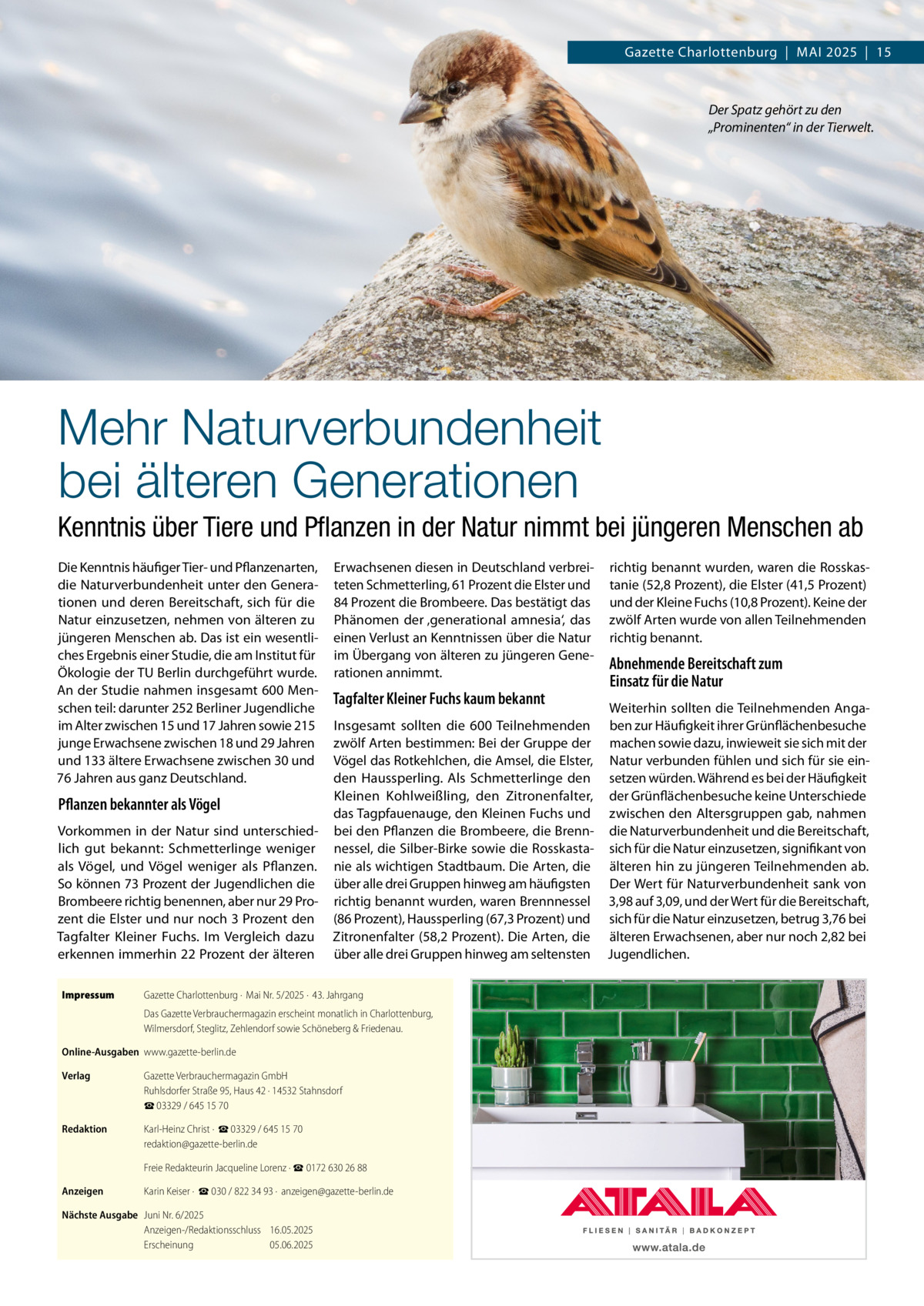 RATGEBER  Gazette Charlottenburg  |  Mai 2025  |  15  Der Spatz gehört zu den „Prominenten“ in der Tierwelt.  Mehr Naturverbundenheit bei älteren Generationen Kenntnis über Tiere und Pflanzen in der Natur nimmt bei jüngeren Menschen ab Die Kenntnis häufiger Tier- und Pflanzenarten, die Naturverbundenheit unter den Generationen und deren Bereitschaft, sich für die Natur einzusetzen, nehmen von älteren zu jüngeren Menschen ab. Das ist ein wesentliches Ergebnis einer Studie, die am Institut für Ökologie der TU Berlin durchgeführt wurde. An der Studie nahmen insgesamt 600 Menschen teil: darunter 252 Berliner Jugendliche im Alter zwischen 15 und 17 Jahren sowie 215 junge Erwachsene zwischen 18 und 29 Jahren und 133 ältere Erwachsene zwischen 30 und 76 Jahren aus ganz Deutschland.  Pflanzen bekannter als Vögel Vorkommen in der Natur sind unterschiedlich gut bekannt: Schmetterlinge weniger als Vögel, und Vögel weniger als Pflanzen. So können 73 Prozent der Jugendlichen die Brombeere richtig benennen, aber nur 29 Prozent die Elster und nur noch 3 Prozent den Tagfalter Kleiner Fuchs. Im Vergleich dazu erkennen immerhin 22 Prozent der älteren Impressum	  Erwachsenen diesen in Deutschland verbreiteten Schmetterling, 61 Prozent die Elster und 84 Prozent die Brombeere. Das bestätigt das Phänomen der ‚generational amnesia‘, das einen Verlust an Kenntnissen über die Natur im Übergang von älteren zu jüngeren Generationen annimmt.  Tagfalter Kleiner Fuchs kaum bekannt  Abnehmende Bereitschaft zum Einsatz für die Natur  Weiterhin sollten die Teilnehmenden AngaInsgesamt sollten die 600 Teilnehmenden ben zur Häufigkeit ihrer Grünflächenbesuche zwölf Arten bestimmen: Bei der Gruppe der machen sowie dazu, inwieweit sie sich mit der Vögel das Rotkehlchen, die Amsel, die Elster, Natur verbunden fühlen und sich für sie einden Haussperling. Als Schmetterlinge den setzen würden. Während es bei der Häufigkeit Kleinen Kohlweißling, den Zitronenfalter, der Grünflächenbesuche keine Unterschiede das Tagpfauenauge, den Kleinen Fuchs und zwischen den Altersgruppen gab, nahmen bei den Pflanzen die Brombeere, die Brenn- die Naturverbundenheit und die Bereitschaft, nessel, die Silber-Birke sowie die Rosskasta- sich für die Natur einzusetzen, signifikant von nie als wichtigen Stadtbaum. Die Arten, die älteren hin zu jüngeren Teilnehmenden ab. über alle drei Gruppen hinweg am häufigsten Der Wert für Naturverbundenheit sank von richtig benannt wurden, waren Brennnessel 3,98 auf 3,09, und der Wert für die Bereitschaft, (86 Prozent), Haussperling (67,3 Prozent) und sich für die Natur einzusetzen, betrug 3,76 bei Zitronenfalter (58,2 Prozent). Die Arten, die älteren Erwachsenen, aber nur noch 2,82 bei über alle drei Gruppen hinweg am seltensten Jugendlichen.  Gazette Charlottenburg ·  Mai Nr. 5/2025 ·  43. Jahrgang Das Gazette Verbrauchermagazin erscheint monatlich in Charlottenburg, Wilmersdorf, Steglitz, Zehlendorf sowie Schöneberg & Friedenau.  Online-Ausgaben	www.gazette-berlin.de Verlag	  Gazette Verbrauchermagazin GmbH Ruhlsdorfer Straße 95, Haus 42 · 14532 Stahnsdorf ☎ 03329 / 645 15 70  Redaktion	  Karl-Heinz Christ ·  ☎ 03329 / 645 15 70 redaktion@gazette-berlin.de  	  Freie Redakteurin Jacqueline Lorenz · ☎ 0172 630 26 88  Anzeigen	  Karin Keiser ·  ☎ 030 / 822 34 93 ·  anzeigen@gazette-berlin.de  Nächste Ausgabe	 Juni Nr. 6/2025 Anzeigen-/Redaktionsschluss	16.05.2025 Erscheinung	05.06.2025  richtig benannt wurden, waren die Rosskastanie (52,8 Prozent), die Elster (41,5 Prozent) und der Kleine Fuchs (10,8 Prozent). Keine der zwölf Arten wurde von allen Teilnehmenden richtig benannt.