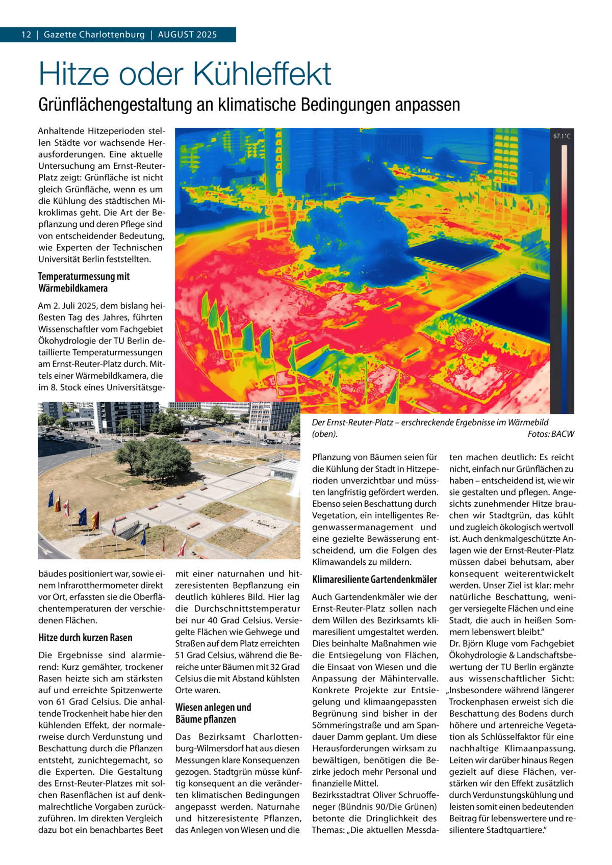 12  |  Gazette Charlottenburg  |  August 2025  Hitze oder Kühleffekt Grünflächengestaltung an klimatische Bedingungen anpassen Anhaltende Hitzeperioden stellen Städte vor wachsende Herausforderungen. Eine aktuelle Untersuchung am Ernst-ReuterPlatz zeigt: Grünfläche ist nicht gleich Grünfläche, wenn es um die Kühlung des städtischen Mikroklimas geht. Die Art der Bepflanzung und deren Pflege sind von entscheidender Bedeutung, wie Experten der Technischen Universität Berlin feststellten.  Temperaturmessung mit Wärmebildkamera Am 2. Juli 2025, dem bislang heißesten Tag des Jahres, führten Wissenschaftler vom Fachgebiet Ökohydrologie der TU Berlin detaillierte Temperaturmessungen am Ernst-Reuter-Platz durch. Mittels einer Wärmebildkamera, die im 8. Stock eines Universitätsge Der Ernst-Reuter-Platz – erschreckende Ergebnisse im Wärmebild (oben).� Fotos: BACW Pflanzung von Bäumen seien für die Kühlung der Stadt in Hitzeperioden unverzichtbar und müssten langfristig gefördert werden. Ebenso seien Beschattung durch Vegetation, ein intelligentes Regenwassermanagement und eine gezielte Bewässerung entscheidend, um die Folgen des Klimawandels zu mildern. bäudes positioniert war, sowie einem Infrarotthermometer direkt vor Ort, erfassten sie die Oberflächentemperaturen der verschiedenen Flächen.  Hitze durch kurzen Rasen Die Ergebnisse sind alarmierend: Kurz gemähter, trockener Rasen heizte sich am stärksten auf und erreichte Spitzenwerte von 61  Grad Celsius. Die anhaltende Trockenheit habe hier den kühlenden Effekt, der normalerweise durch Verdunstung und Beschattung durch die Pflanzen entsteht, zunichtegemacht, so die Experten. Die Gestaltung des Ernst-Reuter-Platzes mit solchen Rasenflächen ist auf denkmalrechtliche Vorgaben zurückzuführen. Im direkten Vergleich dazu bot ein benachbartes Beet  mit einer naturnahen und hitzeresistenten Bepflanzung ein deutlich kühleres Bild. Hier lag die Durchschnittstemperatur bei nur 40  Grad Celsius. Versiegelte Flächen wie Gehwege und Straßen auf dem Platz erreichten 51 Grad Celsius, während die Bereiche unter Bäumen mit 32 Grad Celsius die mit Abstand kühlsten Orte waren.  Wiesen anlegen und Bäume pflanzen Das Bezirksamt Charlottenburg-Wilmersdorf hat aus diesen Messungen klare Konsequenzen gezogen. Stadtgrün müsse künftig konsequent an die veränderten klimatischen Bedingungen angepasst werden. Naturnahe und hitzeresistente Pflanzen, das Anlegen von Wiesen und die  Klimaresiliente Gartendenkmäler Auch Gartendenkmäler wie der Ernst-Reuter-Platz sollen nach dem Willen des Bezirksamts klimaresilient umgestaltet werden. Dies beinhalte Maßnahmen wie die Entsiegelung von Flächen, die Einsaat von Wiesen und die Anpassung der Mähintervalle. Konkrete Projekte zur Entsiegelung und klimaangepassten Begrünung sind bisher in der Sömmeringstraße und am Spandauer Damm geplant. Um diese Herausforderungen wirksam zu bewältigen, benötigen die Bezirke jedoch mehr Personal und finanzielle Mittel. Bezirksstadtrat Oliver Schruoffeneger (Bündnis 90/Die Grünen) betonte die Dringlichkeit des Themas: „Die aktuellen Messda ten machen deutlich: Es reicht nicht, einfach nur Grünflächen zu haben – entscheidend ist, wie wir sie gestalten und pflegen. Angesichts zunehmender Hitze brauchen wir Stadtgrün, das kühlt und zugleich ökologisch wertvoll ist. Auch denkmalgeschützte Anlagen wie der Ernst-Reuter-Platz müssen dabei behutsam, aber konsequent weiterentwickelt werden. Unser Ziel ist klar: mehr natürliche Beschattung, weniger versiegelte Flächen und eine Stadt, die auch in heißen Sommern lebenswert bleibt.“ Dr. Björn Kluge vom Fachgebiet Ökohydrologie & Landschaftsbewertung der TU Berlin ergänzte aus wissenschaftlicher Sicht: „Insbesondere während längerer Trockenphasen erweist sich die Beschattung des Bodens durch höhere und artenreiche Vegetation als Schlüsselfaktor für eine nachhaltige Klimaanpassung. Leiten wir darüber hinaus Regen gezielt auf diese Flächen, verstärken wir den Effekt zusätzlich durch Verdunstungskühlung und leisten somit einen bedeutenden Beitrag für lebenswertere und resilientere Stadtquartiere.“
