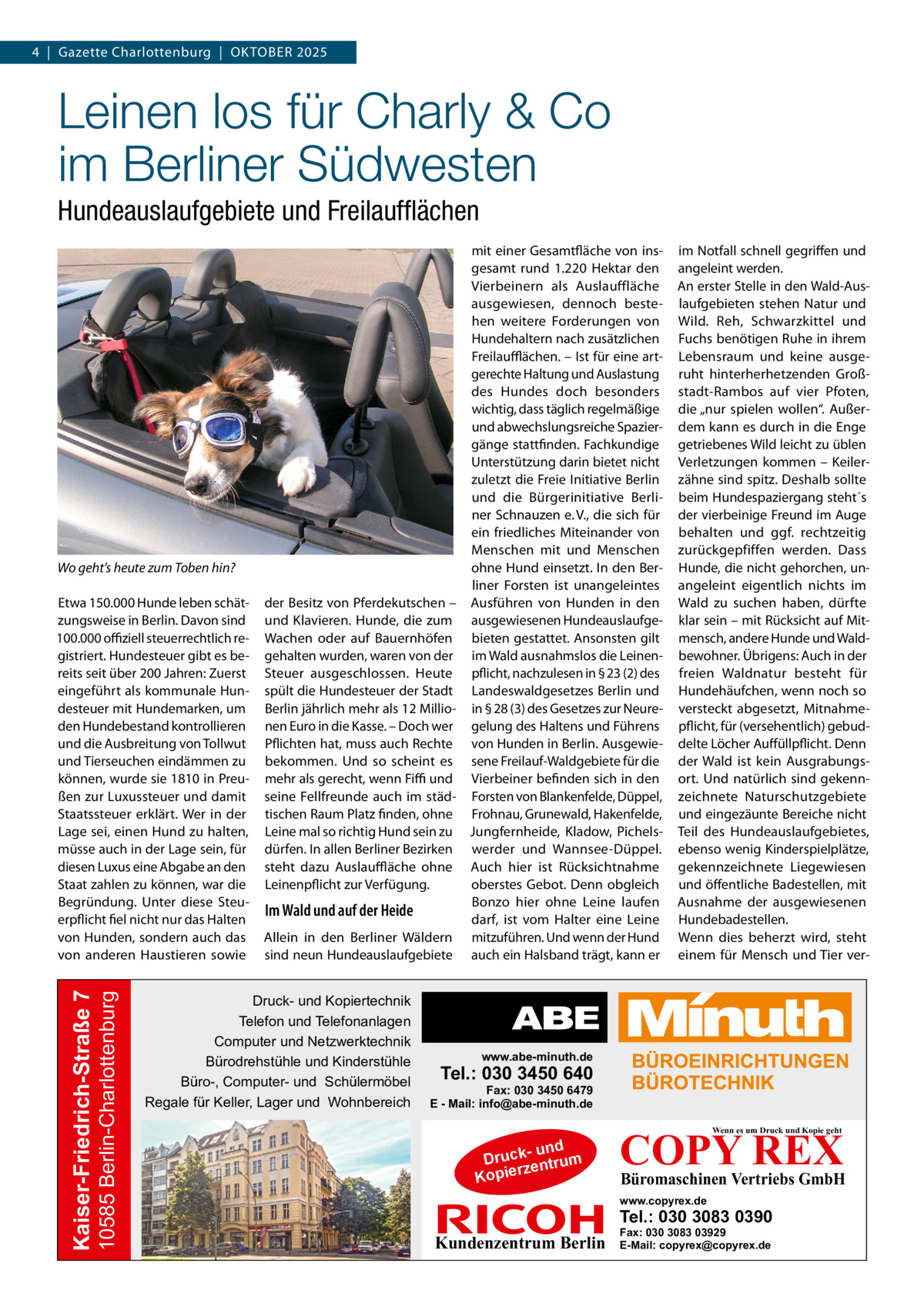 4  |  Gazette Charlottenburg  |  Oktober 2025  Leinen los für Charly & Co im Berliner Südwesten Hundeauslaufgebiete und Freilaufflächen  Wo geht’s heute zum Toben hin?  10585 Berlin-Charlottenburg  Kaiser-Friedrich-Straße 7  Etwa 150.000 Hunde leben schätzungsweise in Berlin. Davon sind 100.000 offiziell steuerrechtlich registriert. Hundesteuer gibt es bereits seit über 200 Jahren: Zuerst eingeführt als kommunale Hundesteuer mit Hundemarken, um den Hundebestand kontrollieren und die Ausbreitung von Tollwut und Tierseuchen eindämmen zu können, wurde sie 1810 in Preußen zur Luxussteuer und damit Staatssteuer erklärt. Wer in der Lage sei, einen Hund zu halten, müsse auch in der Lage sein, für diesen Luxus eine Abgabe an den Staat zahlen zu können, war die Begründung. Unter diese Steuerpflicht fiel nicht nur das Halten von Hunden, sondern auch das von anderen Haustieren sowie  mit einer Gesamtfläche von insgesamt rund 1.220  Hektar den Vierbeinern als Auslauffläche ausgewiesen, dennoch bestehen weitere Forderungen von Hundehaltern nach zusätzlichen Freilaufflächen. – Ist für eine artgerechte Haltung und Auslastung des Hundes doch besonders wichtig, dass täglich regelmäßige und abwechslungsreiche Spaziergänge stattfinden. Fachkundige Unterstützung darin bietet nicht zuletzt die Freie Initiative Berlin und die Bürgerinitiative Berliner Schnauzen e. V., die sich für ein friedliches Miteinander von Menschen mit und Menschen ohne Hund einsetzt. In den Berliner Forsten ist unangeleintes der Besitz von Pferdekutschen – Ausführen von Hunden in den und Klavieren. Hunde, die zum ausgewiesenen HundeauslaufgeWachen oder auf Bauernhöfen bieten gestattet. Ansonsten gilt gehalten wurden, waren von der im Wald ausnahmslos die LeinenSteuer ausgeschlossen. Heute pflicht, nachzulesen in § 23 (2) des spült die Hundesteuer der Stadt Landeswaldgesetzes Berlin und Berlin jährlich mehr als 12 Millio- in § 28 (3) des Gesetzes zur Neurenen Euro in die Kasse. – Doch wer gelung des Haltens und Führens Pflichten hat, muss auch Rechte von Hunden in Berlin. Ausgewiebekommen. Und so scheint es sene Freilauf-Waldgebiete für die mehr als gerecht, wenn Fiffi und Vierbeiner befinden sich in den seine Fellfreunde auch im städ- Forsten von Blankenfelde, Düppel, tischen Raum Platz finden, ohne Frohnau, Grunewald, Hakenfelde, Leine mal so richtig Hund sein zu Jungfernheide, Kladow, Pichelsdürfen. In allen Berliner Bezirken werder und Wannsee-Düppel. steht dazu Auslauffläche ohne Auch hier ist Rücksichtnahme Leinenpflicht zur Verfügung. oberstes Gebot. Denn obgleich Bonzo hier ohne Leine laufen Im Wald und auf der Heide darf, ist vom Halter eine Leine Allein in den Berliner Wäldern mitzuführen. Und wenn der Hund sind neun Hundeauslaufgebiete auch ein Halsband trägt, kann er  Druck- und Kopiertechnik Telefon und Telefonanlagen Computer und Netzwerktechnik Bürodrehstühle und Kinderstühle Büro-, Computer- und Schülermöbel Regale für Keller, Lager und Wohnbereich  im Notfall schnell gegriffen und angeleint werden. An erster Stelle in den Wald-Auslaufgebieten stehen Natur und Wild. Reh, Schwarzkittel und Fuchs benötigen Ruhe in ihrem Lebensraum und keine ausgeruht hinterherhetzenden Großstadt-Rambos auf vier Pfoten, die „nur spielen wollen“. Außerdem kann es durch in die Enge getriebenes Wild leicht zu üblen Verletzungen kommen – Keilerzähne sind spitz. Deshalb sollte beim Hundespaziergang steht´s der vierbeinige Freund im Auge behalten und ggf. rechtzeitig zurückgepfiffen werden. Dass Hunde, die nicht gehorchen, unangeleint eigentlich nichts im Wald zu suchen haben, dürfte klar sein – mit Rücksicht auf Mitmensch, andere Hunde und Waldbewohner. Übrigens: Auch in der freien Waldnatur besteht für Hundehäufchen, wenn noch so versteckt abgesetzt, Mitnahmepflicht, für (versehentlich) gebuddelte Löcher Auffüllpflicht. Denn der Wald ist kein Ausgrabungsort. Und natürlich sind gekennzeichnete Naturschutzgebiete und eingezäunte Bereiche nicht Teil des Hundeauslaufgebietes, ebenso wenig Kinderspielplätze, gekennzeichnete Liegewiesen und öffentliche Badestellen, mit Ausnahme der ausgewiesenen Hundebadestellen. Wenn dies beherzt wird, steht einem für Mensch und Tier ver www.abe-minuth.de  Tel.: 030 3450 640  Fax: 030 3450 6479 E - Mail: info@abe-minuth.de  COPY REX Wenn es um Druck und Kopie geht  - und Druck entrum rz Kopie  Büromaschinen Vertriebs GmbH  www.copyrex.de  Tel.: 030 3083 0390  Kundenzentrum Berlin  Fax: 030 3083 03929 E-Mail: copyrex@copyrex.de