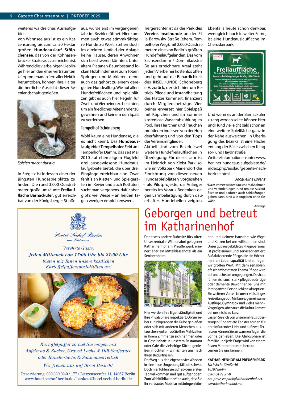 6  |  Gazette Charlottenburg  |  OKTOBER 2025 weiteres waldreiches Auslaufge- aus, wurde erst im vergangenen biet. Jahr im Bezirk eröffnet. Hier komVon Wannsee aus ist es ein Kat- men auch etwas stimmkräftigezensprung bis zum ca. 50 Hektar re Hunde zu Wort, stehen doch großen Hundeauslauf Stölp- im direkten Umfeld der Anlage chensee, das von der Kohhasen- keine Häuser, deren Anwohner brücker Straße aus zu erreichen ist. sich beschweren könnten. Unter Während die vierbeinigen Lieblin- altem Platanen-Baumbestand loge hier an den eher verträumten cken Holzhindernisse zum Toben, Uferpromenaden fern aller Hektik Springen und Markieren, denn herumtoben, können ihre Halter auch das gehört zu einem geredie herrliche Aussicht dieser Se- gelten Hundealltag. Wie auf allen enlandschaft genießen. Hundefreiflächen und -spielplätzen gibt es auch hier Regeln für Zwei- und Vierbeiner zu beachten, um ein friedliches Miteinander zu gewähren und keinem den Spaß zu verderben.  Tempelhof-Schöneberg  Spielen macht durstig. In Steglitz ist indessen einer der jüngsten Hundespielplätze zu finden: Die rund 3.000 Quadratmeter große umzäunte Freilauffläche Barnackufer, gut erreichbar von der Königsberger Straße  Wohl kaum eine Hundenase, die es nicht kennt: Das Hundeauslaufgebiet Tempelhofer Feld am Tempelhofer Damm, das seit Mai 2010 auf ehemaligem Flugfeld drei ausgewiesene Hundeauslaufgebiete bietet, die über drei Eingänge erreichbar sind. Zwar fehlt´s an Kletter- und Spielgeräten im Revier und auch Kottüten sucht man vergebens, dafür aber gibt’s viel Wiese – an heißen Tagen weniger empfehlenswert.  Tiergerechter ist da der Park des Vereins Inselhunde an der Ella-Barowsky-Straße (ehem. Tempelhofer Weg), mit 2.000 Quadratmetern eine von Berlin´s größten Hundefreilaufgeländen. Das vom Sachsendamm / Dominikusstraße aus erreichbare Areal steht jedem Vierbeiner kostenlos offen und geht auf die Beharrlichkeit des INSELHUNDE Schöneberg e. V. zurück, der sich hier um Betrieb, Pflege und Instandhaltung des Platzes kümmert, finanziert durch Mitgliedsbeiträge. Vierbeiner erwartet hier Spielspaß mit Köpfchen und im Sommer kostenlose Wasserabkühlung im Pool. Ihre Herrchen und Frauchen profitieren indessen von der Hundeerfahrung und von den Tipps der Vereinsmitglieder. Aktuell sind vom Bezirk zwei weitere Hundefreilaufflächen in Überlegung: Für dieses Jahr ist im Heinrich-von-Kleist-Park sowie im Volkspark Mariendorf die Einrichtung von diesen neuen Hundespielplätzen vorgesehen – als Pilotprojekte, da Anlieger bereits im Voraus Bedenken gegen Lärmbelästigung durch dauerhaftes Hundebellen zeigten.  Ebenfalls heute schon denkbar, wenngleich noch in weiter Ferne, ist eine Hundeauslauffläche im Cheruskerpark.  Und wenn es an der Barnackufer zu eng werden sollte, können Herr und Hund vielleicht bald schon an eine weitere Spielfläche ganz in der Nähe ausweichen: In Überlegung des Bezirks ist eine Fläche entlang der Bäke zwischen Klingsor- und Haydnstraße. Weitere Informationen unter www. berliner-hundeauslaufgebiete.de/ index.php/auslaufgebiete-nachbezirke.html Jacqueline Lorenz *Da es immer wieder bauliche Maßnahmen und Veränderungen rund um die Auslaufflächen und dadurch auch Schließungen geben kann, sind alle Angaben ohne Gewähr. Anzeige  Hotel Seehof Berlin am Lietzensee  Der etwas andere Ruhesitz fürs Alter: Unser zentral in Wilmersdorf gelegener Katharinenhof am Preußenpark erinnert eher ein Mittelklassehotel als ein Seniorenheim.  Foto: juefraphoto / stock.adobe.com  Verehrte Gäste, jeden Mittwoch von 17:00 Uhr bis 21:00 Uhr bieten wir Ihnen unsere köstlichen Kartoffelpufferspezialitäten an!  Geborgen und betreut im Katharinenhof  Kartoffelpuffer so viel Sie mögen mit Apfelmus & Zucker, Graved Lachs & Dill-Senfsauce oder Räucherlachs & Sahnemeerrettich Wir freuen uns auf Ihren Besuch! Reservierung: 030 320 02-0 / 177 º Lietzenseeufer 11, 14057 Berlin www.hotel-seehof-berlin.de / bankett@hotel-seehof-berlin.de  Hier werden Ihre Eigenständigkeit und Ihre Privatsphäre respektiert. Ob Sie lieber zurückgezogen die Ruhe genießen oder sich mit anderen Menschen austauschen wollen, ob Sie Ihre Mahlzeiten in Ihrem Zimmer zu sich nehmen oder in Gesellschaft in unserem Restaurant oder Café die vielseitige Küche genießen möchten – wir richten uns nach Ihren Bedürfnissen. Der Weg aus den eigenen vier Wänden in eine neue Umgebung fällt oft schwer. Doch hier fühlen Sie sich ab dem ersten Tag willkommen und gut aufgehoben. Zum Wohlfühlfaktor zählt auch, dass Sie Ihr vertrautes Mobiliar mitbringen kön nen und kleinere Haustiere wie Vögel und Katzen bei uns willkommen sind. Unser gut ausgebildetes Pflegepersonal ist professionell und serviceorientiert. Auf aktivierende Pflege, die ein Höchstmaß an Lebensqualität bietet, legen wir großen Wert. Mit dem sensiblen, oft schambesetzten Thema Pflege wird bei uns achtsam umgegangen. Deshalb fühlen sich auch stark pflegebedürftige oder demente Bewohner bei uns mit ihrer ganzen Persönlichkeit akzeptiert. Ein weiterer Vorteil ist unser vielseitiges Freizeitangebot. Malkurse, gemeinsame Ausflüge, Gymnastik und vieles mehr – Vergnügen, aber auch die Kultur kommt bei uns nicht zu kurz. Lassen Sie sich von unserem Haus überzeugen! Bodentiefe Fenster sorgen für hereinflutendes Licht und auf zwei Terrassen können Sie an warmen Tagen die Sonne genießen. Die Atmosphäre ist familiär und jede Etage wird von einem festen Mitarbeiterteam betreut. Lernen Sie uns kennen. KATHARINENHOF AM PREUßENPARK Sächsische Straße 46 10707 Berlin 030 / 84 71 51-0 am-preussenpark@katharinenhof.net www.katharinenhof.net