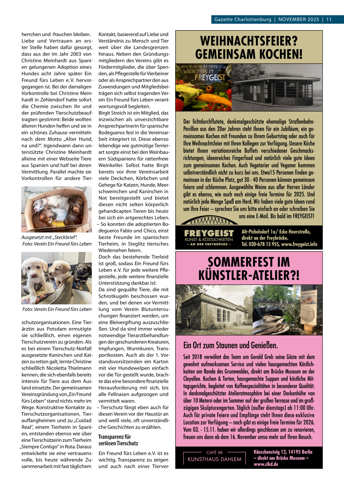 Gazette Charlottenburg  |  November 2025  |  11 herrchen und -frauchen bleiben. Liebe und Vertrauen an erster Stelle haben dafür gesorgt, dass aus der im Jahr 2003 von Christine Meinhardt aus Spanien gelungenen Adoption eines Hundes acht Jahre später Ein Freund fürs Leben e. V. hervorgegangen ist. Bei der damaligen Vorkontrolle bei Christine Meinhardt in Zehlendorf hatte sofort die Chemie zwischen ihr und der prüfenden Tierschutzbeauftragten gestimmt: Beide wollten älteren Hunden helfen und sie in ein schönes Zuhause vermitteln nach dem Motto „Alter Hund, na und?“. Irgendwann dann unterstützte Christine Meinhardt alleine mit einer Webseite Tiere aus Spanien und half bei deren Vermittlung. Parallel machte sie Vorkontrollen für andere Tier Ausgesetzt mit „Steckbrief“. �Foto: Verein Ein Freund fürs Leben  �Foto: Verein Ein Freund fürs Leben schutzorganisationen. Eine Tierärztin aus Potsdam ermutigte sie schließlich, einen eigenen Tierschutzverein zu gründen. Als es bei einem Tierschutz-Notfall ausgesetzte Kaninchen und Katzen zu retten galt, lernte Christine schließlich Nicoletta Thielmann kennen, die sich ebenfalls bereits intensiv für Tiere aus dem Ausland einsetzte. Der gemeinsamen Vereinsgründung von „Ein Freund fürs Leben“ stand nichts mehr im Wege. Konstruktive Kontakte zu Tierschutzorganisationen, Tierauffangheimen und zu „Cuidad Real“, einem Tierheim in Spanien, entstanden ebenso wie über eine Tierschützerin zum Tierheim „Siempre Contigo“ in Rota. Daraus entwickelte sie eine vertrauensvolle, bis heute währende Zusammenarbeit mit fast täglichem  Kontakt, basierend auf Liebe und Verständnis zu Mensch und Tier weit über die Landesgrenzen hinaus. Neben den Gründungsmitgliedern des Vereins gibt es Fördermitglieder, die über Spenden, als Pflegestelle für Vierbeiner oder als Ansprechpartner den aus Zuwendungen und Mitgliedsbeiträgen sich selbst tragenden Verein Ein Freund fürs Leben verantwortungsvoll begleiten. Birgit Streich ist ein Mitglied, das inzwischen als unverzichtbare Ansprechpartnerin für spanische Bodegueros fest in die Vereinsarbeit integriert ist. Diese ebenso lebendige wie gutmütige Terrierart sorgte einst bei den Weinbauern Südspaniens für rattenfreie Weinkeller. Selbst hatte Birgit bereits vor ihrer Vereinsarbeit viele Deckchen, Körbchen und Gehege für Katzen, Hunde, Meerschweinchen und Kaninchen in Not bereitgestellt und bietet diesen nicht selten körperlich gehandicapten Tieren bis heute bei sich ein artgerechtes Leben. – So konnten die adoptierten Bodegueros Fabio und Chico, einst beste Freunde im spanischen Tierheim, in Steglitz tierisches Wiedersehen feiern. Doch das bestehende Tierleid ist groß, sodass Ein Freund fürs Leben e. V. für jede weitere Pflegestelle, jede weitere finanzielle Unterstützung dankbar ist: Da sind gequälte Tiere, die mit Schrotkugeln beschossen wurden, und bei denen vor Vermittlung vom Verein Blutuntersuchungen finanziert werden, um eine Bleivergiftung auszuschließen. Und da sind immer wieder notwendige Tierarztbehandlungen der geschundenen Kreaturen, Impfungen, Wurmkuren, Transportkosten. Auch als der 1. Vorstandsvorsitzenden ein Karton mit vier Hundewelpen einfach vor die Tür gestellt wurde, brachte das eine besondere finanzielle Herausforderung mit sich, bis alle Fellnasen aufgezogen und vermittelt waren. – Tierschutz fängt eben auch für diesen Verein vor der Haustür an und weiß viele, oft unverständliche Geschichten zu erzählen.  Transparenz für seriösen Tierschutz Ein Freund fürs Leben e. V. ist es wichtig, Transparenz zu zeigen und auch nach einer Tierve