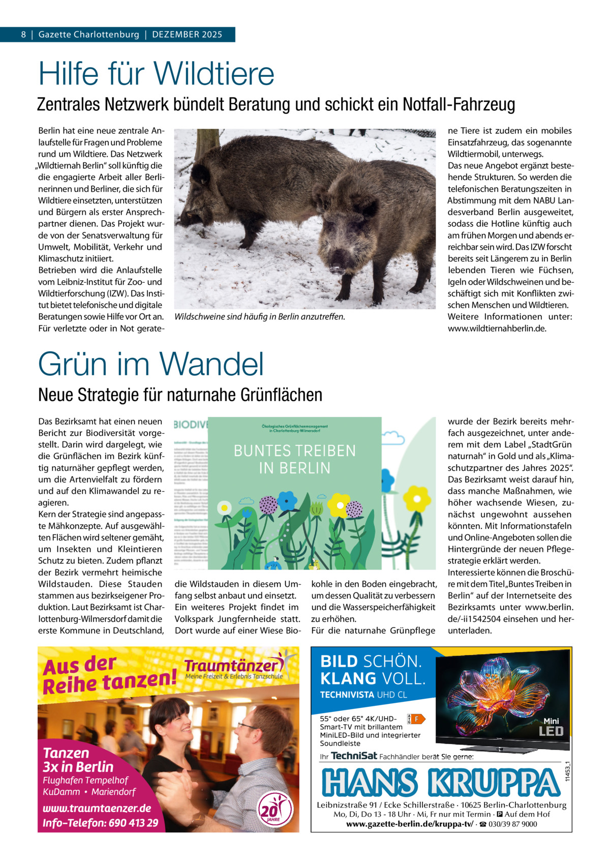 8  |  Gazette Charlottenburg  |  DEZEMBEr 2025  Hilfe für Wildtiere Zentrales Netzwerk bündelt Beratung und schickt ein Notfall-Fahrzeug Berlin hat eine neue zentrale Anlaufstelle für Fragen und Probleme rund um Wildtiere. Das Netzwerk „Wildtiernah Berlin“ soll künftig die die engagierte Arbeit aller Berlinerinnen und Berliner, die sich für Wildtiere einsetzten, unterstützen und Bürgern als erster Ansprechpartner dienen. Das Projekt wurde von der Senatsverwaltung für Umwelt, Mobilität, Verkehr und Klimaschutz initiiert. Betrieben wird die Anlaufstelle vom Leibniz-Institut für Zoo- und Wildtierforschung (IZW). Das Institut bietet telefonische und digitale Beratungen sowie Hilfe vor Ort an. Für verletzte oder in Not gerate Wildschweine sind häufig in Berlin anzutreﬀen.  ne Tiere ist zudem ein mobiles Einsatzfahrzeug, das sogenannte Wildtiermobil, unterwegs. Das neue Angebot ergänzt bestehende Strukturen. So werden die telefonischen Beratungszeiten in Abstimmung mit dem NABU Landesverband Berlin ausgeweitet, sodass die Hotline künftig auch am frühen Morgen und abends erreichbar sein wird. Das IZW forscht bereits seit Längerem zu in Berlin lebenden Tieren wie Füchsen, Igeln oder Wildschweinen und beschäftigt sich mit Konflikten zwischen Menschen und Wildtieren. Weitere Informationen unter: www.wildtiernahberlin.de.  Grün im Wandel Neue Strategie für naturnahe Grünflächen Das Bezirksamt hat einen neuen Bericht zur Biodiversität vorgestellt. Darin wird dargelegt, wie die Grünflächen im Bezirk künftig naturnäher gepflegt werden, um die Artenvielfalt zu fördern und auf den Klimawandel zu reagieren. Kern der Strategie sind angepasste Mähkonzepte. Auf ausgewählten Flächen wird seltener gemäht, um Insekten und Kleintieren Schutz zu bieten. Zudem pflanzt der Bezirk vermehrt heimische Wildstauden. Diese Stauden stammen aus bezirkseigener Produktion. Laut Bezirksamt ist Charlottenburg-Wilmersdorf damit die erste Kommune in Deutschland,  die Wildstauden in diesem Umfang selbst anbaut und einsetzt. Ein weiteres Projekt findet im Volkspark Jungfernheide statt. Dort wurde auf einer Wiese Bio kohle in den Boden eingebracht, um dessen Qualität zu verbessern und die Wasserspeicherfähigkeit zu erhöhen. Für die naturnahe Grünpflege  wurde der Bezirk bereits mehrfach ausgezeichnet, unter anderem mit dem Label „StadtGrün naturnah“ in Gold und als „Klimaschutzpartner des Jahres 2025“. Das Bezirksamt weist darauf hin, dass manche Maßnahmen, wie höher wachsende Wiesen, zunächst ungewohnt aussehen könnten. Mit Informationstafeln und Online-Angeboten sollen die Hintergründe der neuen Pflegestrategie erklärt werden. Interessierte können die Broschüre mit dem Titel „Buntes Treiben in Berlin“ auf der Internetseite des Bezirksamts unter www.berlin. de/-ii1542504 einsehen und herunterladen.  HANS KRUPPA  Leibnizstraße 91 / Ecke Schillerstraße · 10625 Berlin-Charlottenburg Mo, Di, Do 13 - 18 Uhr · Mi, Fr nur mit Termin · � Auf dem Hof www.gazette-berlin.de/kruppa-tv/ · ☎ 030/39 87 9000