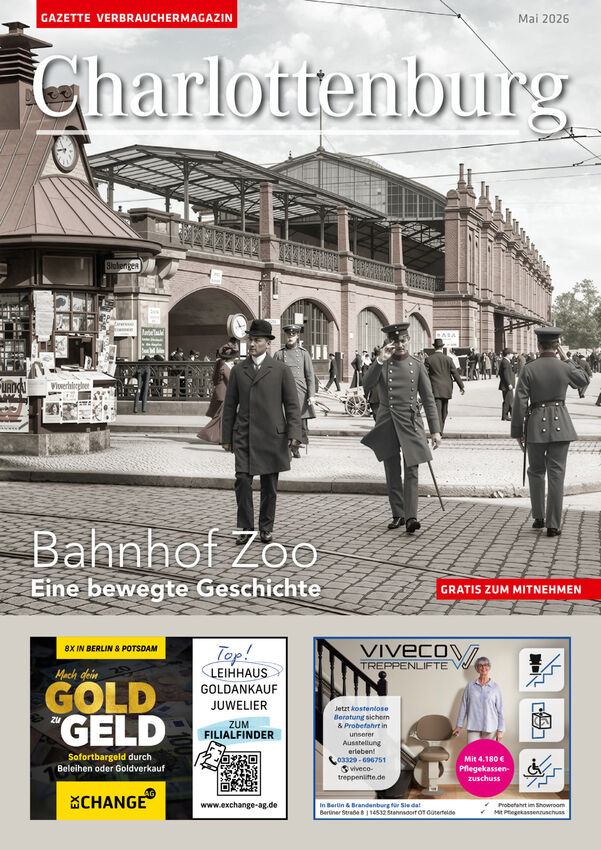 eibe shop Heimische Eibe / Taxus baccata online kaufen main image 1