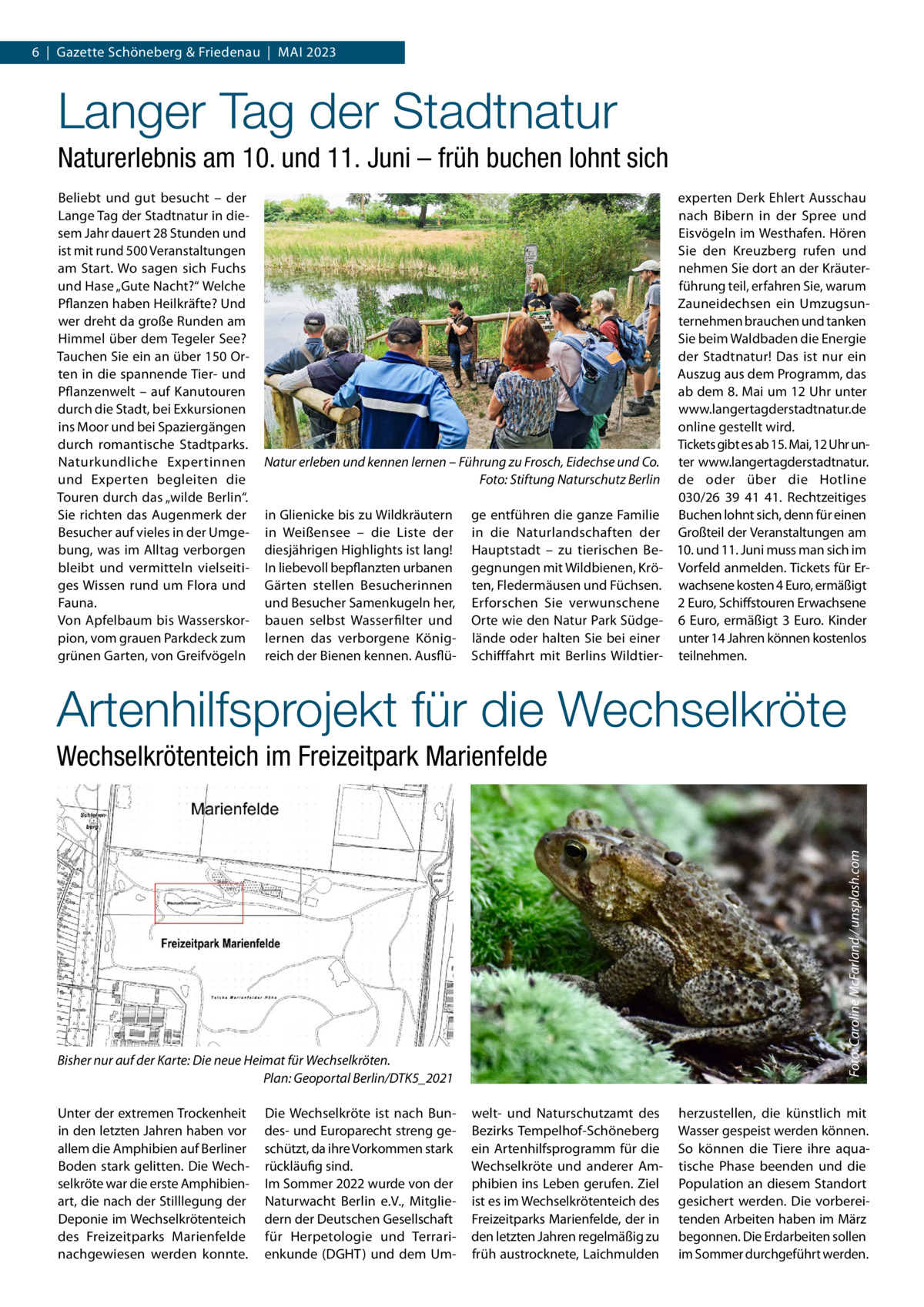 6  |  Gazette Schöneberg & Friedenau  |  Mai 2023  Langer Tag der Stadtnatur Naturerlebnis am 10. und 11. Juni – früh buchen lohnt sich Beliebt und gut besucht – der Lange Tag der Stadtnatur in diesem Jahr dauert 28 Stunden und ist mit rund 500 Veranstaltungen am Start. Wo sagen sich Fuchs und Hase „Gute Nacht?“ Welche Pflanzen haben Heilkräfte? Und wer dreht da große Runden am Himmel über dem Tegeler See? Tauchen Sie ein an über 150 Orten in die spannende Tier- und Pflanzenwelt – auf Kanutouren durch die Stadt, bei Exkursionen ins Moor und bei Spaziergängen durch romantische Stadtparks. Naturkundliche Expertinnen und Experten begleiten die Touren durch das „wilde Berlin“. Sie richten das Augenmerk der Besucher auf vieles in der Umgebung, was im Alltag verborgen bleibt und vermitteln vielseitiges Wissen rund um Flora und Fauna. Von Apfelbaum bis Wasserskorpion, vom grauen Parkdeck zum grünen Garten, von Greifvögeln  Natur erleben und kennen lernen – Führung zu Frosch, Eidechse und Co. � Foto: Stiftung Naturschutz Berlin in Glienicke bis zu Wildkräutern in Weißensee – die Liste der diesjährigen Highlights ist lang! In liebevoll bepflanzten urbanen Gärten stellen Besucherinnen und Besucher Samenkugeln her, bauen selbst Wasserfilter und lernen das verborgene Königreich der Bienen kennen. Ausflü ge entführen die ganze Familie in die Naturlandschaften der Hauptstadt – zu tierischen Begegnungen mit Wildbienen, Kröten, Fledermäusen und Füchsen. Erforschen Sie verwunschene Orte wie den Natur Park Südgelände oder halten Sie bei einer Schifffahrt mit Berlins Wildtier experten Derk Ehlert Ausschau nach Bibern in der Spree und Eisvögeln im Westhafen. Hören Sie den Kreuzberg rufen und nehmen Sie dort an der Kräuterführung teil, erfahren Sie, warum Zauneidechsen ein Umzugsunternehmen brauchen und tanken Sie beim Waldbaden die Energie der Stadtnatur! Das ist nur ein Auszug aus dem Programm, das ab dem 8. Mai um 12 Uhr unter www.langertagderstadtnatur.de online gestellt wird. Tickets gibt es ab 15. Mai, 12 Uhr unter www.langertagderstadtnatur. de oder über die Hotline 030/26  39  41  41. Rechtzeitiges Buchen lohnt sich, denn für einen Großteil der Veranstaltungen am 10. und 11. Juni muss man sich im Vorfeld anmelden. Tickets für Erwachsene kosten 4 Euro, ermäßigt 2 Euro, Schiffstouren Erwachsene 6  Euro, ermäßigt 3  Euro. Kinder unter 14 Jahren können kostenlos teilnehmen.  Artenhilfsprojekt für die Wechselkröte Foto: Caroline McFarland / unsplash.com  Wechselkrötenteich im Freizeitpark Marienfelde  Bisher nur auf der Karte: Die neue Heimat für Wechselkröten. � Plan: Geoportal Berlin/DTK5_2021 Unter der extremen Trockenheit in den letzten Jahren haben vor allem die Amphibien auf Berliner Boden stark gelitten. Die Wechselkröte war die erste Amphibienart, die nach der Stilllegung der Deponie im Wechselkrötenteich des Freizeitparks Marienfelde nachgewiesen werden konnte.  Die Wechselkröte ist nach Bundes- und Europarecht streng geschützt, da ihre Vorkommen stark rückläufig sind. Im Sommer 2022 wurde von der Naturwacht Berlin e.V., Mitgliedern der Deutschen Gesellschaft für Herpetologie und Terrarienkunde (DGHT) und dem Um welt- und Naturschutzamt des Bezirks Tempelhof-Schöneberg ein Artenhilfsprogramm für die Wechselkröte und anderer Amphibien ins Leben gerufen. Ziel ist es im Wechselkrötenteich des Freizeitparks Marienfelde, der in den letzten Jahren regelmäßig zu früh austrocknete, Laichmulden  herzustellen, die künstlich mit Wasser gespeist werden können. So können die Tiere ihre aquatische Phase beenden und die Population an diesem Standort gesichert werden. Die vorbereitenden Arbeiten haben im März begonnen. Die Erdarbeiten sollen im Sommer durchgeführt werden.