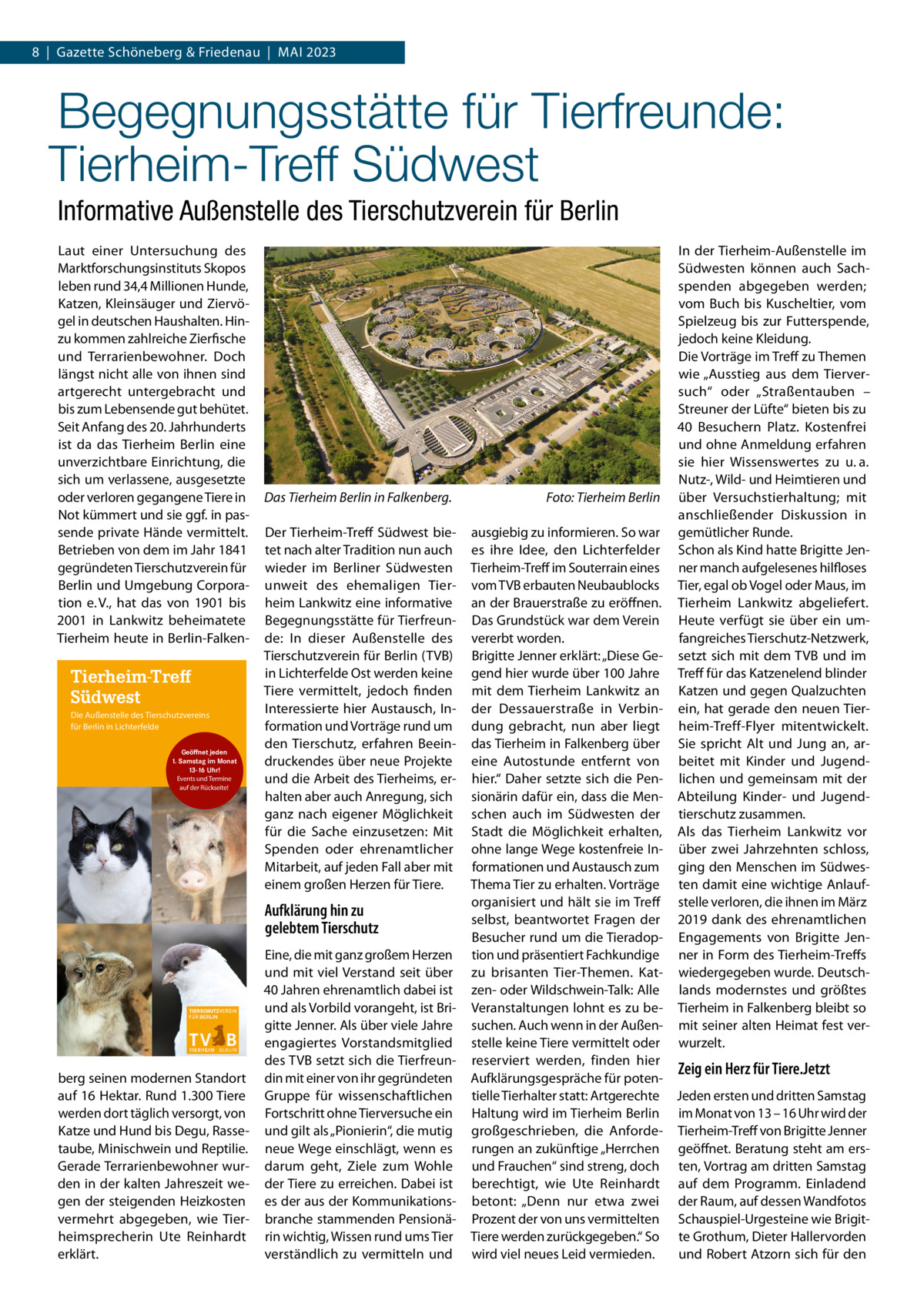 8  |  Gazette Schöneberg & Friedenau  |  Mai 2023  Begegnungsstätte für Tierfreunde: Tierheim-Treff Südwest Informative Außenstelle des Tierschutzverein für Berlin Laut einer Untersuchung des Marktforschungsinstituts Skopos leben rund 34,4 Millionen Hunde, Katzen, Kleinsäuger und Ziervögel in deutschen Haushalten. Hinzu kommen zahlreiche Zierfische und Terrarienbewohner. Doch längst nicht alle von ihnen sind artgerecht untergebracht und bis zum Lebensende gut behütet. Seit Anfang des 20. Jahrhunderts ist da das Tierheim Berlin eine unverzichtbare Einrichtung, die sich um verlassene, ausgesetzte oder verloren gegangene Tiere in Not kümmert und sie ggf. in passende private Hände vermittelt. Betrieben von dem im Jahr 1841 gegründeten Tierschutzverein für Berlin und Umgebung Corporation e. V., hat das von 1901 bis 2001 in Lankwitz beheimatete Tierheim heute in Berlin-Falken Tierheim-Treff Südwest Die Außenstelle des Tierschutzvereins für Berlin in Lichterfelde Geöffnet jeden 1. Samstag im Monat 13-16 Uhr! Events und Termine auf der Rückseite!  Das Tierheim Berlin in Falkenberg.� Der Tierheim-Treff Südwest bietet nach alter Tradition nun auch wieder im Berliner Südwesten unweit des ehemaligen Tierheim Lankwitz eine informative Begegnungsstätte für Tierfreunde: In dieser Außenstelle des Tierschutzverein für Berlin (TVB) in Lichterfelde Ost werden keine Tiere vermittelt, jedoch finden Interessierte hier Austausch, Information und Vorträge rund um den Tierschutz, erfahren Beeindruckendes über neue Projekte und die Arbeit des Tierheims, erhalten aber auch Anregung, sich ganz nach eigener Möglichkeit für die Sache einzusetzen: Mit Spenden oder ehrenamtlicher Mitarbeit, auf jeden Fall aber mit einem großen Herzen für Tiere.  Aufklärung hin zu gelebtem Tierschutz  berg seinen modernen Standort auf 16 Hektar. Rund 1.300 Tiere werden dort täglich versorgt, von Katze und Hund bis Degu, Rassetaube, Minischwein und Reptilie. Gerade Terrarienbewohner wurden in der kalten Jahreszeit wegen der steigenden Heizkosten vermehrt abgegeben, wie Tierheimsprecherin Ute Reinhardt erklärt.  Eine, die mit ganz großem Herzen und mit viel Verstand seit über 40 Jahren ehrenamtlich dabei ist und als Vorbild vorangeht, ist Brigitte Jenner. Als über viele Jahre engagiertes Vorstandsmitglied des TVB setzt sich die Tierfreundin mit einer von ihr gegründeten Gruppe für wissenschaftlichen Fortschritt ohne Tierversuche ein und gilt als „Pionierin“, die mutig neue Wege einschlägt, wenn es darum geht, Ziele zum Wohle der Tiere zu erreichen. Dabei ist es der aus der Kommunikationsbranche stammenden Pensionärin wichtig, Wissen rund ums Tier verständlich zu vermitteln und  Foto: Tierheim Berlin  In der Tierheim-Außenstelle im Südwesten können auch Sachspenden abgegeben werden; vom Buch bis Kuscheltier, vom Spielzeug bis zur Futterspende, jedoch keine Kleidung. Die Vorträge im Treff zu Themen wie „Ausstieg aus dem Tierversuch“ oder „Straßentauben – Streuner der Lüfte“ bieten bis zu 40 Besuchern Platz. Kostenfrei und ohne Anmeldung erfahren sie hier Wissenswertes zu u. a. Nutz-, Wild- und Heimtieren und über Versuchstierhaltung; mit anschließender Diskussion in gemütlicher Runde. Schon als Kind hatte Brigitte Jenner manch aufgelesenes hilfloses Tier, egal ob Vogel oder Maus, im Tierheim Lankwitz abgeliefert. Heute verfügt sie über ein umfangreiches Tierschutz-Netzwerk, setzt sich mit dem TVB und im Treff für das Katzenelend blinder Katzen und gegen Qualzuchten ein, hat gerade den neuen Tierheim-Treff-Flyer mitentwickelt. Sie spricht Alt und Jung an, arbeitet mit Kinder und Jugendlichen und gemeinsam mit der Abteilung Kinder- und Jugendtierschutz zusammen. Als das Tierheim Lankwitz vor über zwei Jahrzehnten schloss, ging den Menschen im Südwesten damit eine wichtige Anlaufstelle verloren, die ihnen im März 2019 dank des ehrenamtlichen Engagements von Brigitte Jenner in Form des Tierheim-Treffs wiedergegeben wurde. Deutschlands modernstes und größtes Tierheim in Falkenberg bleibt so mit seiner alten Heimat fest verwurzelt.  ausgiebig zu informieren. So war es ihre Idee, den Lichterfelder Tierheim-Treff im Souterrain eines vom TVB erbauten Neubaublocks an der Brauerstraße zu eröffnen. Das Grundstück war dem Verein vererbt worden. Brigitte Jenner erklärt: „Diese Gegend hier wurde über 100 Jahre mit dem Tierheim Lankwitz an der Dessauerstraße in Verbindung gebracht, nun aber liegt das Tierheim in Falkenberg über eine Autostunde entfernt von hier.“ Daher setzte sich die Pensionärin dafür ein, dass die Menschen auch im Südwesten der Stadt die Möglichkeit erhalten, ohne lange Wege kostenfreie Informationen und Austausch zum Thema Tier zu erhalten. Vorträge organisiert und hält sie im Treff selbst, beantwortet Fragen der Besucher rund um die Tieradoption und präsentiert Fachkundige zu brisanten Tier-Themen. Katzen- oder Wildschwein-Talk: Alle Veranstaltungen lohnt es zu besuchen. Auch wenn in der Außenstelle keine Tiere vermittelt oder reserviert werden, finden hier Zeig ein Herz für Tiere.Jetzt Aufklärungsgespräche für potentielle Tierhalter statt: Artgerechte Jeden ersten und dritten Samstag Haltung wird im Tierheim Berlin im Monat von 13 – 16 Uhr wird der großgeschrieben, die Anforde- Tierheim-Treff von Brigitte Jenner rungen an zukünftige „Herrchen geöffnet. Beratung steht am ersund Frauchen“ sind streng, doch ten, Vortrag am dritten Samstag berechtigt, wie Ute Reinhardt auf dem Programm. Einladend betont: „Denn nur etwa zwei der Raum, auf dessen Wandfotos Prozent der von uns vermittelten Schauspiel-Urgesteine wie BrigitTiere werden zurückgegeben.“ So te Grothum, Dieter Hallervorden wird viel neues Leid vermieden. und Robert Atzorn sich für den