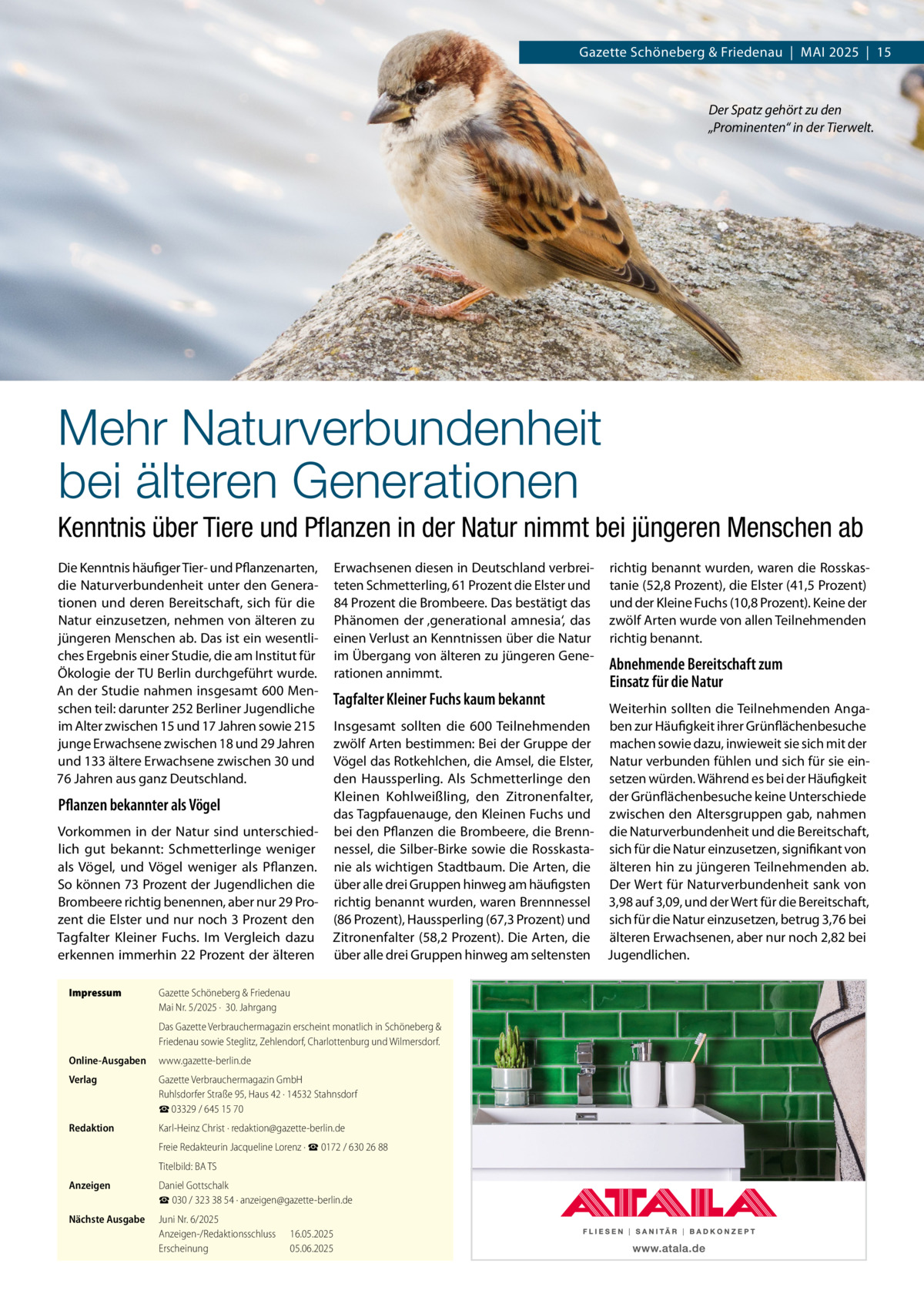 Gazette Schöneberg & Friedenau  |  Mai 2025  |  15  Der Spatz gehört zu den „Prominenten“ in der Tierwelt.  Mehr Naturverbundenheit bei älteren Generationen Kenntnis über Tiere und Pflanzen in der Natur nimmt bei jüngeren Menschen ab Die Kenntnis häufiger Tier- und Pflanzenarten, die Naturverbundenheit unter den Generationen und deren Bereitschaft, sich für die Natur einzusetzen, nehmen von älteren zu jüngeren Menschen ab. Das ist ein wesentliches Ergebnis einer Studie, die am Institut für Ökologie der TU Berlin durchgeführt wurde. An der Studie nahmen insgesamt 600 Menschen teil: darunter 252 Berliner Jugendliche im Alter zwischen 15 und 17 Jahren sowie 215 junge Erwachsene zwischen 18 und 29 Jahren und 133 ältere Erwachsene zwischen 30 und 76 Jahren aus ganz Deutschland.  Pflanzen bekannter als Vögel Vorkommen in der Natur sind unterschiedlich gut bekannt: Schmetterlinge weniger als Vögel, und Vögel weniger als Pflanzen. So können 73 Prozent der Jugendlichen die Brombeere richtig benennen, aber nur 29 Prozent die Elster und nur noch 3 Prozent den Tagfalter Kleiner Fuchs. Im Vergleich dazu erkennen immerhin 22 Prozent der älteren Impressum	  Erwachsenen diesen in Deutschland verbreiteten Schmetterling, 61 Prozent die Elster und 84 Prozent die Brombeere. Das bestätigt das Phänomen der ‚generational amnesia‘, das einen Verlust an Kenntnissen über die Natur im Übergang von älteren zu jüngeren Generationen annimmt.  Tagfalter Kleiner Fuchs kaum bekannt  richtig benannt wurden, waren die Rosskastanie (52,8 Prozent), die Elster (41,5 Prozent) und der Kleine Fuchs (10,8 Prozent). Keine der zwölf Arten wurde von allen Teilnehmenden richtig benannt.  Abnehmende Bereitschaft zum Einsatz für die Natur  Weiterhin sollten die Teilnehmenden AngaInsgesamt sollten die 600 Teilnehmenden ben zur Häufigkeit ihrer Grünflächenbesuche zwölf Arten bestimmen: Bei der Gruppe der machen sowie dazu, inwieweit sie sich mit der Vögel das Rotkehlchen, die Amsel, die Elster, Natur verbunden fühlen und sich für sie einden Haussperling. Als Schmetterlinge den setzen würden. Während es bei der Häufigkeit Kleinen Kohlweißling, den Zitronenfalter, der Grünflächenbesuche keine Unterschiede das Tagpfauenauge, den Kleinen Fuchs und zwischen den Altersgruppen gab, nahmen bei den Pflanzen die Brombeere, die Brenn- die Naturverbundenheit und die Bereitschaft, nessel, die Silber-Birke sowie die Rosskasta- sich für die Natur einzusetzen, signifikant von nie als wichtigen Stadtbaum. Die Arten, die älteren hin zu jüngeren Teilnehmenden ab. über alle drei Gruppen hinweg am häufigsten Der Wert für Naturverbundenheit sank von richtig benannt wurden, waren Brennnessel 3,98 auf 3,09, und der Wert für die Bereitschaft, (86 Prozent), Haussperling (67,3 Prozent) und sich für die Natur einzusetzen, betrug 3,76 bei Zitronenfalter (58,2 Prozent). Die Arten, die älteren Erwachsenen, aber nur noch 2,82 bei über alle drei Gruppen hinweg am seltensten Jugendlichen.  Gazette Schöneberg & Friedenau Mai Nr. 5/2025 ·  30. Jahrgang Das Gazette Verbrauchermagazin erscheint monatlich in Schöneberg & Friedenau sowie Steglitz, Zehlendorf, Charlottenburg und Wilmersdorf.  Online-Ausgaben	www.gazette-berlin.de Verlag	  Gazette Verbrauchermagazin GmbH Ruhlsdorfer Straße 95, Haus 42 · 14532 Stahnsdorf ☎ 03329 / 645 15 70  Redaktion	  Karl-Heinz Christ · redaktion@gazette-berlin.de  	  Freie Redakteurin Jacqueline Lorenz · ☎ 0172 / 630 26 88  	  Titelbild: BA TS  Anzeigen	  Daniel Gottschalk ☎ 030 / 323 38 54 · anzeigen@gazette-berlin.de  Nächste Ausgabe	  Juni Nr. 6/2025 Anzeigen-/Redaktionsschluss	16.05.2025 Erscheinung	05.06.2025