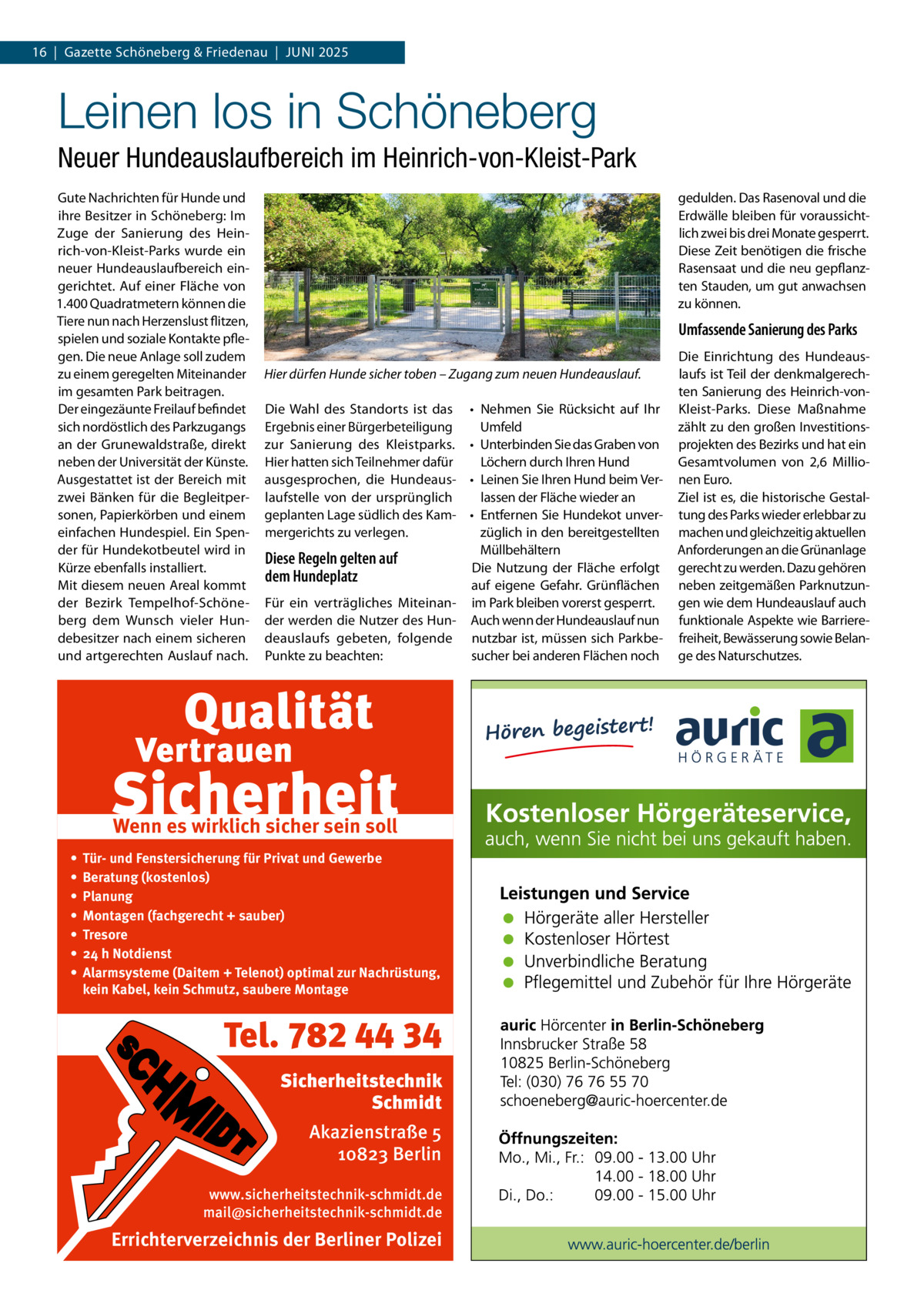 16  |  Gazette Schöneberg & Friedenau  |  Juni 2025  Leinen los in Schöneberg Neuer Hundeauslaufbereich im Heinrich-von-Kleist-Park Gute Nachrichten für Hunde und ihre Besitzer in Schöneberg: Im Zuge der Sanierung des Heinrich-von-Kleist-Parks wurde ein neuer Hundeauslaufbereich eingerichtet. Auf einer Fläche von 1.400 Quadratmetern können die Tiere nun nach Herzenslust flitzen, spielen und soziale Kontakte pflegen. Die neue Anlage soll zudem zu einem geregelten Miteinander im gesamten Park beitragen. Der eingezäunte Freilauf befindet sich nordöstlich des Parkzugangs an der Grunewaldstraße, direkt neben der Universität der Künste. Ausgestattet ist der Bereich mit zwei Bänken für die Begleitpersonen, Papierkörben und einem einfachen Hundespiel. Ein Spender für Hundekotbeutel wird in Kürze ebenfalls installiert. Mit diesem neuen Areal kommt der Bezirk Tempelhof-Schöneberg dem Wunsch vieler Hundebesitzer nach einem sicheren und artgerechten Auslauf nach.  gedulden. Das Rasenoval und die Erdwälle bleiben für voraussichtlich zwei bis drei Monate gesperrt. Diese Zeit benötigen die frische Rasensaat und die neu gepflanzten Stauden, um gut anwachsen zu können.  Umfassende Sanierung des Parks Hier dürfen Hunde sicher toben – Zugang zum neuen Hundeauslauf. Die Wahl des Standorts ist das Ergebnis einer Bürgerbeteiligung zur Sanierung des Kleistparks. Hier hatten sich Teilnehmer dafür ausgesprochen, die Hundeauslaufstelle von der ursprünglich geplanten Lage südlich des Kammergerichts zu verlegen.  •	 Nehmen Sie Rücksicht auf Ihr Umfeld •	 Unterbinden Sie das Graben von Löchern durch Ihren Hund •	 Leinen Sie Ihren Hund beim Verlassen der Fläche wieder an •	 Entfernen Sie Hundekot unverzüglich in den bereitgestellten Müllbehältern Diese Regeln gelten auf Die Nutzung der Fläche erfolgt dem Hundeplatz auf eigene Gefahr. Grünflächen Für ein verträgliches Miteinan- im Park bleiben vorerst gesperrt. der werden die Nutzer des Hun- Auch wenn der Hundeauslauf nun deauslaufs gebeten, folgende nutzbar ist, müssen sich ParkbePunkte zu beachten: sucher bei anderen Flächen noch  Wenn es wirklich sicher sein soll • • • • • • •  Tür- und Fenstersicherung für Privat und Gewerbe Beratung (kostenlos) Planung Montagen (fachgerecht + sauber) Tresore 24 h Notdienst Alarmsysteme (Daitem + Telenot) optimal zur Nachrüstung, kein Kabel, kein Schmutz, saubere Montage  Tel. 782 44 34 Sicherheitstechnik Schmidt Akazienstraße 5 10823 Berlin www.sicherheitstechnik-schmidt.de mail@sicherheitstechnik-schmidt.de  Errichterverzeichnis der Berliner Polizei  Die Einrichtung des Hundeauslaufs ist Teil der denkmalgerechten Sanierung des Heinrich-vonKleist-Parks. Diese Maßnahme zählt zu den großen Investitionsprojekten des Bezirks und hat ein Gesamtvolumen von 2,6  Millionen Euro. Ziel ist es, die historische Gestaltung des Parks wieder erlebbar zu machen und gleichzeitig aktuellen Anforderungen an die Grünanlage gerecht zu werden. Dazu gehören neben zeitgemäßen Parknutzungen wie dem Hundeauslauf auch funktionale Aspekte wie Barrierefreiheit, Bewässerung sowie Belange des Naturschutzes.