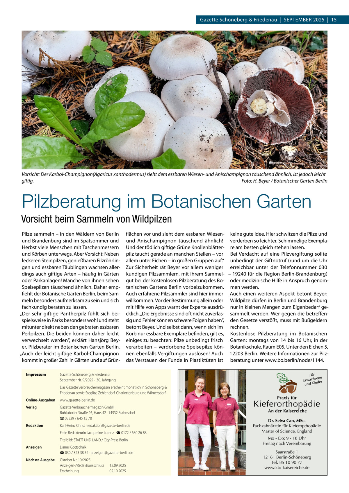 Gazette Schöneberg & Friedenau  |  September 2025  |  15  Vorsicht: Der Karbol-Champignon(Agaricus xanthodermus) sieht dem essbaren Wiesen- und Anischampignon täuschend ähnlich, ist jedoch leicht giftig. � Foto: H. Beyer / Botanischer Garten Berlin  Pilzberatung im Botanischen Garten Vorsicht beim Sammeln von Wildpilzen Pilze sammeln – in den Wäldern von Berlin und Brandenburg sind im Spätsommer und Herbst viele Menschen mit Taschenmessern und Körben unterwegs. Aber Vorsicht: Neben leckeren Steinpilzen, genießbaren Filzröhrlingen und essbaren Täublingen wachsen allerdings auch giftige Arten – häufig in Gärten oder Parkanlagen! Manche von ihnen sehen Speisepilzen täuschend ähnlich. Daher empfiehlt der Botanische Garten Berlin, beim Sammeln besonders aufmerksam zu sein und sich fachkundig beraten zu lassen. „Der sehr giftige Pantherpilz fühlt sich beispielsweise in Parks besonders wohl und steht mitunter direkt neben den gebraten essbaren Perlpilzen. Die beiden können daher leicht verwechselt werden“, erklärt Hansjörg Beyer, Pilzberater im Botanischen Garten Berlin. „Auch der leicht giftige Karbol-Champignon kommt in großer Zahl in Gärten und auf GrünImpressum	  flächen vor und sieht dem essbaren Wiesen- keine gute Idee. Hier schwitzen die Pilze und und Anischampignon täuschend ähnlich! verderben so leichter. Schimmelige ExemplaUnd der tödlich giftige Grüne Knollenblätter- re am besten gleich stehen lassen. pilz taucht gerade an manchen Stellen – vor Bei Verdacht auf eine Pilzvergiftung sollte allem unter Eichen – in großen Gruppen auf.“ unbedingt der Giftnotruf (rund um die Uhr Zur Sicherheit rät Beyer vor allem weniger erreichbar unter der Telefonnummer 030 kundigen Pilzsammlern, mit ihrem Sammel- – 19240 für die Region Berlin-Brandenburg) gut bei der kostenlosen Pilzberatung des Bo- oder medizinische Hilfe in Anspruch genomtanischen Gartens Berlin vorbeizukommen. men werden. Auch erfahrene Pilzsammler sind hier immer Auch einen weiteren Aspekt betont Beyer: willkommen. Vor der Bestimmung allein oder Wildpilze dürfen in Berlin und Brandenburg mit Hilfe von Apps warnt der Experte ausdrü- nur in kleinen Mengen zum Eigenbedarf gecklich. „Die Ergebnisse sind oft nicht zuverläs- sammelt werden. Wer gegen die betreffensig und Fehler können schwere Folgen haben“, den Gesetze verstößt, muss mit Bußgeldern betont Beyer. Und selbst dann, wenn sich im rechnen. Korb nur essbare Exemplare befinden, gilt es, Kostenlose Pilzberatung im Botanischen einiges zu beachten: Pilze unbedingt frisch Garten: montags von 14 bis 16  Uhr, in der verarbeiten – verdorbene Speisepilze kön- Botanikschule, Raum E05, Unter den Eichen 5, nen ebenfalls Vergiftungen auslösen! Auch 12203 Berlin. Weitere Informationen zur Pilzdas Verstauen der Funde in Plastiktüten ist beratung unter www.bo.berlin/node/1144.  Gazette Schöneberg & Friedenau September Nr. 9/2025 ·  30. Jahrgang  Für sene Erwach der und Kin  Das Gazette Verbrauchermagazin erscheint monatlich in Schöneberg & Friedenau sowie Steglitz, Zehlendorf, Charlottenburg und Wilmersdorf. Online-Ausgaben	www.gazette-berlin.de Verlag	  Gazette Verbrauchermagazin GmbH Ruhlsdorfer Straße 95, Haus 42 · 14532 Stahnsdorf ☎ 03329 / 645 15 70  Redaktion	  Karl-Heinz Christ · redaktion@gazette-berlin.de  	  Freie Redakteurin Jacqueline Lorenz · ☎ 0172 / 630 26 88  	  Titelbild: STADT UND LAND / City-Press Berlin  Anzeigen	  Daniel Gottschalk ☎ 030 / 323 38 54 · anzeigen@gazette-berlin.de  Nächste Ausgabe	  Oktober Nr. 10/2025 Anzeigen-/Redaktionsschluss	12.09.2025 Erscheinung	02.10.2025  Praxis für  Kieferorthopädie An der Kaisereiche  Dr. Selva Can, MSc. Fachzahnärztin für Kieferopthopädie Master of Science, England Mo - Do: 9 - 18 Uhr Freitag nach Vereinbarung Saarstraße 1 12161 Berlin-Schöneberg Tel. 85 10 90 77 www.kfo-kaisereiche.de