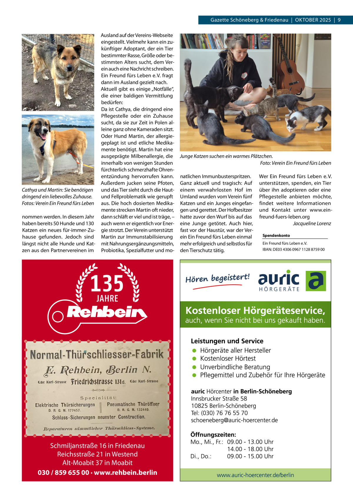 Gazette Schöneberg & Friedenau  |  OKTOBER 2025  |  9  Cathya und Martin: Sie benötigen dringend ein liebevolles Zuhause. Fotos: Verein Ein Freund fürs Leben nommen werden. In diesem Jahr haben bereits 50 Hunde und 130 Katzen ein neues für-immer-Zuhause gefunden. Jedoch sind längst nicht alle Hunde und Katzen aus den Partnervereinen im  Ausland auf der Vereins-Webseite eingestellt. Vielmehr kann ein zukünftiger Adoptant, der ein Tier bestimmter Rasse, Größe oder bestimmten Alters sucht, dem Verein auch eine Nachricht schreiben. Ein Freund fürs Leben e. V. fragt dann im Ausland gezielt nach. Aktuell gibt es einige „Notfälle“, die einer baldigen Vermittlung bedürfen: Da ist Cathya, die dringend eine Pflegestelle oder ein Zuhause sucht, da sie zur Zeit in Polen alleine ganz ohne Kameraden sitzt. Oder Hund Martin, der allergiegeplagt ist und etliche Medikamente benötigt. Martin hat eine ausgeprägte Milbenallergie, die innerhalb von wenigen Stunden fürchterlich schmerzhafte Ohrenentzündung hervorrufen kann. Außerdem jucken seine Pfoten, und das Tier sieht durch die Hautund Fellproblematik wie gerupft aus. Die hoch dosierten Medikamente strecken Martin oft nieder, dann schläft er viel und ist träge, – auch wenn er eigentlich vor Energie strotzt. Der Verein unterstützt Martin zur Immunstabilisierung mit Nahrungsergänzungsmitteln, Probiotika, Spezialfutter und mo Schmiljanstraße 16 in Friedenau Reichsstraße 21 in Westend Alt-Moabit 37 in Moabit 030 / 859 655 00 · www.rehbein.berlin  Junge Katzen suchen ein warmes Plätzchen. Foto: Verein Ein Freund fürs Leben natlichen Immunbusterspritzen. Ganz aktuell und tragisch: Auf einem verwahrlosten Hof im Umland wurden vom Verein fünf Katzen und ein Junges eingefangen und gerettet. Der Hofbesitzer hatte zuvor den Wurf bis auf das eine Junge getötet. Auch hier, fast vor der Haustür, war der Verein Ein Freund fürs Leben einmal mehr erfolgreich und selbstlos für den Tierschutz tätig.  Wer Ein Freund fürs Leben e. V. unterstützen, spenden, ein Tier über ihn adoptieren oder eine Pflegestelle anbieten möchte, findet weitere Informationen und Kontakt unter www.einfreund-fuers-leben.org Jacqueline Lorenz Spendenkonto Ein Freund fürs Leben e. V. IBAN: DE03 4306 0967 1128 8759 00