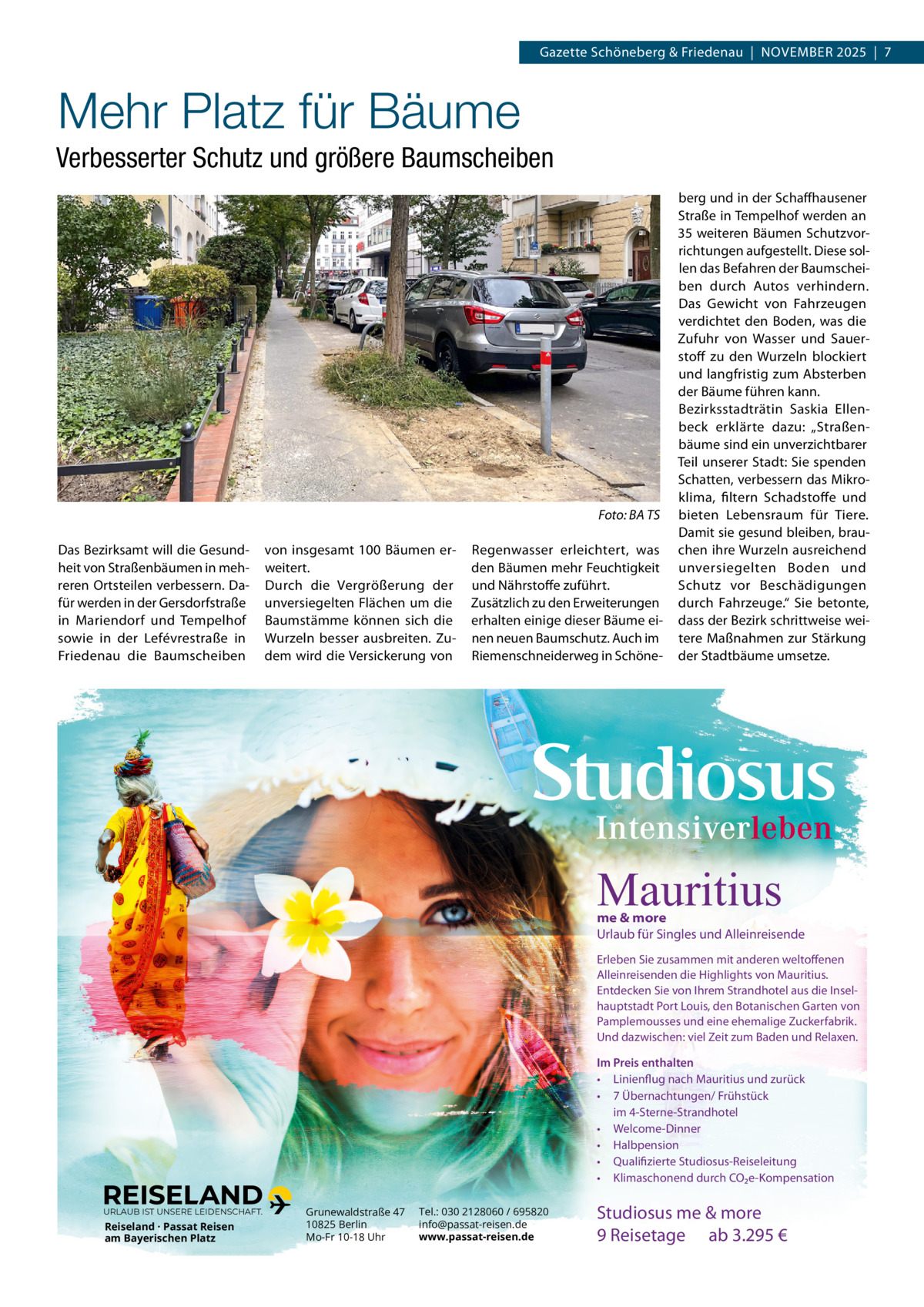 Gazette Schöneberg & Friedenau  |  NOVEMBER 2025  |  7  Mehr Platz für Bäume Verbesserter Schutz und größere Baumscheiben  Foto: BA TS Das Bezirksamt will die Gesundheit von Straßenbäumen in mehreren Ortsteilen verbessern. Dafür werden in der Gersdorfstraße in Mariendorf und Tempelhof sowie in der Lefévrestraße in Friedenau die Baumscheiben  von insgesamt 100 Bäumen erweitert. Durch die Vergrößerung der unversiegelten Flächen um die Baumstämme können sich die Wurzeln besser ausbreiten. Zudem wird die Versickerung von  Regenwasser erleichtert, was den Bäumen mehr Feuchtigkeit und Nährstoffe zuführt. Zusätzlich zu den Erweiterungen erhalten einige dieser Bäume einen neuen Baumschutz. Auch im Riemenschneiderweg in Schöne berg und in der Schaffhausener Straße in Tempelhof werden an 35 weiteren Bäumen Schutzvorrichtungen aufgestellt. Diese sollen das Befahren der Baumscheiben durch Autos verhindern. Das Gewicht von Fahrzeugen verdichtet den Boden, was die Zufuhr von Wasser und Sauerstoff zu den Wurzeln blockiert und langfristig zum Absterben der Bäume führen kann. Bezirksstadträtin Saskia Ellenbeck erklärte dazu: „Straßenbäume sind ein unverzichtbarer Teil unserer Stadt: Sie spenden Schatten, verbessern das Mikroklima, filtern Schadstoffe und bieten Lebensraum für Tiere. Damit sie gesund bleiben, brauchen ihre Wurzeln ausreichend unversiegelten Boden und Schutz vor Beschädigungen durch Fahrzeuge.“ Sie betonte, dass der Bezirk schrittweise weitere Maßnahmen zur Stärkung der Stadtbäume umsetze.  Mauritius  me & more Urlaub für Singles und Alleinreisende Erleben Sie zusammen mit anderen weltoffenen Alleinreisenden die Highlights von Mauritius. Entdecken Sie von Ihrem Strandhotel aus die Inselhauptstadt Port Louis, den Botanischen Garten von Pamplemousses und eine ehemalige Zuckerfabrik. Und dazwischen: viel Zeit zum Baden und Relaxen. Im Preis enthalten • Linienflug nach Mauritius und zurück • 7 Übernachtungen/ Frühstück im 4-Sterne-Strandhotel • Welcome-Dinner • Halbpension • Qualifizierte Studiosus-Reiseleitung • Klimaschonend durch CO2e-Kompensation URLAUB IST UNSERE LEIDENSCHAFT.  Reiseland · Passat Reisen am Bayerischen Platz  Grunewaldstraße 47 10825 Berlin Mo-Fr 10-18 Uhr  Tel.: 030 2128060 / 695820 info@passat-reisen.de www.passat-reisen.de  Studiosus me & more 9 Reisetage ab 3.295 €