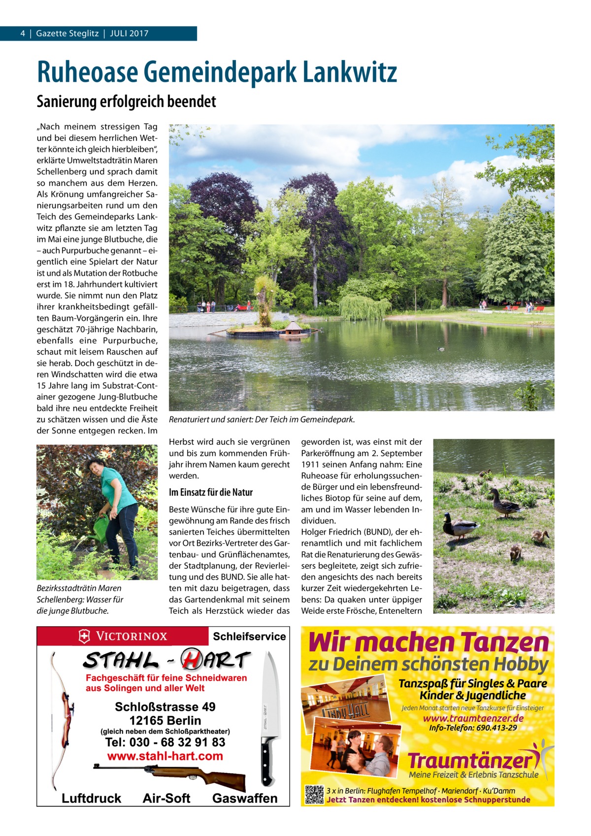 4  |  Gazette Steglitz  |  Juli 2017  Ruheoase Gemeindepark Lankwitz Sanierung erfolgreich beendet „Nach meinem stressigen Tag und bei diesem herrlichen Wetter könnte ich gleich hierbleiben“, erklärte Umweltstadträtin Maren Schellenberg und sprach damit so manchem aus dem Herzen. Als Krönung umfangreicher Sanierungsarbeiten rund um den Teich des Gemeindeparks Lankwitz pflanzte sie am letzten Tag im Mai eine junge Blutbuche, die – auch Purpurbuche genannt – eigentlich eine Spielart der Natur ist und als Mutation der Rotbuche erst im 18. Jahrhundert kultiviert wurde. Sie nimmt nun den Platz ihrer krankheitsbedingt gefällten Baum-Vorgängerin ein. Ihre geschätzt 70-jährige Nachbarin, ebenfalls eine Purpurbuche, schaut mit leisem Rauschen auf sie herab. Doch geschützt in deren Windschatten wird die etwa 15 Jahre lang im Substrat-Container gezogene Jung-Blutbuche bald ihre neu entdeckte Freiheit zu schätzen wissen und die Äste der Sonne entgegen recken. Im  Renaturiert und saniert: Der Teich im Gemeindepark. Herbst wird auch sie vergrünen und bis zum kommenden Frühjahr ihrem Namen kaum gerecht werden.  Im Einsatz für die Natur  Bezirksstadträtin Maren Schellenberg: Wasser für die junge Blutbuche.  Beste Wünsche für ihre gute Eingewöhnung am Rande des frisch sanierten Teiches übermittelten vor Ort Bezirks-Vertreter des Gartenbau- und Grünflächenamtes, der Stadtplanung, der Revierleitung und des BUND. Sie alle hatten mit dazu beigetragen, dass das Gartendenkmal mit seinem Teich als Herzstück wieder das  geworden ist, was einst mit der Parkeröffnung am 2. September 1911 seinen Anfang nahm: Eine Ruheoase für erholungssuchende Bürger und ein lebensfreundliches Biotop für seine auf dem, am und im Wasser lebenden Individuen. Holger Friedrich (BUND), der ehrenamtlich und mit fachlichem Rat die Renaturierung des Gewässers begleitete, zeigt sich zufrieden angesichts des nach bereits kurzer Zeit wiedergekehrten Lebens: Da quaken unter üppiger Weide erste Frösche, Enteneltern